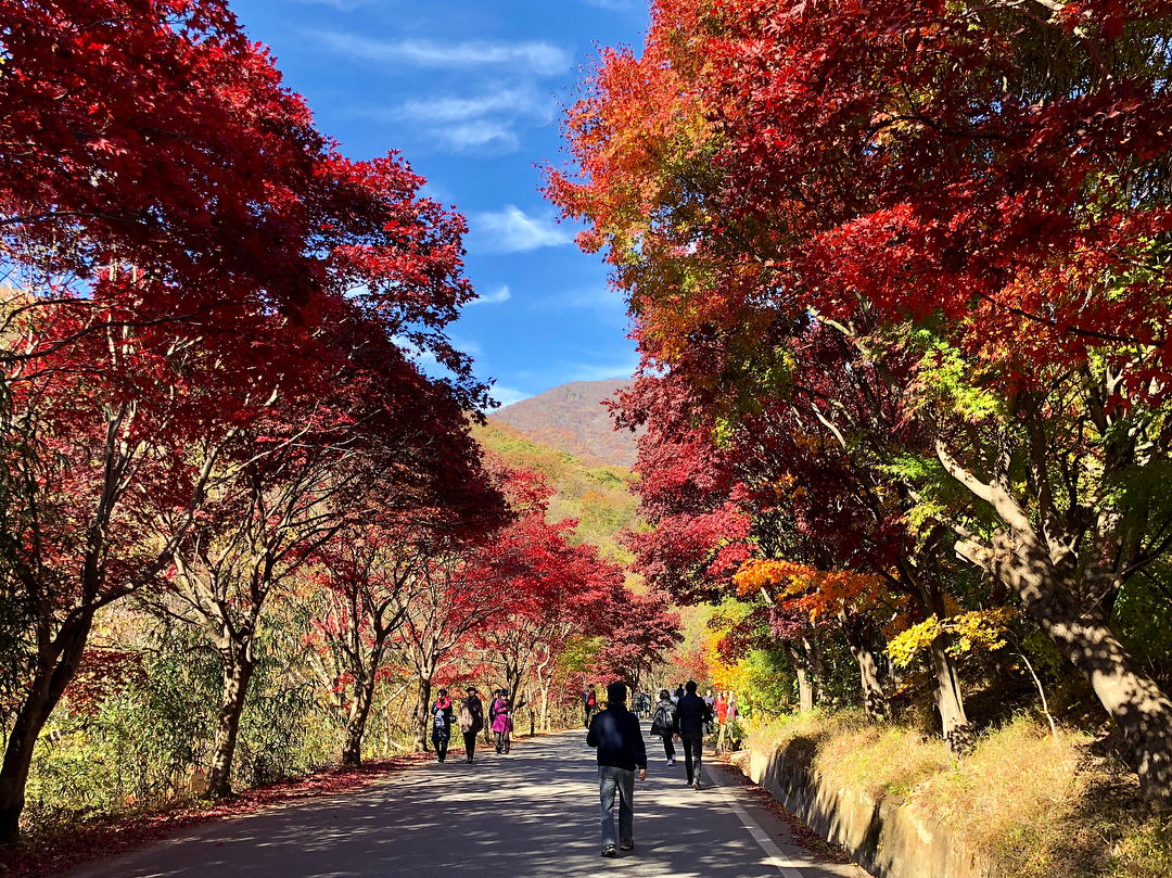稷田谷楓葉節 稷田谷楓葉祭典 智異山賞楓一日遊 智異山稷田谷楓葉慶典 지리산 피아골 단풍축제 稷田谷楓葉慶典 피아골 단풍축제 智異山 지리산 智異山國立公園 지리산국립공원 全羅道紅葉 全羅道紅葉景點 全羅道景點 全羅道賞楓 全羅道賞楓景點 全羅道紅葉楓葉 濟州島自由行 濟州島景點 濟州島好去處 濟州島行程 濟州島自由行行程推介 濟州島自由行行程握薦 濟州島行程推介 濟州島行程握薦 濟州自由行 濟州景點 濟州好去處 濟州行程 濟州自由行行程推介 濟州自由行行程握薦 濟州行程推介 濟州行程握薦 釜山自由行 釜山景點 釜山好去處 釜山行程 釜山自由行行程推介 釜山自由行行程握薦 釜山行程推介 釜山行程握薦 首爾自由行 首爾景點 首爾好去處 首爾行程 首爾自由行行程推介 首爾自由行行程握薦 首爾行程推介 首爾行程握薦 2019 濟州島紅葉 2019 濟州島紅葉景點 2019 濟州島楓葉 2019 濟州島賞楓 濟州島賞楓景點 2019 濟州紅葉 2019 濟州紅葉景點 2019 濟州楓葉 2019 濟州賞楓 濟州賞楓景點 2019 釜山紅葉 2019 釜山紅葉景點 2019 釜山楓葉 2019 釜山賞楓 釜山賞楓景點 2019 首爾紅葉 2019 首爾紅葉景點 2019 首爾楓葉 2019 首爾賞楓 首爾賞楓景點 韓國紅葉 2019 韓國紅葉景點 韓國賞楓 韓國賞楓景點 韓國楓葉 2019韓國紅葉預測 韓國紅葉預測2019