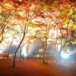 曽木の滝公園 曾木瀑布公園紅葉 曾木瀑布公園 紅葉 曾木瀑布公園紅葉祭 曽木の滝公園もみじ祭り 鹿兒島 紅葉 景點 2019 鹿兒島紅葉景點 2019 鹿兒島 紅葉景點 2019 鹿兒島紅葉 2019 鹿兒島紅葉2019 鹿兒島 紅葉 鹿兒島紅葉 2019 鹿兒島紅葉2019 鹿兒島賞楓 2019 鹿兒島賞楓2019 鹿兒島賞楓景點 2019 鹿兒島賞楓景點2019 鹿兒島夜楓 2019 鹿兒島夜楓2019 鹿兒島夜楓景點2019 鹿兒島夜楓景點 2019 九州紅葉 2019 九州紅葉2019 九州紅葉 景點 2019 九州紅葉景點 2019 九州紅葉景點2019 九州賞楓 2019 九州賞楓2019 九州賞楓景點 2019 九州賞楓景點2019 九州賞楓 景點 2019 九州夜楓2019 九州夜楓 2019 九州夜楓景點2019 九州夜楓景點 2019 九州夜楓 景點 2019 九州楓葉2019 九州楓葉 2019 九州楓葉景點2019 九州楓葉景點 2019 九州 紅葉祭 2019 九州景點 九州必去 九州必看 九州自由行 九州行程 九州自由行行程推薦 九州自由行行程推介 九州自由行行程