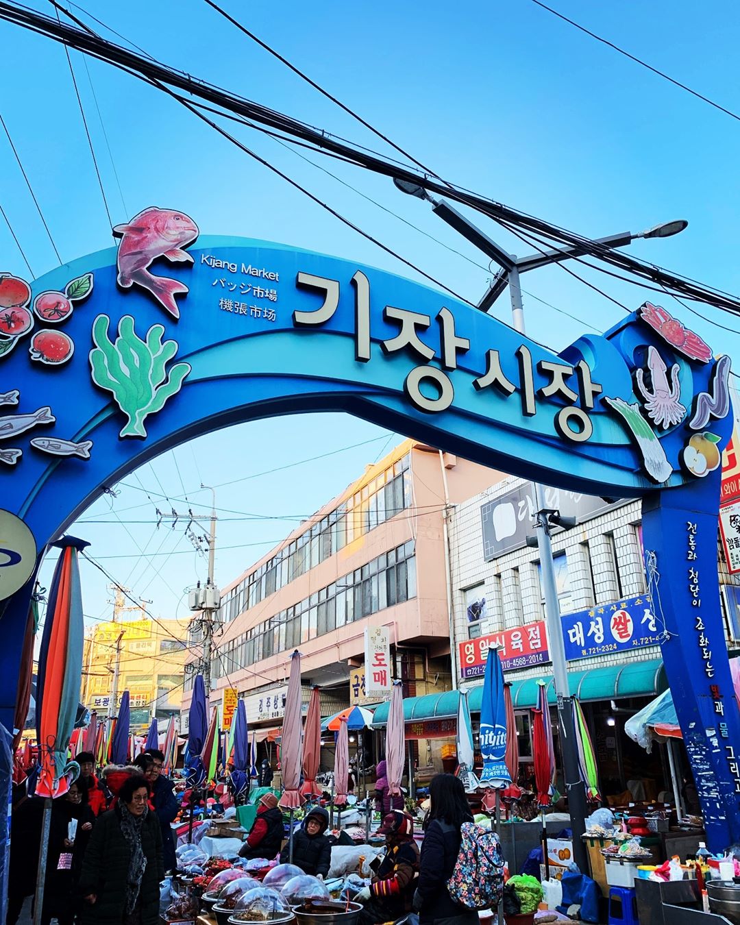 機張市場｜釜山好去處 韓國好去處 韓國釜山 韓國 Korea한국 韓國必到 韓國必去 韓國必吃 韓國必食 韓國傳統市場 韓國特色市場 韓國自由行 韓國行程 釜山 Busan부산 釜山必到 釜山必去 釜山必吃 釜山必食 釜山傳統市場 釜山特色市場 釜山自由行 釜山行程 富平市場 부평시장 罐頭市場 깡통시장 釜山札嘎其市場 부산자갈치시장 札嘎其市場 札嘎其 民樂生魚片中心 민락회타운 國際市場 국제시장 機張市場 기장시장 釜山海鮮 釜山蟹 釜山螃蟹 釜山比目魚 釜山刺身 機張市場2019 機張市場交通2018 機張市場2018 機張市場螃蟹2018 機張市場東海線 機張市場交通2019 釜山機張市場2019 機張市場刀削麵 機張市場晚上 機張螃蟹價格2018
