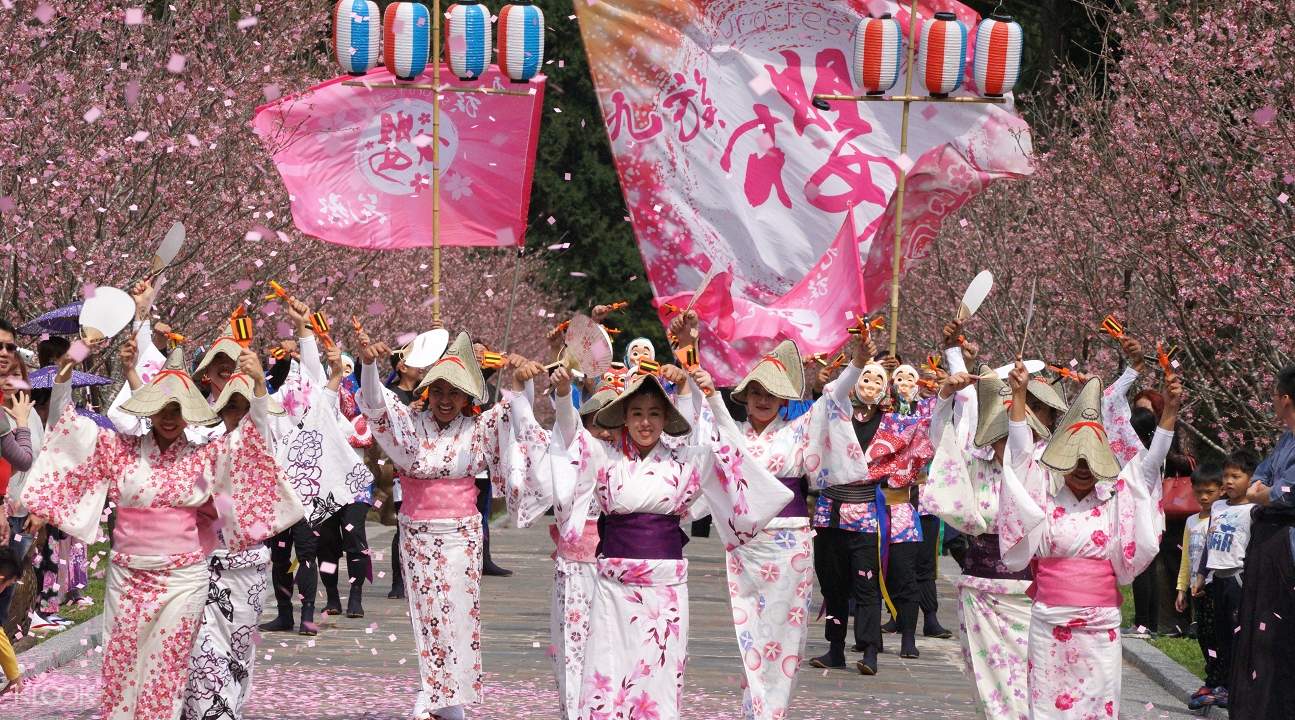 九族文化村 九族櫻花祭 台灣櫻花 台灣賞櫻 櫻花 台灣賞櫻秘境 台灣賞花 台灣賞櫻景點 台灣花季 台灣好去處 台灣必去 踏青好去處 台灣踏青好去處 台灣踏青 南部賞櫻景點 北部賞櫻景點 中部賞櫻景點