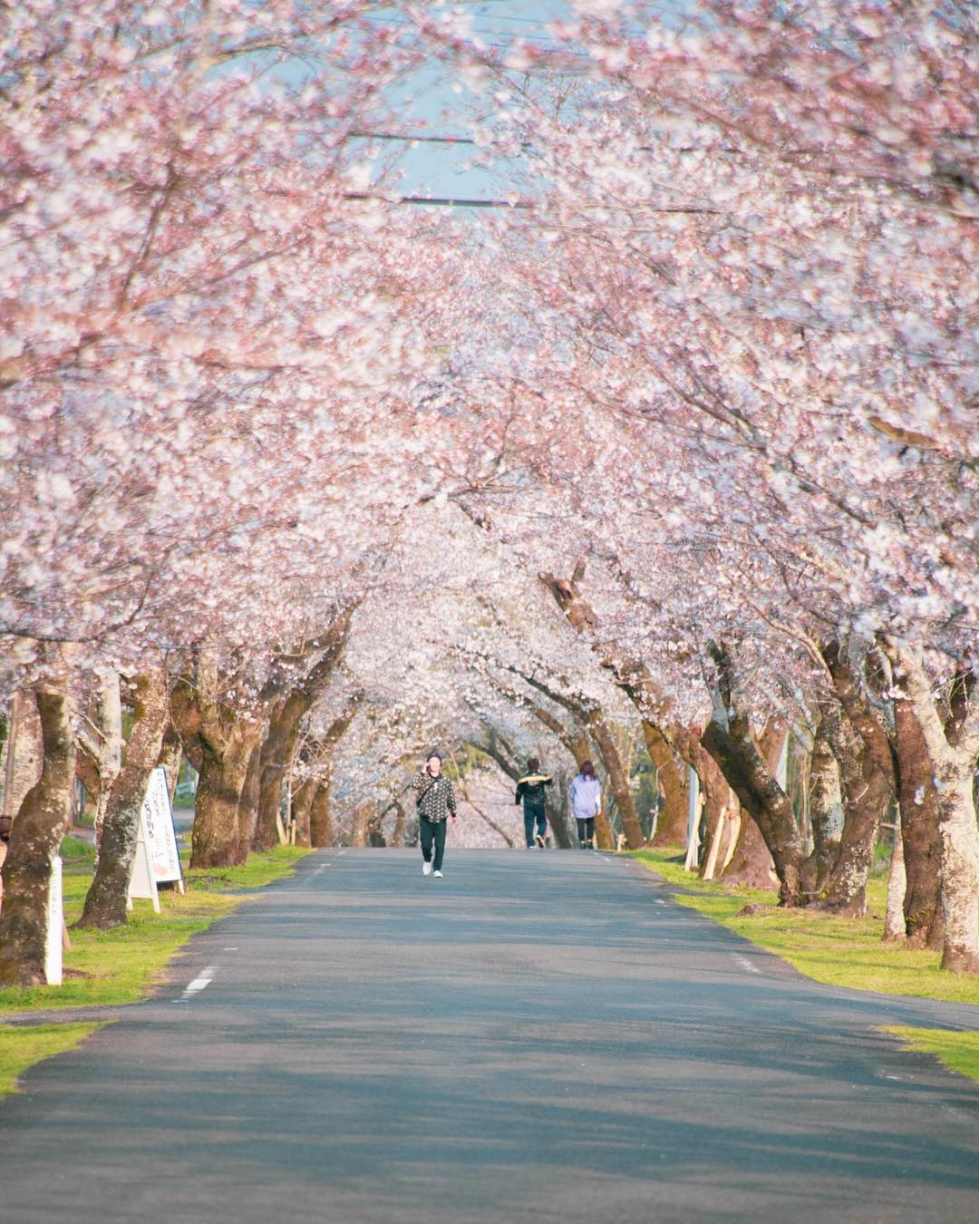 日本 Japan 日本必食 日本必吃 日本必到 日本必去 日本必買 日本必掃 日本自由行 日本行程 日本行程包 日本懶人包 日本好去處 日本景點 日本必到景點 日本美食 日本交通 日本攻略 日本自由行行程 日本自由行行程推薦 日本酒店 日本飯店 日本住宿 日本酒店推薦 日本飯店推薦 日本必住酒店 日本必住飯店 日本必食2019 日本必吃2019 日本必到2019 日本必去2019 日本必買2019 日本必掃2019 日本自由行2019 日本行程2019 日本行程包2019 日本懶人包2019 日本好去處2019 日本景點2019 日本必到景點2019 日本必去景點2019 日本美食2019 日本交通2019 日本攻略2019 日本自由行行程2019 日本自由行行程推薦2019 日本酒店2019 日本飯店2019 日本酒店推薦2019 日本飯店推薦2019 日本必住酒店2019 日本必住飯店2019 日本住宿2019 日本必食2020 日本必吃2020 日本必到2020 日本必去2020 日本必買2020 日本必掃2020 日本自由行2020 日本行程2020 日本行程包2020 日本懶人包2020 日本好去處2020 日本景點2020 日本必到景點2020 日本美食2020 日本交通2020 日本攻略2020 日本自由行行程2020 日本自由行行程推薦2020 日本酒店2020 日本飯店2020 日本住宿2020 日本酒店推薦2020 女飯店推薦2020 日本必住酒店2020 日本必住飯店2020 九州 Kyushu 九州必食 九州必吃 九州必到 九州必去 九州必買 九州必掃 九州自由行 行程 九州行程包 九州懶人包 九州好去處 九州景點 九州必到景點 九州美食 九州交通 九州攻略 九州自由行行程 九州自由行行程推薦 九州酒店 九州飯店 九州住宿 九州酒店推薦 九州飯店推薦 九州必住酒店 九州必住飯店 九州必食2019 九州必吃2019 九州必到2019 九州必去2019 九州必買2019 九州必掃2019 九州自由行2019 九州行程2019 九州行程包2019 九州懶人包2019 九州好去處2019 九州景點2019 九州必到景點2019 九州必去景點2019 九州美食2019 九州交通2019 九州攻略2019 九州自由行行程2019 九州自由行行程推薦2019 九州酒店2019 九州飯店2019 九州酒店推薦2019 九州飯店推薦2019 九州必住酒店2019 九州必住飯店2019 九州住宿2019 九州必食2020 九州必吃2020 九州必到2020 九州必去2020 九州必買2020 九州必掃2020 九州自由行2020 九州行程2020 九州行程包2020 九州懶人包2020 九州好去處2020 九州景點2020 九州必到景點2020 九州美食2020 九州交通2020 九州攻略2020 九州自由行行程2020 九州自由行行程推薦2020 九州酒店2020 九州飯店2020 九州住宿2020 九州酒店推薦2020 九州飯店推薦2020 九州必住酒店2020 九州必住飯店2020 大分 Oita 大分必食 大分必吃 大分必到 大分必去 大分必買 大分必掃 大分自由行 大分行程 大分行程包 大分懶人包 大分好去處 大分景點 大分必到景點 大分美食 大分交通 大分攻略 大分自由行行程 大分自由行行程推薦 大分酒店 大分飯店 大分住宿 大分酒店推薦 大分飯店推薦 大分必住酒店 大分必住飯店 大分必食2019 大分必吃2019 大分必到2019 大分必去2019 大分必買2019 大分必掃2019 大分自由行2019 大分行程2019 大分行程包2019 大分懶人包2019 大分好去處2019 大分景點2019 大分必到景點2019 大分必去景點2019大分 美食2019 大分交通2019 大分攻略2019 大分自由行行程2019 大分自由行行程推薦2019 大分酒店2019大分 飯店2019 大分酒店推薦2019 大分飯店推薦2019 大分必住酒店2019 大分必住飯店2019 大分住宿2019 大分必食2020 大分必吃2020 大分必到2020 大分必去2020 大分必買2020 大分必掃2020 大分自由行2020 大分行程2020 大分行程包2020 大分懶人包2020 大分好去處2020 大分景點2020 大分必到景點2020 大分美食2020 大分交通2020 大分攻略2020 大分自由行行程2020 大分自由行行程推薦2020 大分酒店2020 大分飯店2020 大分住宿2020 大分酒店推薦2020 大分飯店推薦2020 大分必住酒店2020 大分必住飯店2020 鹿兒島 Kagoshima 鹿兒島必食 鹿兒島必吃 鹿兒島必到 鹿兒島必去 鹿兒島必買 鹿兒島必掃 鹿兒島自由行 鹿兒島行程 鹿兒島行程包 鹿兒島懶人包 鹿兒島好去處 鹿兒島景點 鹿兒島必到景點 鹿兒島美食 鹿兒島交通 鹿兒島攻略 鹿兒島自由行行程鹿兒島 自由行行程推薦 鹿兒島酒店 鹿兒島飯店 鹿兒島住宿 鹿兒島酒店推薦 鹿兒島飯店推薦 鹿兒島必住酒店 鹿兒島必住飯店 鹿兒島必食2019 鹿兒島必吃2019 鹿兒島必到2019 鹿兒島必去2019 鹿兒島必買2019 鹿兒島必掃2019 鹿兒島自由行2019 鹿兒島行程2019 鹿兒島行程包2019 鹿兒島懶人包2019 鹿兒島好去處2019 鹿兒島景點2019 鹿兒島必到景點2019 鹿兒島必去景點2019 鹿兒島美食2019 鹿兒島交通2019 鹿兒島攻略2019 鹿兒島自由行行程2019 鹿兒島自由行行程推薦2019 鹿兒島酒店2019 鹿兒島飯店2019 鹿兒島酒店推薦2019 鹿兒島飯店推薦2019 鹿兒島必住酒店2019 鹿兒島必住飯店2019 鹿兒島住宿2019 鹿兒島必食2020 鹿兒島必吃2020 鹿兒島必到2020 鹿兒島必去2020 鹿兒島必買2020 鹿兒島必掃2020 鹿兒島自由行2020 鹿兒島行程2020 鹿兒島行程包2020 鹿兒島懶人包2020 鹿兒島好去處2020 鹿兒島景點2020 鹿兒島必到景點2020 鹿兒島美食2020 鹿兒島交通2020 鹿兒島攻略2020 鹿兒島自由行行程2020 鹿兒島自由行行程推薦2020 鹿兒島酒店2020鹿兒島飯店2020 鹿兒島住宿2020 鹿兒島酒店推薦2020 鹿兒島飯店推薦2020 鹿兒島必住酒店2020 鹿兒島必住飯店2020 長崎 Nagasaki 長崎必食長崎 必吃 長崎必到 長崎必去 長崎必買 長崎必掃 長崎自由行 長崎行程 長崎行程包 長崎懶人包 長崎好去處 長崎景點 長崎必到景點 長崎美食 長崎交通 長崎攻略 長崎自由行行程 長崎自由行行程推薦 長崎酒店 長崎飯店 長崎住宿 長崎酒店推薦 長崎飯店推薦 長崎必住酒店 長崎必住飯店 長崎必食2019 長崎必吃2019 長崎必到2019 長崎必去2019 長崎必買2019 長崎必掃2019 長崎自由行2019 長崎行程2019 長崎行程包2019 長崎懶人包2019 長崎好去處2019 長崎景點2019 長崎必到景點2019 長崎必去景點2019 長崎美食2019 長崎交通2019 長崎攻略2019 長崎自由行行程2019 長崎自由行行程推薦2019 長崎酒店2019 長崎飯店2019 長崎酒店推薦2019 長崎飯店推薦2019 長崎必住酒店2019 長崎必住飯店2019 長崎住宿2019 長崎必食2020 長崎必吃2020 長崎必到2020 長崎必去2020 長崎必買2020 長崎必掃2020 長崎自由行2020 長崎行程2020 長崎行程包2020 長崎懶人包2020 長崎好去處2020 長崎景點2020 長崎必到景點2020 長崎美食2020 長崎交通2020 長崎攻略2020 長崎自由行行程2020 長崎自由行行程推薦2020 長崎酒店2020 長崎飯店2020 長崎住宿2020 長崎酒店推薦2020 長崎飯店推薦2020 長崎必住酒店2020 長崎必住飯店2020 福岡 Hakata 福岡必食 福岡必吃 福岡必到 福岡必去 福岡必買 福岡必掃 福岡自由行 福岡行程 福岡行程包 福岡懶人包 福岡好去處 福岡景點 福岡必到景點 福岡美食 福岡交通 福岡攻略 福岡自由行行程 福岡自由行行程推薦 福岡酒店 福岡飯店 福岡住宿 福岡酒店推薦 福岡飯店推薦 福岡必住酒店 福岡必住飯店 福岡必食2019 福岡必吃2019 福岡必到2019 福岡必去2019 福岡必買2019 福岡必掃2019 福岡自由行2019 福岡行程2019 福岡行程包2019 福岡懶人包2019 福岡好去處2019 福岡景點2019 福岡必到景點2019 福岡必去景點2019 福岡美食2019 福岡交通2019 福岡攻略2019 福岡自由行行程2019 福岡自由行行程推薦2019 福岡酒店2019 福岡飯店2019 福岡酒店推薦2019 福岡飯店推薦2019 福岡必住酒店2019 福岡必住飯店2019 福岡住宿2019 福岡必食2020 福岡必吃2020 福岡必到2020 福岡必去2020 福岡必買2020 福岡必掃2020 福岡自由行2020 福岡行程2020 福岡行程包2020 福岡懶人包2020 福岡好去處2020 福岡景點2020 福岡必到景點2020 福岡美食2020 福岡交通2020 福岡攻略2020 福岡自由行行程2020 福岡自由行行程推薦2020 福岡酒店2020 福岡飯店2020 福岡住宿2020 福岡酒店推薦2020 福岡飯店推薦2020 福岡必住酒店2020 福岡必住飯店2020 熊本 Kumamoto 熊本必食 熊本必吃 熊本必到 熊本必去 熊本必買 熊本必掃 熊本自由行 熊本行程 熊本行程包 熊本懶人包 熊本好去處 熊本景點 熊本必到景點 熊本美食 熊本交通 熊本攻略 熊本自由行行程 熊本自由行行程推薦 熊本酒店 熊本飯店 熊本住宿 熊本酒店推薦 熊本飯店推薦 熊本必住酒店 熊本必住飯店 熊本必食2019 熊本必吃2019 熊本必到2019 熊本必去2019 熊本必買2019 熊本必掃2019 熊本自由行2019 熊本行程2019 熊本行程包2019 熊本懶人包2019 熊本好去處2019 熊本景點2019 熊本必到景點2019 熊本必去景點2019 熊本美食2019 熊本交通2019 熊本攻略2019 熊本自由行行程2019 熊本自由行行程推薦2019 熊本酒店2019 熊本飯店2019 熊本酒店推薦2019 熊本飯店推薦2019 熊本必住酒店2019 熊本必住飯店2019 住宿2019 熊本必食2020 熊本必吃2020 熊本必到2020 熊本必去2020 熊本必買2020 熊本必掃2020 熊本自由行2020 熊本行程2020 熊本行程包2020 熊本懶人包2020 熊本好去處2020 熊本景點2020 熊本必到景點2020 熊本美食2020 熊本交通2020 熊本攻略2020 熊本自由行行程2020 熊本自由行行程推薦2020 熊本酒店2020 熊本飯店2020 熊本住宿2020 熊本酒店推薦2020 熊本飯店推薦2020 熊本必住酒店2020 熊本必住飯店2020 佐賀 Saga 佐賀必食 佐賀必吃 佐賀必到 佐賀必去 佐賀必買 佐賀必掃 佐賀自由行 佐賀行程 佐賀行程包 佐賀懶人包 佐賀好去處 佐賀景點 佐賀必到景點 佐賀美食 佐賀交通 佐賀攻略 佐賀自由行行程 佐賀自由行行程推薦 佐賀酒店 佐賀飯店 佐賀住宿 佐賀酒店推薦 佐賀飯店推薦 佐賀必住酒店 佐賀必住飯店 佐賀必食2019 佐賀必吃2019 佐賀必到2019 佐賀必去2019 佐賀必買2019 佐賀必掃2019 佐賀自由行2019 佐賀行程2019 佐賀行程包2019 佐賀懶人包2019 佐賀好去處2019 佐賀景點2019 佐賀必到景點2019 佐賀必去景點2019 佐賀美食2019 佐賀交通2019 佐賀攻略2019 佐賀自由行行程2019 佐賀自由行行程推薦2019 佐賀酒店2019 佐賀飯店2019 佐賀酒店推薦2019 佐賀飯店推薦2019 佐賀必住酒店2019 佐賀必住飯店2019 佐賀住宿2019 佐賀必食2020 佐賀必吃2020 佐賀必到2020 佐賀必去2020 佐賀必買2020 佐賀必掃2020 佐賀自由行2020 佐賀行程2020 佐賀行程包2020 佐賀懶人包2020 佐賀好去處2020 佐賀景點2020 佐賀必到景點2020 佐賀美食2020 佐賀交通2020 佐賀攻略2020 佐賀自由行行程2020 佐賀自由行行程推薦2020 佐賀酒店2020 佐賀飯店2020 佐賀住宿2020 佐賀酒店推薦2020 佐賀飯店推薦2020 佐賀必住酒店2020 佐賀必住飯店2020 宮崎 Miyazaki 宮崎必食 宮崎必吃 宮崎必到 宮崎必去 宮崎必買 宮崎必掃 宮崎自由行 宮崎行程 宮崎行程包 宮崎懶人包 宮崎好去處 宮崎景點 宮崎必到景點 宮崎美食 宮崎交通 宮崎攻略 宮崎自由行行程 宮崎自由行行程推薦 宮崎酒店 宮崎飯店 宮崎住宿 宮崎酒店推薦 宮崎飯店推薦 宮崎必住酒店 宮崎必住飯店 宮崎必食2019 宮崎必吃2019 宮崎必到2019 宮崎必去2019 宮崎必買2019 宮崎必掃2019 宮崎自由行2019 宮崎行程2019 宮崎行程包2019 宮崎懶人包2019 宮崎好去處2019 宮崎景點2019 宮崎必到景點2019 宮崎必去景點2019 宮崎美食2019 宮崎交通2019 宮崎攻略2019 宮崎自由行行程2019 宮崎自由行行程推薦2019 宮崎酒店2019 宮崎飯店2019 宮崎酒店推薦2019 宮崎飯店推薦2019 宮崎必住酒店2019 宮崎必住飯店2019 宮崎住宿2019 宮崎必食2020 宮崎必吃2020 宮崎必到2020 宮崎必去2020 宮崎必買2020 宮崎必掃2020 宮崎自由行2020 宮崎行程2020 宮崎行程包2020 宮崎懶人包2020 宮崎好去處2020 宮崎景點2020 宮崎必到景點2020 宮崎美食2020 宮崎交通2020 宮崎攻略2020 宮崎自由行行程2020 宮崎自由行行程推薦2020 宮崎酒店2020 宮崎飯店2020 宮崎住宿2020 宮崎酒店推薦2020 宮崎飯店推薦2020 宮崎必住酒店2020 宮崎必住飯店2020 舞鶴公園 西公園 甘木公園 丸山公園 淺井的一本櫻 浅井の一本桜 秋月杉之馬場 秋月杉の馬場 小倉城勝山公園 勝山公園 一心行大櫻 一心行の大桜 水前寺成趣園 仙巖園 仙巌園 御船山樂園 御船山楽園 小城公園 母智丘公園 岡城跡 大村公園 日本櫻花 日本櫻花景點 日本賞櫻 日本櫻花攻略 日本賞櫻攻略 日本櫻花2020 日本櫻花景點2020 日本賞櫻2020 日本櫻花攻略2020 日本賞櫻攻略2020 福岡櫻花 福岡櫻花景點 福岡賞櫻 福岡櫻花攻略 福岡賞櫻攻略 福岡櫻花2020 福岡櫻花景點2020 福岡賞櫻2020 福岡櫻花攻略2020 福岡賞櫻攻略2020 熊本櫻花 熊本櫻花景點 熊本賞櫻 熊本櫻花攻略 熊本賞櫻攻略 熊本櫻花2020 熊本櫻花景點2020 熊本賞櫻2020 熊本櫻花攻略2020 熊本賞櫻攻略2020 鹿兒島櫻花 鹿兒島櫻花景點 鹿兒島賞櫻 鹿兒島櫻花攻略 鹿兒島賞櫻攻略 鹿兒島櫻花2020 鹿兒島櫻花景點2020 鹿兒島賞櫻2020 鹿兒島櫻花攻略2020 鹿兒島賞櫻攻略2020 佐賀櫻花 佐賀櫻花景點 佐賀賞櫻 佐賀櫻花攻略 佐賀賞櫻攻略 佐賀櫻花2020 佐賀櫻花景點2020 佐賀賞櫻2020 佐賀櫻花攻略2020 佐賀賞櫻攻略2020 宮崎櫻花 宮崎櫻花景點 宮崎賞櫻 宮崎櫻花攻略 宮崎賞櫻攻略 宮崎櫻花2020 宮崎櫻花景點2020 宮崎賞櫻2020 宮崎櫻花攻略2020 宮崎賞櫻攻略2020 大分櫻花 大分櫻花景點 大分賞櫻 大分櫻花攻略 大分賞櫻攻略 大分櫻花2020 大分櫻花景點2020 大分賞櫻2020 大分櫻花攻略2020 大分賞櫻攻略2020 長崎櫻花 長崎櫻花景點 長崎賞櫻 長崎櫻花攻略 長崎賞櫻攻略 長崎櫻花2020 長崎櫻花景點2020 長崎賞櫻2020 長崎櫻花攻略2020 長崎賞櫻攻略2020 舞鶴公園2019 舞鶴公園楓葉 舞鶴公園櫻花 舞鶴公園紅葉 舞鶴公園9月 舞鶴公園1月 舞鶴公園夜櫻 舞鶴公園交通 舞鶴公園12月 舞鶴公園英文 西公園櫻花2019 西公園仙台 西公園紅葉 福岡西公園櫻花 舞鶴公園 大濠公園 西公園交通 大濠公園美食 福岡城大濠公園 博多到大濠公園 甘木公園櫻花 甘木公園交通 舞鶴公園 福岡櫻花時間 舞鶴公園櫻花2019 福岡賞櫻時間 甘木觀光巴士 福岡櫻花2020 舞鶴公園夜櫻 福岡賞櫻2019 福岡櫻花時間 福岡櫻花2019 福岡櫻花祭 長崎櫻花2019 岡山櫻花2019 福岡絕景 櫻花季節 輕井澤櫻花 青森櫻花2019 日光櫻花2019 秋月日本 秋月城跡午餐 秋月城舊址 秋月城跡黑門 秋月城舊址交通 朝倉市美食 福岡秋月城跡賞楓 秋月城跡開放時間 秋月城跡楓葉 秋月城跡自駕 勝山公園紅葉 勝山公園楓葉 勝山公園櫻花 勝山公園停車場 小倉城 竉門神社 小倉城晚上 小倉城開放時間 福岡夜楓 一心行大櫻2019 白川水源 南阿蘇景點 白川水源2018 阿蘇景點2018 阿蘇地圖 熊本絕景 阿蘇山9月 阿蘇火山10月 草千里10月 水前寺成趣園紅葉 水前寺成趣園2019 水前寺成趣園必買 水前寺成趣園停留時間 水前寺成趣園冬天 水前寺成趣園停車 水前寺成趣園美食 水前寺成趣園抹茶 水前寺成趣園mapcode 水前寺成趣園楓葉 仙巖園停留時間 仙巖園和服 仙巖園紅葉 仙巖園星巴克 仙巖園貓神社 仙巖園世界遺產 仙巖園茶寮 仙巖園mapcode 仙巖園2018 仙巖園公車 御船山樂園2019 御船山樂園teamlab 御船山樂園值得去嗎 御船山樂園門票 御船山樂園櫻花 御船山樂園teamlab 2019 御船山樂園hotel 御船山樂園紅葉祭2019 佐賀御船山樂園teamlab 御船山樂園酒店blog 佐賀小城 小城景點 舞鶴公園 御船山樂園 佐賀小城景點 母智丘公園交通 岡城跡交通 岡城跡櫻花 岡城跡紅葉 大分縣岡城跡 岡城跡賞楓 岡城跡楓葉 岡城交通 岡城櫻花祭 豐後竹田車站 豐後景點 大村公園櫻花2019 大村公園2019 大村公園巴士 大村公園mapcode omura park大村公園 長崎大村公園櫻花2019 彰化大村公園 九州大村 大村公園玖島城跡 大村市景點