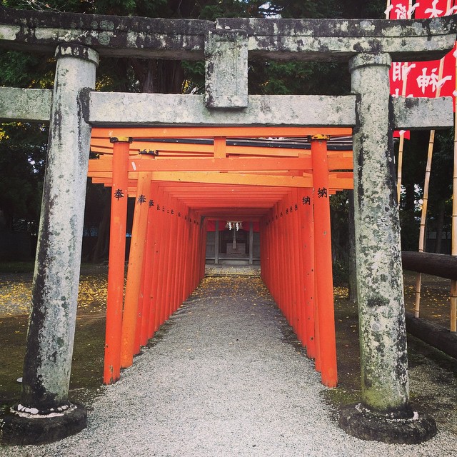 九州熊本 水前寺成趣園 水前寺公園 出水神社 稻荷神社 熊本賞花 熊本 千鳥居 熊本神社 熊本 神社 熊本好去處 熊本親子景點 熊本自由行 熊本一日遊 熊本 Japan 熊本必食 熊本必吃 熊本必到 熊本必去 熊本必買 熊本必掃 熊本自由行 熊本行程 熊本行程包 熊本懶人包 熊本好去處 熊本景點 熊本必到景點 熊本必去景點 熊本美食 熊本交通 熊本攻略 熊本自由行行程 熊本自由行行程推薦 熊本必食2019 熊本必吃2019 熊本必到2019 熊本必去2019 熊本必買2019 熊本必掃2019 熊本自由行2019 熊本行程2019 熊本行程包2019 熊本懶人包2019 熊本好去處2019 熊本景點2019 熊本必到景點2019 熊本必去景點2019 熊本美食2019 熊本交通2019 熊本攻略2019 熊本自由行行程2019 熊本自由行行程推薦2019 九州 Kyushu 九州必食 九州必吃 九州必到 九州必去 九州必買 九州必掃 九州自由行 九州行程 九州行程包 九州懶人包 九州好去處 九州景點 九州必到景點 九州必去景點 九州美食 九州交通 九州攻略 九州自由行行程 九州自由行行程推薦 九州必食2019 九州必吃2019 九州必到2019 九州必去2019 九州必買2019 九州必掃2019 九州自由行2019 九州行程2019 九州行程包2019 九州懶人包2019 九州好去處2019 九州景點2019 九州必到景點2019 九州必去景點2019 九州美食2019 九州交通2019 九州攻略2019 九州自由行行程2019 九州自由行行程推薦2019