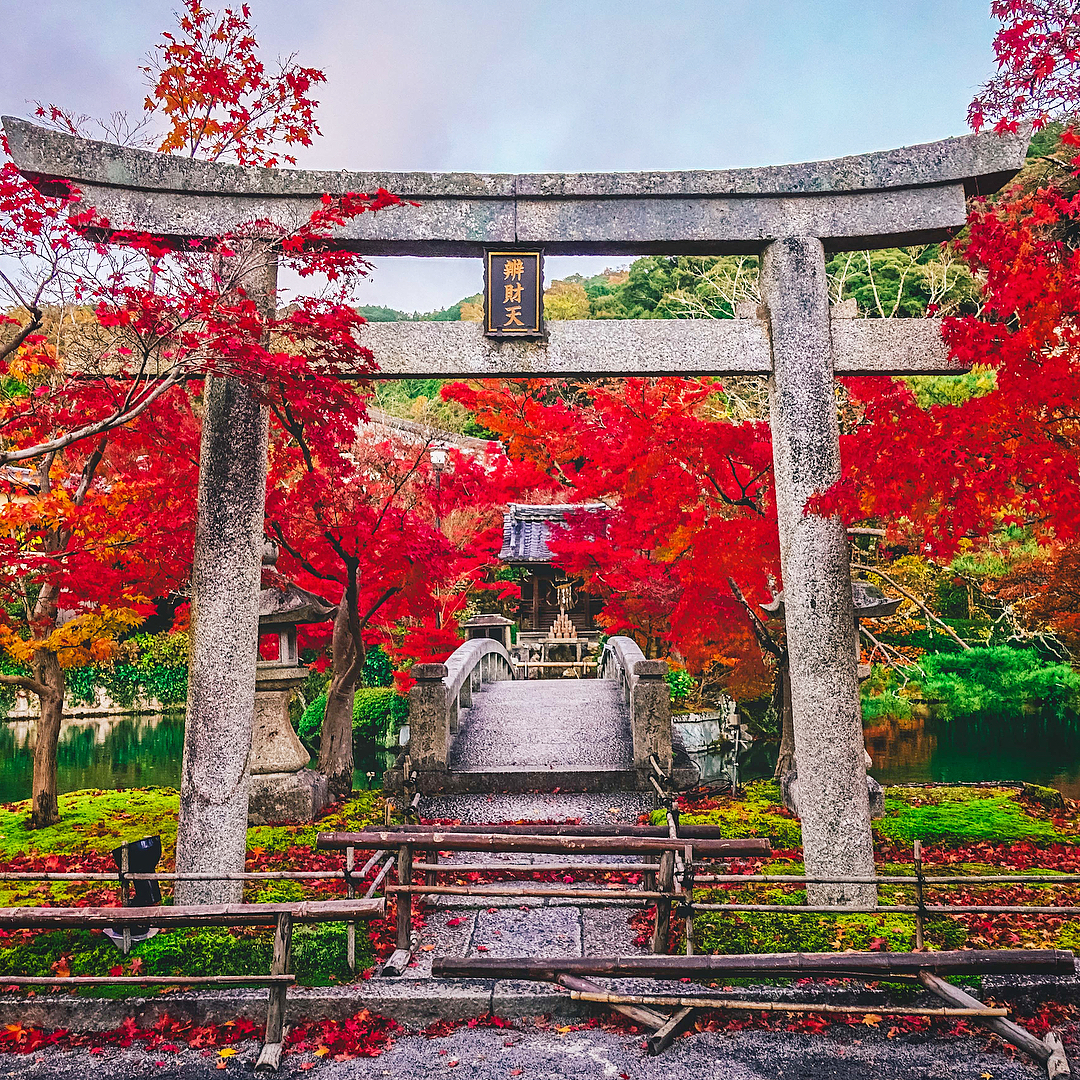 永觀堂 禪林寺 ぜんりんじ 永觀堂2019 永觀堂官網 永觀堂櫻花 櫻花 夜楓 楓葉 紅葉 永觀堂夜楓2019 永觀堂冬天 永觀堂夏天 永觀堂地鐵 永觀堂美食 永觀堂春天 永觀堂營業時間