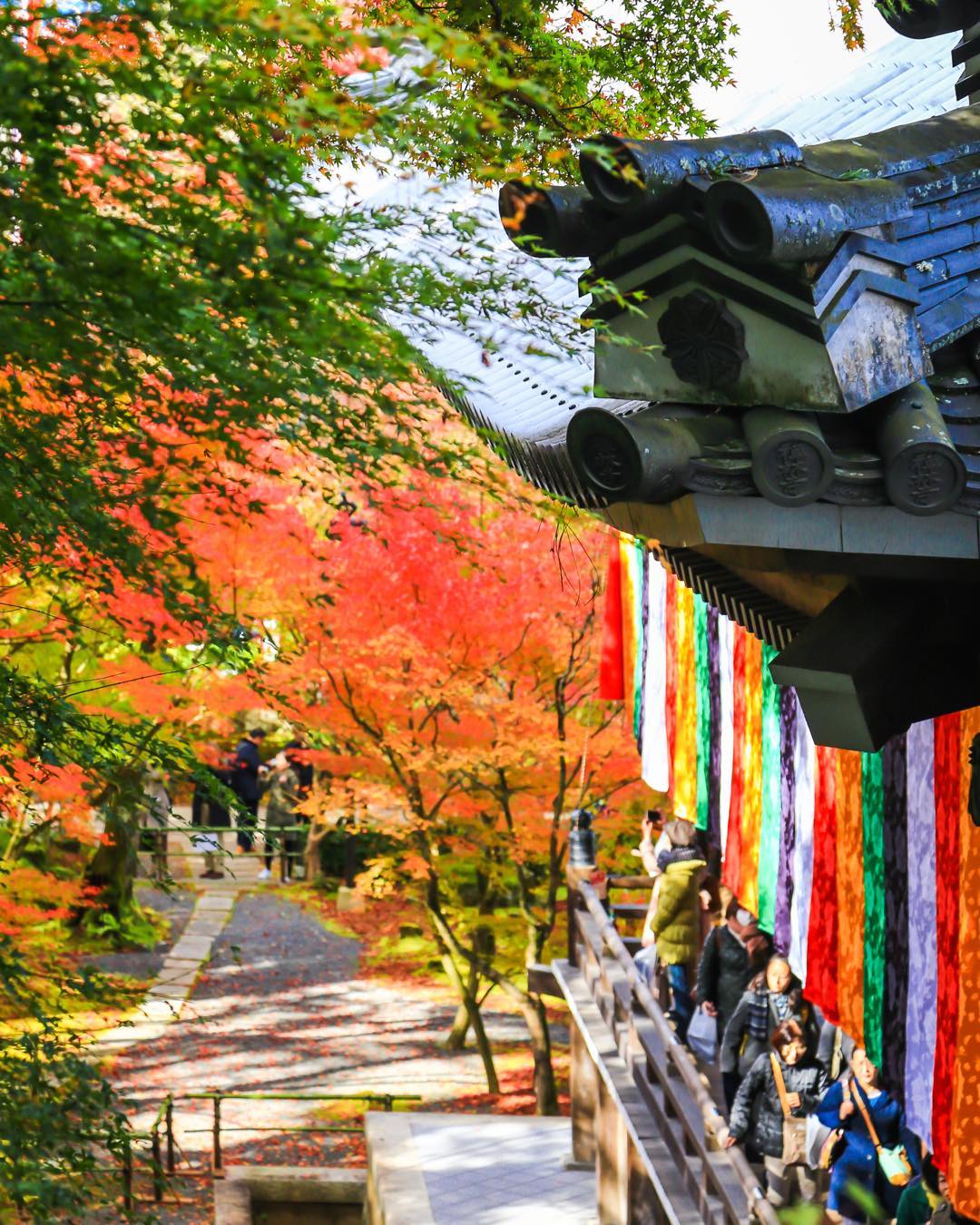 永觀堂 禪林寺 ぜんりんじ 永觀堂2019 永觀堂官網 永觀堂櫻花 櫻花 夜楓 楓葉 紅葉 永觀堂夜楓2019 永觀堂冬天 永觀堂夏天 永觀堂地鐵 永觀堂美食 永觀堂春天 永觀堂營業時間