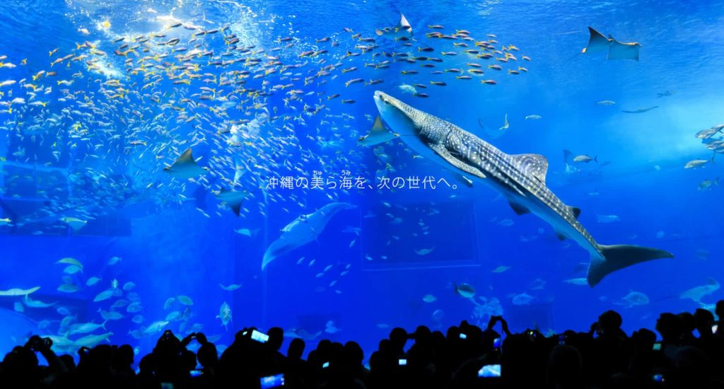 沖繩 沖繩親子景點 沖繩景點 沖繩必去 沖繩必到 沖繩世界文化王國玉泉洞 BIOS之丘 琉球村 OKINAWA 水果樂園 古宇利海洋塔 沖繩美麗海水族館 沖繩自駕 Enjoy Pass