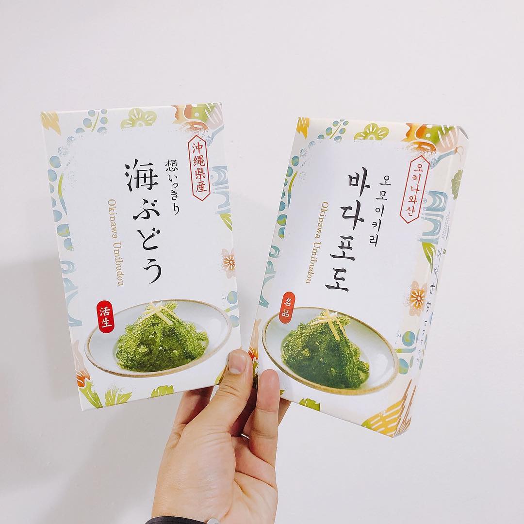 沖繩限定 沖繩海葡萄 海葡萄 沖繩必買