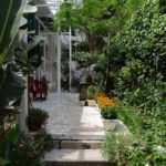 深圳蛇口深圳6號花園|深圳酒店 深圳住宿 深圳文青酒店 深圳行程 深圳過夜