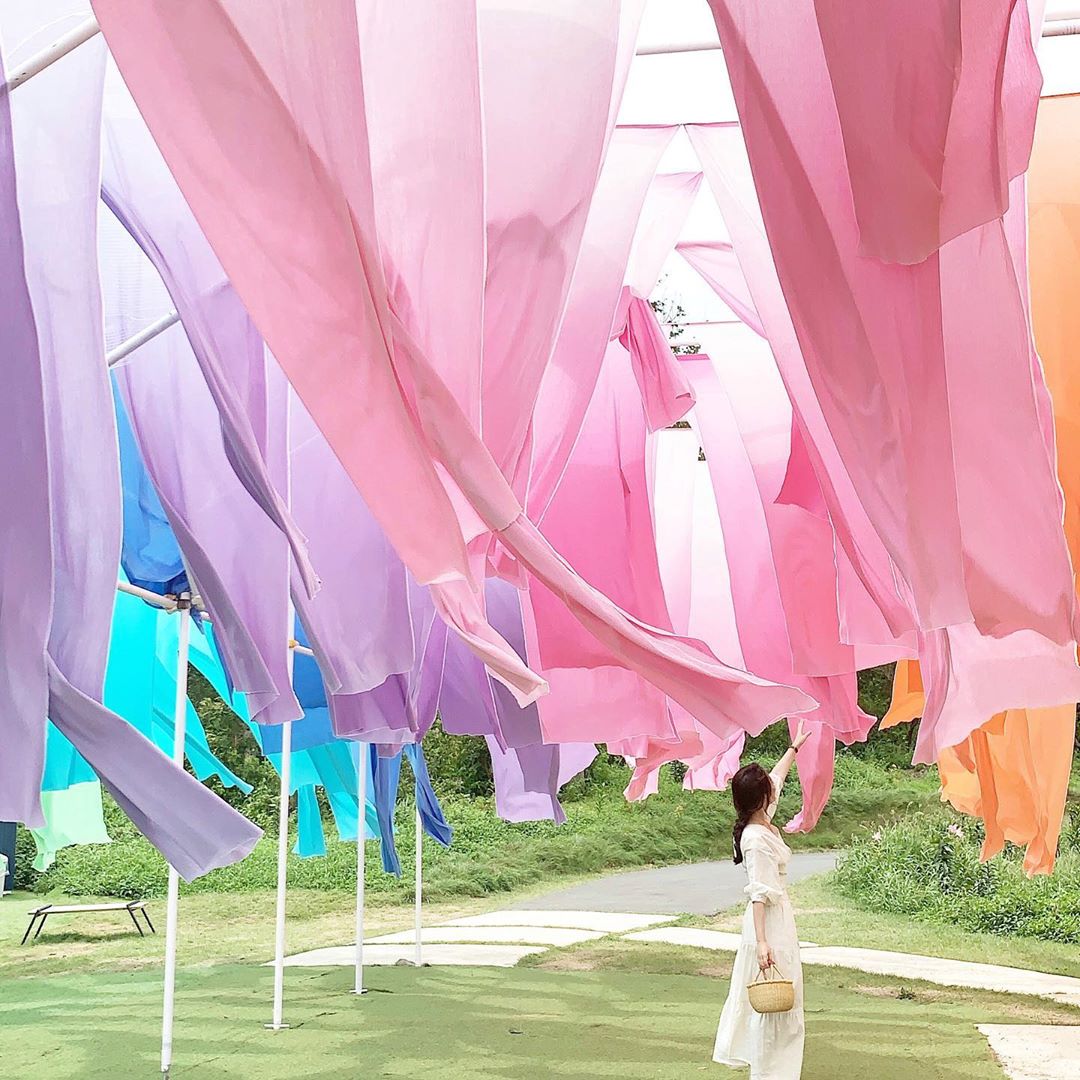 高島織 彩虹窗簾 虹のカーテン 琵琶湖 箱館山公園 滋賀箱館山掃百合花園 滋賀箱館山掃帚草公園 日本掃帚草 東京掃帚草 大阪掃帚草 京都掃帚草 關西掃帚草 名古屋掃帚草 日本波波草 紅色波波草 紅色掃帚草 東京波波草 大阪波波草 京都波波草 關西波波草 名古屋波波草 日本 波波草 景點 日本波波草景點 日本掃帚草景點 日本 掃帚草 景黠 日本 秋天 必去 日本 秋天 賞花