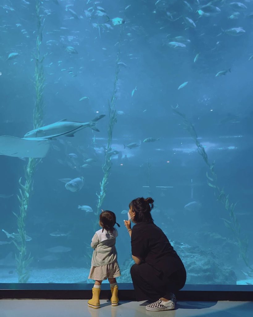 信不信由你博物館 O'Sulloc雪綠茶博物館 濟州島Aqua Planet水族館 愛麗絲夢遊仙境展 濟州島世界汽車博物館 濟州性愛主題樂園 Love Land 濟州 濟州博物館 濟州景點 濟州行程 濟州展覽