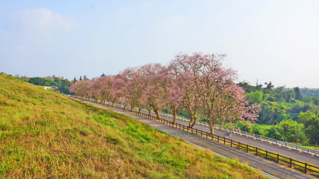 烏山頭水庫風景區 西拉雅國家風景區 烏山頭水庫公園 烏山頭水庫景點 珊瑚潭 跨虹吊橋 珊瑚橋 八田與一紀念園區 八田技師紀念館 三角埤公園 烏山頭水庫親水公園 烏山頭水庫櫻花 香榭大道南洋櫻花 烏山頭水庫黃金雨 烏山頭水庫阿勃勒花