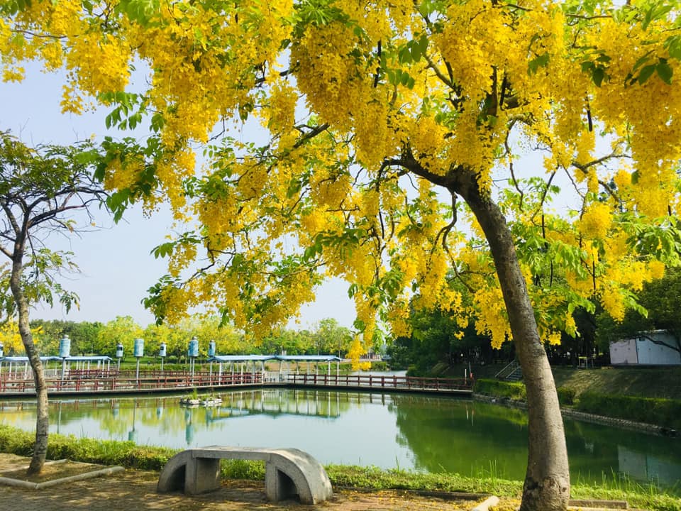 烏山頭水庫風景區 西拉雅國家風景區 烏山頭水庫公園 烏山頭水庫景點 珊瑚潭 跨虹吊橋 珊瑚橋 八田與一紀念園區 八田技師紀念館 三角埤公園 烏山頭水庫親水公園 烏山頭水庫櫻花 香榭大道南洋櫻花 烏山頭水庫黃金雨 烏山頭水庫阿勃勒花