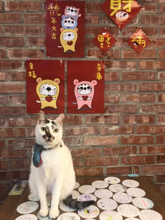 217咖啡館 猴硐坑 猴硐運煤橋 願景館 猴硐車站 猴硐貓村 台灣貓村 瑞芳車站 猴硐貓村一日遊