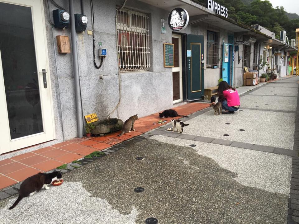 217咖啡館 猴硐坑 猴硐運煤橋 願景館 猴硐車站 猴硐貓村 台灣貓村 瑞芳車站 猴硐貓村一日遊
