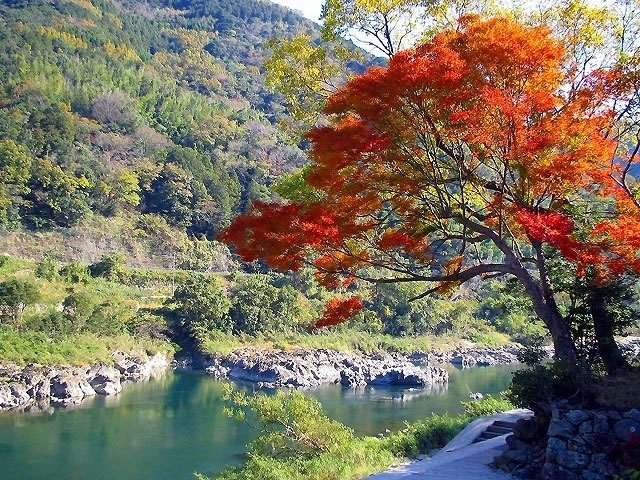 球磨川紅葉2019 球磨川 紅葉 2019 球磨川紅葉 2019 熊本 紅葉 景點 2019 熊本紅葉景點 2019 熊本 紅葉景點 2019 熊本紅葉 2019 熊本紅葉2019 熊本 紅葉 熊本紅葉 2019 熊本紅葉2019 熊本賞楓 2019 熊本賞楓2019 熊本賞楓景點 2019 熊本賞楓景點2019 熊本夜楓 2019 熊本夜楓2019 熊本夜楓景點2019 熊本夜楓景點 2019 九州紅葉 2019 九州紅葉2019 九州紅葉 景點 2019 九州紅葉景點 2019 九州紅葉景點2019 九州賞楓 2019 九州賞楓2019 九州賞楓景點 2019 九州賞楓景點2019 九州賞楓 景點 2019 九州夜楓2019 九州夜楓 2019 九州夜楓景點2019 九州夜楓景點 2019 九州夜楓 景點 2019 九州楓葉2019 九州楓葉 2019 九州楓葉景點2019 九州楓葉景點 2019 九州 紅葉祭 2019 九州景點 九州必去 九州必看 九州自由行 九州行程 九州自由行行程推薦 九州自由行行程推介 九州自由行行程