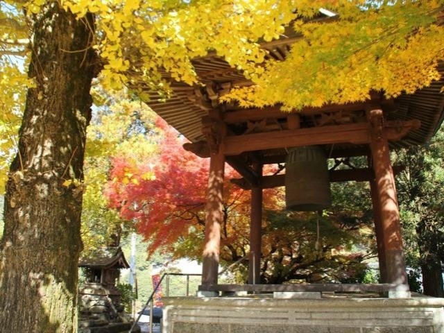 球磨川紅葉2019 球磨川 紅葉 2019 球磨川紅葉 2019 熊本 紅葉 景點 2019 熊本紅葉景點 2019 熊本 紅葉景點 2019 熊本紅葉 2019 熊本紅葉2019 熊本 紅葉 熊本紅葉 2019 熊本紅葉2019 熊本賞楓 2019 熊本賞楓2019 熊本賞楓景點 2019 熊本賞楓景點2019 熊本夜楓 2019 熊本夜楓2019 熊本夜楓景點2019 熊本夜楓景點 2019 九州紅葉 2019 九州紅葉2019 九州紅葉 景點 2019 九州紅葉景點 2019 九州紅葉景點2019 九州賞楓 2019 九州賞楓2019 九州賞楓景點 2019 九州賞楓景點2019 九州賞楓 景點 2019 九州夜楓2019 九州夜楓 2019 九州夜楓景點2019 九州夜楓景點 2019 九州夜楓 景點 2019 九州楓葉2019 九州楓葉 2019 九州楓葉景點2019 九州楓葉景點 2019 九州 紅葉祭 2019 九州景點 九州必去 九州必看 九州自由行 九州行程 九州自由行行程推薦 九州自由行行程推介 九州自由行行程