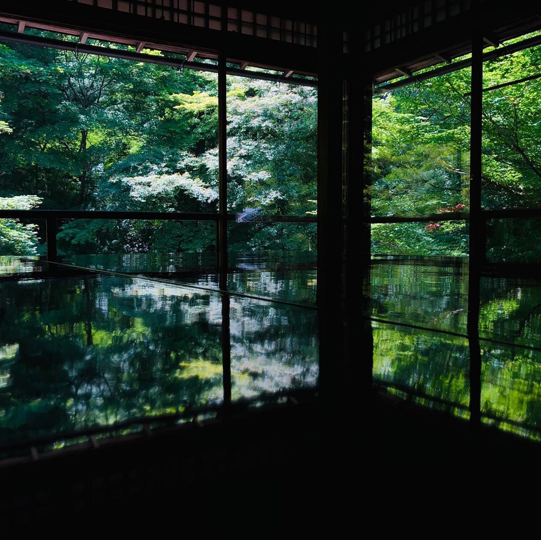 琉璃光院 るりこういん Rurikoin 無量壽山光明寺琉璃光院 八瀨琉璃光院 琉璃光院2019 琉璃光院夏天 琉璃光院2019開放時間 京都琉璃光院2019 琉璃光院美食 琉璃光院紅葉情報 琉璃光院english 紅葉 楓葉