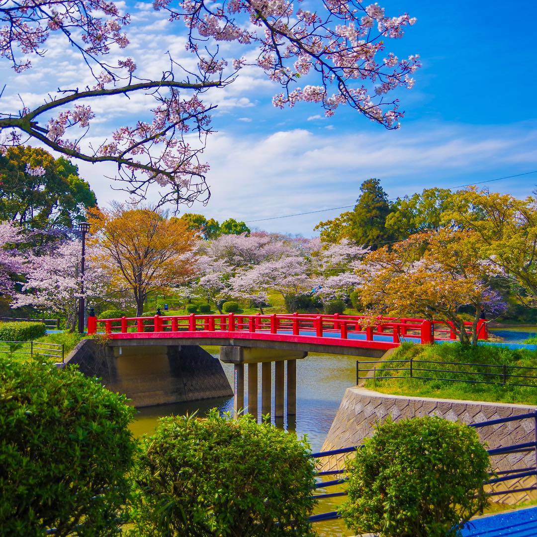 日本 Japan 日本必食 日本必吃 日本必到 日本必去 日本必買 日本必掃 日本自由行 日本行程 日本行程包 日本懶人包 日本好去處 日本景點 日本必到景點 日本美食 日本交通 日本攻略 日本自由行行程 日本自由行行程推薦 日本酒店 日本飯店 日本住宿 日本酒店推薦 日本飯店推薦 日本必住酒店 日本必住飯店 日本必食2019 日本必吃2019 日本必到2019 日本必去2019 日本必買2019 日本必掃2019 日本自由行2019 日本行程2019 日本行程包2019 日本懶人包2019 日本好去處2019 日本景點2019 日本必到景點2019 日本必去景點2019 日本美食2019 日本交通2019 日本攻略2019 日本自由行行程2019 日本自由行行程推薦2019 日本酒店2019 日本飯店2019 日本酒店推薦2019 日本飯店推薦2019 日本必住酒店2019 日本必住飯店2019 日本住宿2019 日本必食2020 日本必吃2020 日本必到2020 日本必去2020 日本必買2020 日本必掃2020 日本自由行2020 日本行程2020 日本行程包2020 日本懶人包2020 日本好去處2020 日本景點2020 日本必到景點2020 日本美食2020 日本交通2020 日本攻略2020 日本自由行行程2020 日本自由行行程推薦2020 日本酒店2020 日本飯店2020 日本住宿2020 日本酒店推薦2020 女飯店推薦2020 日本必住酒店2020 日本必住飯店2020 九州 Kyushu 九州必食 九州必吃 九州必到 九州必去 九州必買 九州必掃 九州自由行 行程 九州行程包 九州懶人包 九州好去處 九州景點 九州必到景點 九州美食 九州交通 九州攻略 九州自由行行程 九州自由行行程推薦 九州酒店 九州飯店 九州住宿 九州酒店推薦 九州飯店推薦 九州必住酒店 九州必住飯店 九州必食2019 九州必吃2019 九州必到2019 九州必去2019 九州必買2019 九州必掃2019 九州自由行2019 九州行程2019 九州行程包2019 九州懶人包2019 九州好去處2019 九州景點2019 九州必到景點2019 九州必去景點2019 九州美食2019 九州交通2019 九州攻略2019 九州自由行行程2019 九州自由行行程推薦2019 九州酒店2019 九州飯店2019 九州酒店推薦2019 九州飯店推薦2019 九州必住酒店2019 九州必住飯店2019 九州住宿2019 九州必食2020 九州必吃2020 九州必到2020 九州必去2020 九州必買2020 九州必掃2020 九州自由行2020 九州行程2020 九州行程包2020 九州懶人包2020 九州好去處2020 九州景點2020 九州必到景點2020 九州美食2020 九州交通2020 九州攻略2020 九州自由行行程2020 九州自由行行程推薦2020 九州酒店2020 九州飯店2020 九州住宿2020 九州酒店推薦2020 九州飯店推薦2020 九州必住酒店2020 九州必住飯店2020 大分 Oita 大分必食 大分必吃 大分必到 大分必去 大分必買 大分必掃 大分自由行 大分行程 大分行程包 大分懶人包 大分好去處 大分景點 大分必到景點 大分美食 大分交通 大分攻略 大分自由行行程 大分自由行行程推薦 大分酒店 大分飯店 大分住宿 大分酒店推薦 大分飯店推薦 大分必住酒店 大分必住飯店 大分必食2019 大分必吃2019 大分必到2019 大分必去2019 大分必買2019 大分必掃2019 大分自由行2019 大分行程2019 大分行程包2019 大分懶人包2019 大分好去處2019 大分景點2019 大分必到景點2019 大分必去景點2019大分 美食2019 大分交通2019 大分攻略2019 大分自由行行程2019 大分自由行行程推薦2019 大分酒店2019大分 飯店2019 大分酒店推薦2019 大分飯店推薦2019 大分必住酒店2019 大分必住飯店2019 大分住宿2019 大分必食2020 大分必吃2020 大分必到2020 大分必去2020 大分必買2020 大分必掃2020 大分自由行2020 大分行程2020 大分行程包2020 大分懶人包2020 大分好去處2020 大分景點2020 大分必到景點2020 大分美食2020 大分交通2020 大分攻略2020 大分自由行行程2020 大分自由行行程推薦2020 大分酒店2020 大分飯店2020 大分住宿2020 大分酒店推薦2020 大分飯店推薦2020 大分必住酒店2020 大分必住飯店2020 鹿兒島 Kagoshima 鹿兒島必食 鹿兒島必吃 鹿兒島必到 鹿兒島必去 鹿兒島必買 鹿兒島必掃 鹿兒島自由行 鹿兒島行程 鹿兒島行程包 鹿兒島懶人包 鹿兒島好去處 鹿兒島景點 鹿兒島必到景點 鹿兒島美食 鹿兒島交通 鹿兒島攻略 鹿兒島自由行行程鹿兒島 自由行行程推薦 鹿兒島酒店 鹿兒島飯店 鹿兒島住宿 鹿兒島酒店推薦 鹿兒島飯店推薦 鹿兒島必住酒店 鹿兒島必住飯店 鹿兒島必食2019 鹿兒島必吃2019 鹿兒島必到2019 鹿兒島必去2019 鹿兒島必買2019 鹿兒島必掃2019 鹿兒島自由行2019 鹿兒島行程2019 鹿兒島行程包2019 鹿兒島懶人包2019 鹿兒島好去處2019 鹿兒島景點2019 鹿兒島必到景點2019 鹿兒島必去景點2019 鹿兒島美食2019 鹿兒島交通2019 鹿兒島攻略2019 鹿兒島自由行行程2019 鹿兒島自由行行程推薦2019 鹿兒島酒店2019 鹿兒島飯店2019 鹿兒島酒店推薦2019 鹿兒島飯店推薦2019 鹿兒島必住酒店2019 鹿兒島必住飯店2019 鹿兒島住宿2019 鹿兒島必食2020 鹿兒島必吃2020 鹿兒島必到2020 鹿兒島必去2020 鹿兒島必買2020 鹿兒島必掃2020 鹿兒島自由行2020 鹿兒島行程2020 鹿兒島行程包2020 鹿兒島懶人包2020 鹿兒島好去處2020 鹿兒島景點2020 鹿兒島必到景點2020 鹿兒島美食2020 鹿兒島交通2020 鹿兒島攻略2020 鹿兒島自由行行程2020 鹿兒島自由行行程推薦2020 鹿兒島酒店2020鹿兒島飯店2020 鹿兒島住宿2020 鹿兒島酒店推薦2020 鹿兒島飯店推薦2020 鹿兒島必住酒店2020 鹿兒島必住飯店2020 長崎 Nagasaki 長崎必食長崎 必吃 長崎必到 長崎必去 長崎必買 長崎必掃 長崎自由行 長崎行程 長崎行程包 長崎懶人包 長崎好去處 長崎景點 長崎必到景點 長崎美食 長崎交通 長崎攻略 長崎自由行行程 長崎自由行行程推薦 長崎酒店 長崎飯店 長崎住宿 長崎酒店推薦 長崎飯店推薦 長崎必住酒店 長崎必住飯店 長崎必食2019 長崎必吃2019 長崎必到2019 長崎必去2019 長崎必買2019 長崎必掃2019 長崎自由行2019 長崎行程2019 長崎行程包2019 長崎懶人包2019 長崎好去處2019 長崎景點2019 長崎必到景點2019 長崎必去景點2019 長崎美食2019 長崎交通2019 長崎攻略2019 長崎自由行行程2019 長崎自由行行程推薦2019 長崎酒店2019 長崎飯店2019 長崎酒店推薦2019 長崎飯店推薦2019 長崎必住酒店2019 長崎必住飯店2019 長崎住宿2019 長崎必食2020 長崎必吃2020 長崎必到2020 長崎必去2020 長崎必買2020 長崎必掃2020 長崎自由行2020 長崎行程2020 長崎行程包2020 長崎懶人包2020 長崎好去處2020 長崎景點2020 長崎必到景點2020 長崎美食2020 長崎交通2020 長崎攻略2020 長崎自由行行程2020 長崎自由行行程推薦2020 長崎酒店2020 長崎飯店2020 長崎住宿2020 長崎酒店推薦2020 長崎飯店推薦2020 長崎必住酒店2020 長崎必住飯店2020 福岡 Hakata 福岡必食 福岡必吃 福岡必到 福岡必去 福岡必買 福岡必掃 福岡自由行 福岡行程 福岡行程包 福岡懶人包 福岡好去處 福岡景點 福岡必到景點 福岡美食 福岡交通 福岡攻略 福岡自由行行程 福岡自由行行程推薦 福岡酒店 福岡飯店 福岡住宿 福岡酒店推薦 福岡飯店推薦 福岡必住酒店 福岡必住飯店 福岡必食2019 福岡必吃2019 福岡必到2019 福岡必去2019 福岡必買2019 福岡必掃2019 福岡自由行2019 福岡行程2019 福岡行程包2019 福岡懶人包2019 福岡好去處2019 福岡景點2019 福岡必到景點2019 福岡必去景點2019 福岡美食2019 福岡交通2019 福岡攻略2019 福岡自由行行程2019 福岡自由行行程推薦2019 福岡酒店2019 福岡飯店2019 福岡酒店推薦2019 福岡飯店推薦2019 福岡必住酒店2019 福岡必住飯店2019 福岡住宿2019 福岡必食2020 福岡必吃2020 福岡必到2020 福岡必去2020 福岡必買2020 福岡必掃2020 福岡自由行2020 福岡行程2020 福岡行程包2020 福岡懶人包2020 福岡好去處2020 福岡景點2020 福岡必到景點2020 福岡美食2020 福岡交通2020 福岡攻略2020 福岡自由行行程2020 福岡自由行行程推薦2020 福岡酒店2020 福岡飯店2020 福岡住宿2020 福岡酒店推薦2020 福岡飯店推薦2020 福岡必住酒店2020 福岡必住飯店2020 熊本 Kumamoto 熊本必食 熊本必吃 熊本必到 熊本必去 熊本必買 熊本必掃 熊本自由行 熊本行程 熊本行程包 熊本懶人包 熊本好去處 熊本景點 熊本必到景點 熊本美食 熊本交通 熊本攻略 熊本自由行行程 熊本自由行行程推薦 熊本酒店 熊本飯店 熊本住宿 熊本酒店推薦 熊本飯店推薦 熊本必住酒店 熊本必住飯店 熊本必食2019 熊本必吃2019 熊本必到2019 熊本必去2019 熊本必買2019 熊本必掃2019 熊本自由行2019 熊本行程2019 熊本行程包2019 熊本懶人包2019 熊本好去處2019 熊本景點2019 熊本必到景點2019 熊本必去景點2019 熊本美食2019 熊本交通2019 熊本攻略2019 熊本自由行行程2019 熊本自由行行程推薦2019 熊本酒店2019 熊本飯店2019 熊本酒店推薦2019 熊本飯店推薦2019 熊本必住酒店2019 熊本必住飯店2019 住宿2019 熊本必食2020 熊本必吃2020 熊本必到2020 熊本必去2020 熊本必買2020 熊本必掃2020 熊本自由行2020 熊本行程2020 熊本行程包2020 熊本懶人包2020 熊本好去處2020 熊本景點2020 熊本必到景點2020 熊本美食2020 熊本交通2020 熊本攻略2020 熊本自由行行程2020 熊本自由行行程推薦2020 熊本酒店2020 熊本飯店2020 熊本住宿2020 熊本酒店推薦2020 熊本飯店推薦2020 熊本必住酒店2020 熊本必住飯店2020 佐賀 Saga 佐賀必食 佐賀必吃 佐賀必到 佐賀必去 佐賀必買 佐賀必掃 佐賀自由行 佐賀行程 佐賀行程包 佐賀懶人包 佐賀好去處 佐賀景點 佐賀必到景點 佐賀美食 佐賀交通 佐賀攻略 佐賀自由行行程 佐賀自由行行程推薦 佐賀酒店 佐賀飯店 佐賀住宿 佐賀酒店推薦 佐賀飯店推薦 佐賀必住酒店 佐賀必住飯店 佐賀必食2019 佐賀必吃2019 佐賀必到2019 佐賀必去2019 佐賀必買2019 佐賀必掃2019 佐賀自由行2019 佐賀行程2019 佐賀行程包2019 佐賀懶人包2019 佐賀好去處2019 佐賀景點2019 佐賀必到景點2019 佐賀必去景點2019 佐賀美食2019 佐賀交通2019 佐賀攻略2019 佐賀自由行行程2019 佐賀自由行行程推薦2019 佐賀酒店2019 佐賀飯店2019 佐賀酒店推薦2019 佐賀飯店推薦2019 佐賀必住酒店2019 佐賀必住飯店2019 佐賀住宿2019 佐賀必食2020 佐賀必吃2020 佐賀必到2020 佐賀必去2020 佐賀必買2020 佐賀必掃2020 佐賀自由行2020 佐賀行程2020 佐賀行程包2020 佐賀懶人包2020 佐賀好去處2020 佐賀景點2020 佐賀必到景點2020 佐賀美食2020 佐賀交通2020 佐賀攻略2020 佐賀自由行行程2020 佐賀自由行行程推薦2020 佐賀酒店2020 佐賀飯店2020 佐賀住宿2020 佐賀酒店推薦2020 佐賀飯店推薦2020 佐賀必住酒店2020 佐賀必住飯店2020 宮崎 Miyazaki 宮崎必食 宮崎必吃 宮崎必到 宮崎必去 宮崎必買 宮崎必掃 宮崎自由行 宮崎行程 宮崎行程包 宮崎懶人包 宮崎好去處 宮崎景點 宮崎必到景點 宮崎美食 宮崎交通 宮崎攻略 宮崎自由行行程 宮崎自由行行程推薦 宮崎酒店 宮崎飯店 宮崎住宿 宮崎酒店推薦 宮崎飯店推薦 宮崎必住酒店 宮崎必住飯店 宮崎必食2019 宮崎必吃2019 宮崎必到2019 宮崎必去2019 宮崎必買2019 宮崎必掃2019 宮崎自由行2019 宮崎行程2019 宮崎行程包2019 宮崎懶人包2019 宮崎好去處2019 宮崎景點2019 宮崎必到景點2019 宮崎必去景點2019 宮崎美食2019 宮崎交通2019 宮崎攻略2019 宮崎自由行行程2019 宮崎自由行行程推薦2019 宮崎酒店2019 宮崎飯店2019 宮崎酒店推薦2019 宮崎飯店推薦2019 宮崎必住酒店2019 宮崎必住飯店2019 宮崎住宿2019 宮崎必食2020 宮崎必吃2020 宮崎必到2020 宮崎必去2020 宮崎必買2020 宮崎必掃2020 宮崎自由行2020 宮崎行程2020 宮崎行程包2020 宮崎懶人包2020 宮崎好去處2020 宮崎景點2020 宮崎必到景點2020 宮崎美食2020 宮崎交通2020 宮崎攻略2020 宮崎自由行行程2020 宮崎自由行行程推薦2020 宮崎酒店2020 宮崎飯店2020 宮崎住宿2020 宮崎酒店推薦2020 宮崎飯店推薦2020 宮崎必住酒店2020 宮崎必住飯店2020 舞鶴公園 西公園 甘木公園 丸山公園 淺井的一本櫻 浅井の一本桜 秋月杉之馬場 秋月杉の馬場 小倉城勝山公園 勝山公園 一心行大櫻 一心行の大桜 水前寺成趣園 仙巖園 仙巌園 御船山樂園 御船山楽園 小城公園 母智丘公園 岡城跡 大村公園 日本櫻花 日本櫻花景點 日本賞櫻 日本櫻花攻略 日本賞櫻攻略 日本櫻花2020 日本櫻花景點2020 日本賞櫻2020 日本櫻花攻略2020 日本賞櫻攻略2020 福岡櫻花 福岡櫻花景點 福岡賞櫻 福岡櫻花攻略 福岡賞櫻攻略 福岡櫻花2020 福岡櫻花景點2020 福岡賞櫻2020 福岡櫻花攻略2020 福岡賞櫻攻略2020 熊本櫻花 熊本櫻花景點 熊本賞櫻 熊本櫻花攻略 熊本賞櫻攻略 熊本櫻花2020 熊本櫻花景點2020 熊本賞櫻2020 熊本櫻花攻略2020 熊本賞櫻攻略2020 鹿兒島櫻花 鹿兒島櫻花景點 鹿兒島賞櫻 鹿兒島櫻花攻略 鹿兒島賞櫻攻略 鹿兒島櫻花2020 鹿兒島櫻花景點2020 鹿兒島賞櫻2020 鹿兒島櫻花攻略2020 鹿兒島賞櫻攻略2020 佐賀櫻花 佐賀櫻花景點 佐賀賞櫻 佐賀櫻花攻略 佐賀賞櫻攻略 佐賀櫻花2020 佐賀櫻花景點2020 佐賀賞櫻2020 佐賀櫻花攻略2020 佐賀賞櫻攻略2020 宮崎櫻花 宮崎櫻花景點 宮崎賞櫻 宮崎櫻花攻略 宮崎賞櫻攻略 宮崎櫻花2020 宮崎櫻花景點2020 宮崎賞櫻2020 宮崎櫻花攻略2020 宮崎賞櫻攻略2020 大分櫻花 大分櫻花景點 大分賞櫻 大分櫻花攻略 大分賞櫻攻略 大分櫻花2020 大分櫻花景點2020 大分賞櫻2020 大分櫻花攻略2020 大分賞櫻攻略2020 長崎櫻花 長崎櫻花景點 長崎賞櫻 長崎櫻花攻略 長崎賞櫻攻略 長崎櫻花2020 長崎櫻花景點2020 長崎賞櫻2020 長崎櫻花攻略2020 長崎賞櫻攻略2020 舞鶴公園2019 舞鶴公園楓葉 舞鶴公園櫻花 舞鶴公園紅葉 舞鶴公園9月 舞鶴公園1月 舞鶴公園夜櫻 舞鶴公園交通 舞鶴公園12月 舞鶴公園英文 西公園櫻花2019 西公園仙台 西公園紅葉 福岡西公園櫻花 舞鶴公園 大濠公園 西公園交通 大濠公園美食 福岡城大濠公園 博多到大濠公園 甘木公園櫻花 甘木公園交通 舞鶴公園 福岡櫻花時間 舞鶴公園櫻花2019 福岡賞櫻時間 甘木觀光巴士 福岡櫻花2020 舞鶴公園夜櫻 福岡賞櫻2019 福岡櫻花時間 福岡櫻花2019 福岡櫻花祭 長崎櫻花2019 岡山櫻花2019 福岡絕景 櫻花季節 輕井澤櫻花 青森櫻花2019 日光櫻花2019 秋月日本 秋月城跡午餐 秋月城舊址 秋月城跡黑門 秋月城舊址交通 朝倉市美食 福岡秋月城跡賞楓 秋月城跡開放時間 秋月城跡楓葉 秋月城跡自駕 勝山公園紅葉 勝山公園楓葉 勝山公園櫻花 勝山公園停車場 小倉城 竉門神社 小倉城晚上 小倉城開放時間 福岡夜楓 一心行大櫻2019 白川水源 南阿蘇景點 白川水源2018 阿蘇景點2018 阿蘇地圖 熊本絕景 阿蘇山9月 阿蘇火山10月 草千里10月 水前寺成趣園紅葉 水前寺成趣園2019 水前寺成趣園必買 水前寺成趣園停留時間 水前寺成趣園冬天 水前寺成趣園停車 水前寺成趣園美食 水前寺成趣園抹茶 水前寺成趣園mapcode 水前寺成趣園楓葉 仙巖園停留時間 仙巖園和服 仙巖園紅葉 仙巖園星巴克 仙巖園貓神社 仙巖園世界遺產 仙巖園茶寮 仙巖園mapcode 仙巖園2018 仙巖園公車 御船山樂園2019 御船山樂園teamlab 御船山樂園值得去嗎 御船山樂園門票 御船山樂園櫻花 御船山樂園teamlab 2019 御船山樂園hotel 御船山樂園紅葉祭2019 佐賀御船山樂園teamlab 御船山樂園酒店blog 佐賀小城 小城景點 舞鶴公園 御船山樂園 佐賀小城景點 母智丘公園交通 岡城跡交通 岡城跡櫻花 岡城跡紅葉 大分縣岡城跡 岡城跡賞楓 岡城跡楓葉 岡城交通 岡城櫻花祭 豐後竹田車站 豐後景點 大村公園櫻花2019 大村公園2019 大村公園巴士 大村公園mapcode omura park大村公園 長崎大村公園櫻花2019 彰化大村公園 九州大村 大村公園玖島城跡 大村市景點