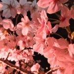 日本 Japan 日本必食 日本必吃 日本必到 日本必去 日本必買 日本必掃 日本自由行 日本行程 日本行程包 日本懶人包 日本好去處 日本景點 日本必到景點 日本美食 日本交通 日本攻略 日本自由行行程 日本自由行行程推薦 日本酒店 日本飯店 日本住宿 日本酒店推薦 日本飯店推薦 日本必住酒店 日本必住飯店 日本必食2019 日本必吃2019 日本必到2019 日本必去2019 日本必買2019 日本必掃2019 日本自由行2019 日本行程2019 日本行程包2019 日本懶人包2019 日本好去處2019 日本景點2019 日本必到景點2019 日本必去景點2019 日本美食2019 日本交通2019 日本攻略2019 日本自由行行程2019 日本自由行行程推薦2019 日本酒店2019 日本飯店2019 日本酒店推薦2019 日本飯店推薦2019 日本必住酒店2019 日本必住飯店2019 日本住宿2019 日本必食2020 日本必吃2020 日本必到2020 日本必去2020 日本必買2020 日本必掃2020 日本自由行2020 日本行程2020 日本行程包2020 日本懶人包2020 日本好去處2020 日本景點2020 日本必到景點2020 日本美食2020 日本交通2020 日本攻略2020 日本自由行行程2020 日本自由行行程推薦2020 日本酒店2020 日本飯店2020 日本住宿2020 日本酒店推薦2020 女飯店推薦2020 日本必住酒店2020 日本必住飯店2020 九州 Kyushu 九州必食 九州必吃 九州必到 九州必去 九州必買 九州必掃 九州自由行 行程 九州行程包 九州懶人包 九州好去處 九州景點 九州必到景點 九州美食 九州交通 九州攻略 九州自由行行程 九州自由行行程推薦 九州酒店 九州飯店 九州住宿 九州酒店推薦 九州飯店推薦 九州必住酒店 九州必住飯店 九州必食2019 九州必吃2019 九州必到2019 九州必去2019 九州必買2019 九州必掃2019 九州自由行2019 九州行程2019 九州行程包2019 九州懶人包2019 九州好去處2019 九州景點2019 九州必到景點2019 九州必去景點2019 九州美食2019 九州交通2019 九州攻略2019 九州自由行行程2019 九州自由行行程推薦2019 九州酒店2019 九州飯店2019 九州酒店推薦2019 九州飯店推薦2019 九州必住酒店2019 九州必住飯店2019 九州住宿2019 九州必食2020 九州必吃2020 九州必到2020 九州必去2020 九州必買2020 九州必掃2020 九州自由行2020 九州行程2020 九州行程包2020 九州懶人包2020 九州好去處2020 九州景點2020 九州必到景點2020 九州美食2020 九州交通2020 九州攻略2020 九州自由行行程2020 九州自由行行程推薦2020 九州酒店2020 九州飯店2020 九州住宿2020 九州酒店推薦2020 九州飯店推薦2020 九州必住酒店2020 九州必住飯店2020 大分 Oita 大分必食 大分必吃 大分必到 大分必去 大分必買 大分必掃 大分自由行 大分行程 大分行程包 大分懶人包 大分好去處 大分景點 大分必到景點 大分美食 大分交通 大分攻略 大分自由行行程 大分自由行行程推薦 大分酒店 大分飯店 大分住宿 大分酒店推薦 大分飯店推薦 大分必住酒店 大分必住飯店 大分必食2019 大分必吃2019 大分必到2019 大分必去2019 大分必買2019 大分必掃2019 大分自由行2019 大分行程2019 大分行程包2019 大分懶人包2019 大分好去處2019 大分景點2019 大分必到景點2019 大分必去景點2019大分 美食2019 大分交通2019 大分攻略2019 大分自由行行程2019 大分自由行行程推薦2019 大分酒店2019大分 飯店2019 大分酒店推薦2019 大分飯店推薦2019 大分必住酒店2019 大分必住飯店2019 大分住宿2019 大分必食2020 大分必吃2020 大分必到2020 大分必去2020 大分必買2020 大分必掃2020 大分自由行2020 大分行程2020 大分行程包2020 大分懶人包2020 大分好去處2020 大分景點2020 大分必到景點2020 大分美食2020 大分交通2020 大分攻略2020 大分自由行行程2020 大分自由行行程推薦2020 大分酒店2020 大分飯店2020 大分住宿2020 大分酒店推薦2020 大分飯店推薦2020 大分必住酒店2020 大分必住飯店2020 鹿兒島 Kagoshima 鹿兒島必食 鹿兒島必吃 鹿兒島必到 鹿兒島必去 鹿兒島必買 鹿兒島必掃 鹿兒島自由行 鹿兒島行程 鹿兒島行程包 鹿兒島懶人包 鹿兒島好去處 鹿兒島景點 鹿兒島必到景點 鹿兒島美食 鹿兒島交通 鹿兒島攻略 鹿兒島自由行行程鹿兒島 自由行行程推薦 鹿兒島酒店 鹿兒島飯店 鹿兒島住宿 鹿兒島酒店推薦 鹿兒島飯店推薦 鹿兒島必住酒店 鹿兒島必住飯店 鹿兒島必食2019 鹿兒島必吃2019 鹿兒島必到2019 鹿兒島必去2019 鹿兒島必買2019 鹿兒島必掃2019 鹿兒島自由行2019 鹿兒島行程2019 鹿兒島行程包2019 鹿兒島懶人包2019 鹿兒島好去處2019 鹿兒島景點2019 鹿兒島必到景點2019 鹿兒島必去景點2019 鹿兒島美食2019 鹿兒島交通2019 鹿兒島攻略2019 鹿兒島自由行行程2019 鹿兒島自由行行程推薦2019 鹿兒島酒店2019 鹿兒島飯店2019 鹿兒島酒店推薦2019 鹿兒島飯店推薦2019 鹿兒島必住酒店2019 鹿兒島必住飯店2019 鹿兒島住宿2019 鹿兒島必食2020 鹿兒島必吃2020 鹿兒島必到2020 鹿兒島必去2020 鹿兒島必買2020 鹿兒島必掃2020 鹿兒島自由行2020 鹿兒島行程2020 鹿兒島行程包2020 鹿兒島懶人包2020 鹿兒島好去處2020 鹿兒島景點2020 鹿兒島必到景點2020 鹿兒島美食2020 鹿兒島交通2020 鹿兒島攻略2020 鹿兒島自由行行程2020 鹿兒島自由行行程推薦2020 鹿兒島酒店2020鹿兒島飯店2020 鹿兒島住宿2020 鹿兒島酒店推薦2020 鹿兒島飯店推薦2020 鹿兒島必住酒店2020 鹿兒島必住飯店2020 長崎 Nagasaki 長崎必食長崎 必吃 長崎必到 長崎必去 長崎必買 長崎必掃 長崎自由行 長崎行程 長崎行程包 長崎懶人包 長崎好去處 長崎景點 長崎必到景點 長崎美食 長崎交通 長崎攻略 長崎自由行行程 長崎自由行行程推薦 長崎酒店 長崎飯店 長崎住宿 長崎酒店推薦 長崎飯店推薦 長崎必住酒店 長崎必住飯店 長崎必食2019 長崎必吃2019 長崎必到2019 長崎必去2019 長崎必買2019 長崎必掃2019 長崎自由行2019 長崎行程2019 長崎行程包2019 長崎懶人包2019 長崎好去處2019 長崎景點2019 長崎必到景點2019 長崎必去景點2019 長崎美食2019 長崎交通2019 長崎攻略2019 長崎自由行行程2019 長崎自由行行程推薦2019 長崎酒店2019 長崎飯店2019 長崎酒店推薦2019 長崎飯店推薦2019 長崎必住酒店2019 長崎必住飯店2019 長崎住宿2019 長崎必食2020 長崎必吃2020 長崎必到2020 長崎必去2020 長崎必買2020 長崎必掃2020 長崎自由行2020 長崎行程2020 長崎行程包2020 長崎懶人包2020 長崎好去處2020 長崎景點2020 長崎必到景點2020 長崎美食2020 長崎交通2020 長崎攻略2020 長崎自由行行程2020 長崎自由行行程推薦2020 長崎酒店2020 長崎飯店2020 長崎住宿2020 長崎酒店推薦2020 長崎飯店推薦2020 長崎必住酒店2020 長崎必住飯店2020 福岡 Hakata 福岡必食 福岡必吃 福岡必到 福岡必去 福岡必買 福岡必掃 福岡自由行 福岡行程 福岡行程包 福岡懶人包 福岡好去處 福岡景點 福岡必到景點 福岡美食 福岡交通 福岡攻略 福岡自由行行程 福岡自由行行程推薦 福岡酒店 福岡飯店 福岡住宿 福岡酒店推薦 福岡飯店推薦 福岡必住酒店 福岡必住飯店 福岡必食2019 福岡必吃2019 福岡必到2019 福岡必去2019 福岡必買2019 福岡必掃2019 福岡自由行2019 福岡行程2019 福岡行程包2019 福岡懶人包2019 福岡好去處2019 福岡景點2019 福岡必到景點2019 福岡必去景點2019 福岡美食2019 福岡交通2019 福岡攻略2019 福岡自由行行程2019 福岡自由行行程推薦2019 福岡酒店2019 福岡飯店2019 福岡酒店推薦2019 福岡飯店推薦2019 福岡必住酒店2019 福岡必住飯店2019 福岡住宿2019 福岡必食2020 福岡必吃2020 福岡必到2020 福岡必去2020 福岡必買2020 福岡必掃2020 福岡自由行2020 福岡行程2020 福岡行程包2020 福岡懶人包2020 福岡好去處2020 福岡景點2020 福岡必到景點2020 福岡美食2020 福岡交通2020 福岡攻略2020 福岡自由行行程2020 福岡自由行行程推薦2020 福岡酒店2020 福岡飯店2020 福岡住宿2020 福岡酒店推薦2020 福岡飯店推薦2020 福岡必住酒店2020 福岡必住飯店2020 熊本 Kumamoto 熊本必食 熊本必吃 熊本必到 熊本必去 熊本必買 熊本必掃 熊本自由行 熊本行程 熊本行程包 熊本懶人包 熊本好去處 熊本景點 熊本必到景點 熊本美食 熊本交通 熊本攻略 熊本自由行行程 熊本自由行行程推薦 熊本酒店 熊本飯店 熊本住宿 熊本酒店推薦 熊本飯店推薦 熊本必住酒店 熊本必住飯店 熊本必食2019 熊本必吃2019 熊本必到2019 熊本必去2019 熊本必買2019 熊本必掃2019 熊本自由行2019 熊本行程2019 熊本行程包2019 熊本懶人包2019 熊本好去處2019 熊本景點2019 熊本必到景點2019 熊本必去景點2019 熊本美食2019 熊本交通2019 熊本攻略2019 熊本自由行行程2019 熊本自由行行程推薦2019 熊本酒店2019 熊本飯店2019 熊本酒店推薦2019 熊本飯店推薦2019 熊本必住酒店2019 熊本必住飯店2019 住宿2019 熊本必食2020 熊本必吃2020 熊本必到2020 熊本必去2020 熊本必買2020 熊本必掃2020 熊本自由行2020 熊本行程2020 熊本行程包2020 熊本懶人包2020 熊本好去處2020 熊本景點2020 熊本必到景點2020 熊本美食2020 熊本交通2020 熊本攻略2020 熊本自由行行程2020 熊本自由行行程推薦2020 熊本酒店2020 熊本飯店2020 熊本住宿2020 熊本酒店推薦2020 熊本飯店推薦2020 熊本必住酒店2020 熊本必住飯店2020 佐賀 Saga 佐賀必食 佐賀必吃 佐賀必到 佐賀必去 佐賀必買 佐賀必掃 佐賀自由行 佐賀行程 佐賀行程包 佐賀懶人包 佐賀好去處 佐賀景點 佐賀必到景點 佐賀美食 佐賀交通 佐賀攻略 佐賀自由行行程 佐賀自由行行程推薦 佐賀酒店 佐賀飯店 佐賀住宿 佐賀酒店推薦 佐賀飯店推薦 佐賀必住酒店 佐賀必住飯店 佐賀必食2019 佐賀必吃2019 佐賀必到2019 佐賀必去2019 佐賀必買2019 佐賀必掃2019 佐賀自由行2019 佐賀行程2019 佐賀行程包2019 佐賀懶人包2019 佐賀好去處2019 佐賀景點2019 佐賀必到景點2019 佐賀必去景點2019 佐賀美食2019 佐賀交通2019 佐賀攻略2019 佐賀自由行行程2019 佐賀自由行行程推薦2019 佐賀酒店2019 佐賀飯店2019 佐賀酒店推薦2019 佐賀飯店推薦2019 佐賀必住酒店2019 佐賀必住飯店2019 佐賀住宿2019 佐賀必食2020 佐賀必吃2020 佐賀必到2020 佐賀必去2020 佐賀必買2020 佐賀必掃2020 佐賀自由行2020 佐賀行程2020 佐賀行程包2020 佐賀懶人包2020 佐賀好去處2020 佐賀景點2020 佐賀必到景點2020 佐賀美食2020 佐賀交通2020 佐賀攻略2020 佐賀自由行行程2020 佐賀自由行行程推薦2020 佐賀酒店2020 佐賀飯店2020 佐賀住宿2020 佐賀酒店推薦2020 佐賀飯店推薦2020 佐賀必住酒店2020 佐賀必住飯店2020 宮崎 Miyazaki 宮崎必食 宮崎必吃 宮崎必到 宮崎必去 宮崎必買 宮崎必掃 宮崎自由行 宮崎行程 宮崎行程包 宮崎懶人包 宮崎好去處 宮崎景點 宮崎必到景點 宮崎美食 宮崎交通 宮崎攻略 宮崎自由行行程 宮崎自由行行程推薦 宮崎酒店 宮崎飯店 宮崎住宿 宮崎酒店推薦 宮崎飯店推薦 宮崎必住酒店 宮崎必住飯店 宮崎必食2019 宮崎必吃2019 宮崎必到2019 宮崎必去2019 宮崎必買2019 宮崎必掃2019 宮崎自由行2019 宮崎行程2019 宮崎行程包2019 宮崎懶人包2019 宮崎好去處2019 宮崎景點2019 宮崎必到景點2019 宮崎必去景點2019 宮崎美食2019 宮崎交通2019 宮崎攻略2019 宮崎自由行行程2019 宮崎自由行行程推薦2019 宮崎酒店2019 宮崎飯店2019 宮崎酒店推薦2019 宮崎飯店推薦2019 宮崎必住酒店2019 宮崎必住飯店2019 宮崎住宿2019 宮崎必食2020 宮崎必吃2020 宮崎必到2020 宮崎必去2020 宮崎必買2020 宮崎必掃2020 宮崎自由行2020 宮崎行程2020 宮崎行程包2020 宮崎懶人包2020 宮崎好去處2020 宮崎景點2020 宮崎必到景點2020 宮崎美食2020 宮崎交通2020 宮崎攻略2020 宮崎自由行行程2020 宮崎自由行行程推薦2020 宮崎酒店2020 宮崎飯店2020 宮崎住宿2020 宮崎酒店推薦2020 宮崎飯店推薦2020 宮崎必住酒店2020 宮崎必住飯店2020 舞鶴公園 西公園 甘木公園 丸山公園 淺井的一本櫻 浅井の一本桜 秋月杉之馬場 秋月杉の馬場 小倉城勝山公園 勝山公園 一心行大櫻 一心行の大桜 水前寺成趣園 仙巖園 仙巌園 御船山樂園 御船山楽園 小城公園 母智丘公園 岡城跡 大村公園 日本櫻花 日本櫻花景點 日本賞櫻 日本櫻花攻略 日本賞櫻攻略 日本櫻花2020 日本櫻花景點2020 日本賞櫻2020 日本櫻花攻略2020 日本賞櫻攻略2020 福岡櫻花 福岡櫻花景點 福岡賞櫻 福岡櫻花攻略 福岡賞櫻攻略 福岡櫻花2020 福岡櫻花景點2020 福岡賞櫻2020 福岡櫻花攻略2020 福岡賞櫻攻略2020 熊本櫻花 熊本櫻花景點 熊本賞櫻 熊本櫻花攻略 熊本賞櫻攻略 熊本櫻花2020 熊本櫻花景點2020 熊本賞櫻2020 熊本櫻花攻略2020 熊本賞櫻攻略2020 鹿兒島櫻花 鹿兒島櫻花景點 鹿兒島賞櫻 鹿兒島櫻花攻略 鹿兒島賞櫻攻略 鹿兒島櫻花2020 鹿兒島櫻花景點2020 鹿兒島賞櫻2020 鹿兒島櫻花攻略2020 鹿兒島賞櫻攻略2020 佐賀櫻花 佐賀櫻花景點 佐賀賞櫻 佐賀櫻花攻略 佐賀賞櫻攻略 佐賀櫻花2020 佐賀櫻花景點2020 佐賀賞櫻2020 佐賀櫻花攻略2020 佐賀賞櫻攻略2020 宮崎櫻花 宮崎櫻花景點 宮崎賞櫻 宮崎櫻花攻略 宮崎賞櫻攻略 宮崎櫻花2020 宮崎櫻花景點2020 宮崎賞櫻2020 宮崎櫻花攻略2020 宮崎賞櫻攻略2020 大分櫻花 大分櫻花景點 大分賞櫻 大分櫻花攻略 大分賞櫻攻略 大分櫻花2020 大分櫻花景點2020 大分賞櫻2020 大分櫻花攻略2020 大分賞櫻攻略2020 長崎櫻花 長崎櫻花景點 長崎賞櫻 長崎櫻花攻略 長崎賞櫻攻略 長崎櫻花2020 長崎櫻花景點2020 長崎賞櫻2020 長崎櫻花攻略2020 長崎賞櫻攻略2020 舞鶴公園2019 舞鶴公園楓葉 舞鶴公園櫻花 舞鶴公園紅葉 舞鶴公園9月 舞鶴公園1月 舞鶴公園夜櫻 舞鶴公園交通 舞鶴公園12月 舞鶴公園英文 西公園櫻花2019 西公園仙台 西公園紅葉 福岡西公園櫻花 舞鶴公園 大濠公園 西公園交通 大濠公園美食 福岡城大濠公園 博多到大濠公園 甘木公園櫻花 甘木公園交通 舞鶴公園 福岡櫻花時間 舞鶴公園櫻花2019 福岡賞櫻時間 甘木觀光巴士 福岡櫻花2020 舞鶴公園夜櫻 福岡賞櫻2019 福岡櫻花時間 福岡櫻花2019 福岡櫻花祭 長崎櫻花2019 岡山櫻花2019 福岡絕景 櫻花季節 輕井澤櫻花 青森櫻花2019 日光櫻花2019 秋月日本 秋月城跡午餐 秋月城舊址 秋月城跡黑門 秋月城舊址交通 朝倉市美食 福岡秋月城跡賞楓 秋月城跡開放時間 秋月城跡楓葉 秋月城跡自駕 勝山公園紅葉 勝山公園楓葉 勝山公園櫻花 勝山公園停車場 小倉城 竉門神社 小倉城晚上 小倉城開放時間 福岡夜楓 一心行大櫻2019 白川水源 南阿蘇景點 白川水源2018 阿蘇景點2018 阿蘇地圖 熊本絕景 阿蘇山9月 阿蘇火山10月 草千里10月 水前寺成趣園紅葉 水前寺成趣園2019 水前寺成趣園必買 水前寺成趣園停留時間 水前寺成趣園冬天 水前寺成趣園停車 水前寺成趣園美食 水前寺成趣園抹茶 水前寺成趣園mapcode 水前寺成趣園楓葉 仙巖園停留時間 仙巖園和服 仙巖園紅葉 仙巖園星巴克 仙巖園貓神社 仙巖園世界遺產 仙巖園茶寮 仙巖園mapcode 仙巖園2018 仙巖園公車 御船山樂園2019 御船山樂園teamlab 御船山樂園值得去嗎 御船山樂園門票 御船山樂園櫻花 御船山樂園teamlab 2019 御船山樂園hotel 御船山樂園紅葉祭2019 佐賀御船山樂園teamlab 御船山樂園酒店blog 佐賀小城 小城景點 舞鶴公園 御船山樂園 佐賀小城景點 母智丘公園交通 岡城跡交通 岡城跡櫻花 岡城跡紅葉 大分縣岡城跡 岡城跡賞楓 岡城跡楓葉 岡城交通 岡城櫻花祭 豐後竹田車站 豐後景點 大村公園櫻花2019 大村公園2019 大村公園巴士 大村公園mapcode omura park大村公園 長崎大村公園櫻花2019 彰化大村公園 九州大村 大村公園玖島城跡 大村市景點