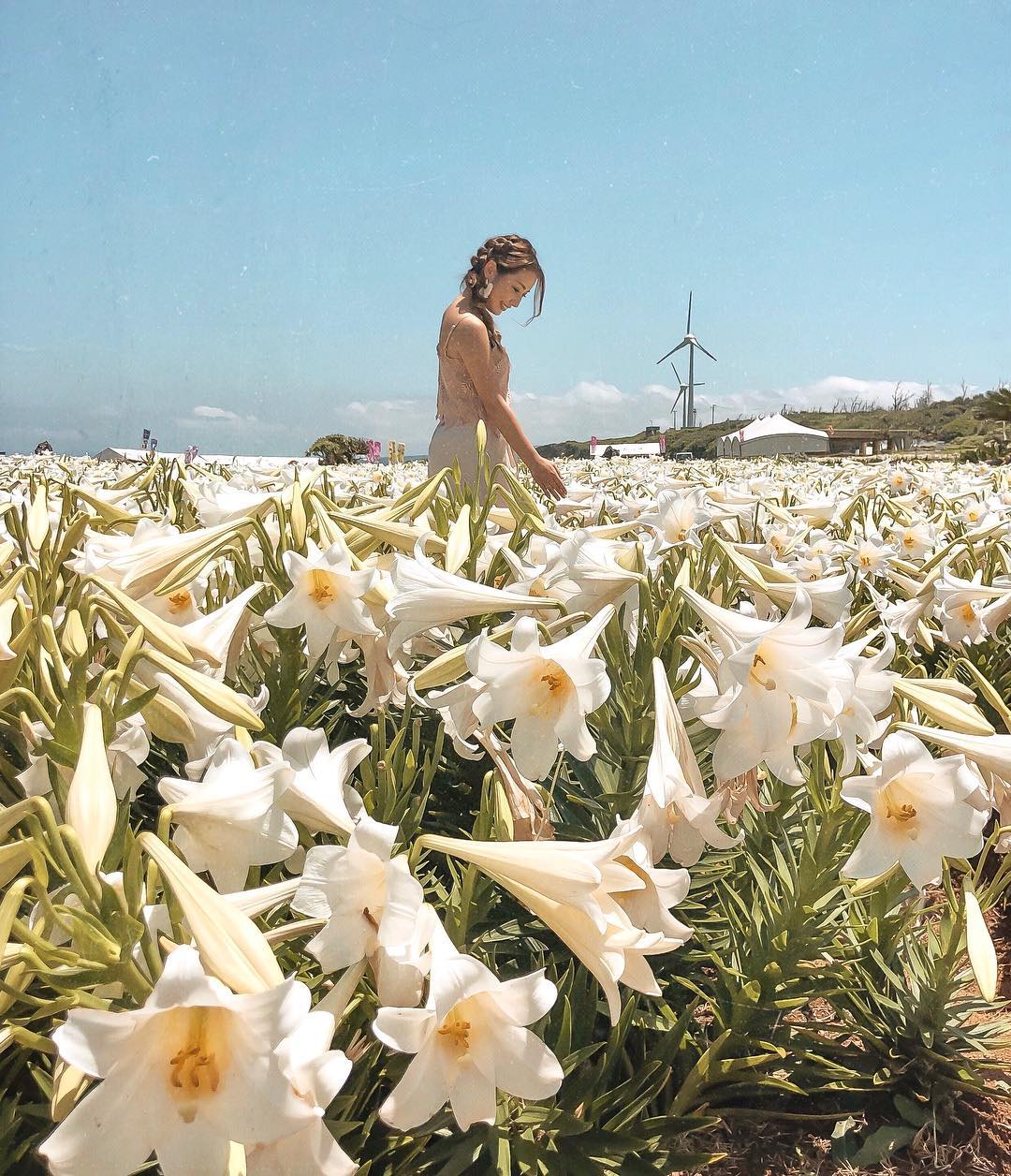百合野外公園 リリーフィールド公園 Lily Field Park 沖繩伊江島 沖繩 伊江島 伊江島 伊江村 沖繩伊江村 沖繩 伊江村 沖繩離島 沖繩跳島 沖繩跳島遊 沖繩不自駕 伊江島景點 伊江島 景點 伊江島必去 伊江島交通 伊江島美食 伊江島必吃 伊江島必食 伊江島 自行車 伊江島 單車 伊江島 車腳踏車 伊江島 百合祭 伊江島一日遊 伊江牛 伊江島Tatchu ACE BURGER Biziru石 Nyathiya洞 伊江海灘 伊江島城山 伊江島 城山 伊江島 浮潛 伊江島 潛水 伊江島 釣魚 伊江島 騎馬 ニャティヤ洞 千人洞 力石 伊江ビーチ 湧出展望台 沖繩賞鯨 百合公園 百合祭り 沖繩 Okinawa 沖繩必食 沖繩必吃 沖繩必到 沖繩必去 沖繩必買 沖繩必掃 沖繩自由行 沖繩行程 沖繩行程包 沖繩懶人包 沖繩好去處 沖繩景點 沖繩必到景點 沖繩必去景點 沖繩美食 沖繩交通 沖繩攻略 沖繩自由行行程 沖繩自由行行程推薦 沖繩必食2019 沖繩必吃2019 沖繩必到2019 沖繩必去2019 沖繩必買2019 沖繩必掃2019 沖繩自由行2019 沖繩行程2019 沖繩行程包2019 沖繩懶人包2019 沖繩好去處2019 沖繩景點2019 沖繩必到景點2019 沖繩必去景點2019 沖繩美食2019 沖繩交通2019 沖繩攻略2019 沖繩自由行行程2019 沖繩自由行行程推薦2019