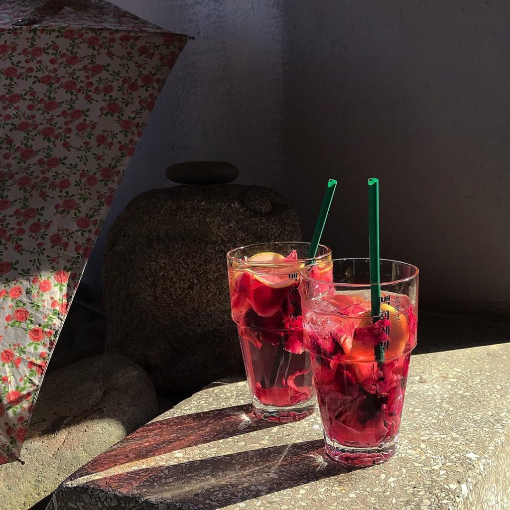 Cafe Byul Bed 별침대 Waveon Coffee 웨이브온커피 百花齊放 백화제방 森林咖啡廳 롶속 TERAROSA COFFEE 테라로사 午後的紅茶 오후의 홍차 RACOONAMATATA 라쿠나마타타 釜山 釜山cafe 釜山打卡cafe 釜山咖啡廳 釜山打卡咖啡廳 釜山咖啡店 釜山打卡咖啡店