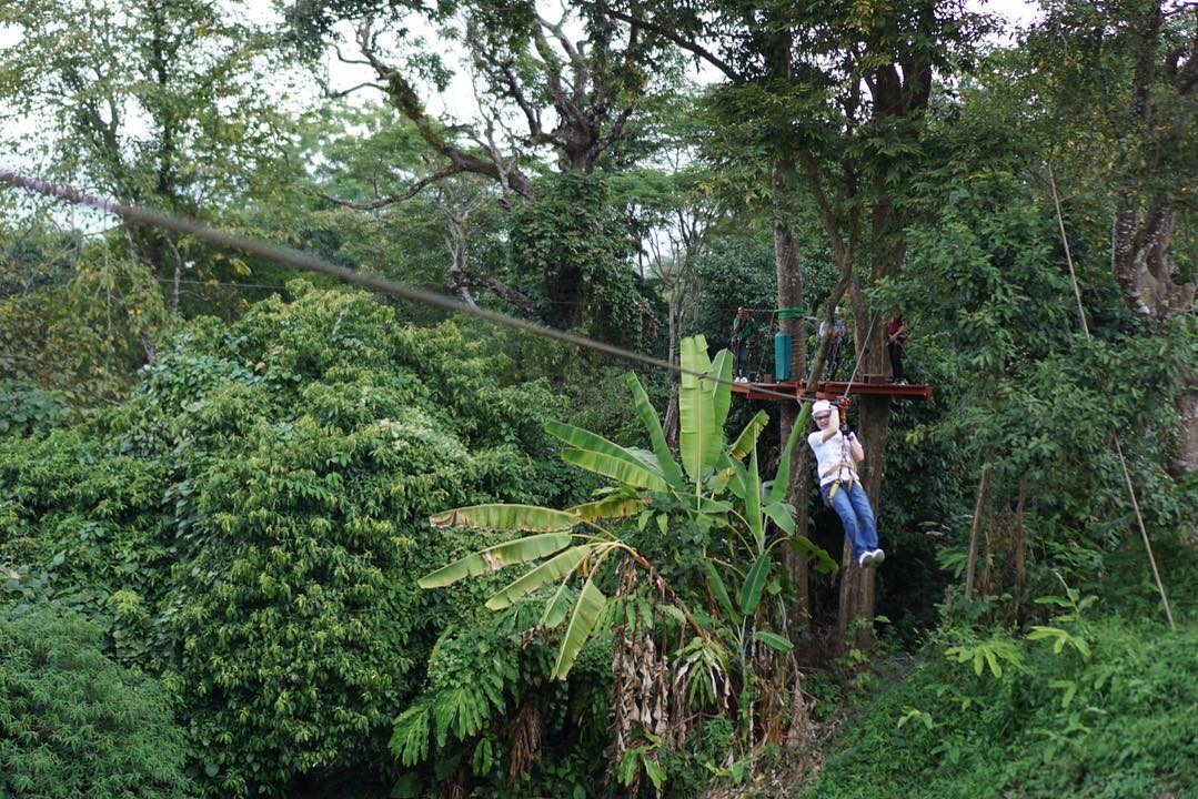 清萊 皇太后植物園 清萊 皇太后紀念館 清萊 皇太后行宮 Doi Tung Royal Villa 皇太后御花園 皇太后花園 Doi Tung Tree Top Walk Chiang Rai City Bus CR bus 清萊包車 清萊包車一日遊 清萊自駕遊 清萊一日遊 泰國清萊 泰北清萊 清邁 清萊 清邁 清萊 舊巴士總站 Chiang Rai Bus Terminal 1 Chiang Rai Bus Terminal 2 Chiang Rai 新巴士總站 清萊交通2019 清萊攻略2019 清萊自由行行程2019 清萊自由行行程推薦2019 清萊自由行2019 行程2019 清萊行程包2019 清萊懶人包2019 清萊好去處2019 清萊景點2019 清萊必到景點2019 清萊必去景點2019 清萊必到2019 清萊必去2019 清萊交通 清萊攻略 清萊自由行行程 清萊自由行行程推薦 清萊自由行 清萊行程 清萊行程包 清萊懶人包 清萊好去處 清萊景點 清萊必到景點 清萊必去景點 清萊必到 清萊必去 泰國 Thailand 泰北 泰北自由行 泰北景點 泰北必去景點 泰北好去處