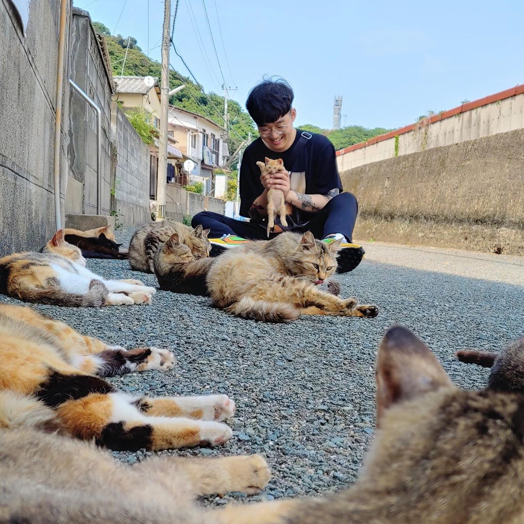 日本 日本兔島 日本貓島 兔島 貓島 狐狸村 萌 可愛 相島 あいのしま 福岡縣糟屋郡 福岡縣貓島 糟屋郡貓島 相島渡船場 相島餐廳 相島貓 相島交通2019 相島天氣 能古島相島 相島2018 相島地圖 丸山食堂相島 相島列車