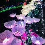 相模湖燈祭|日本 Japan 日本必食 日本必吃 日本必到 日本必去 日本必買 日本必掃 日本自由行 日本行程 日本行程包 日本懶人包 日本好去處 日本景點 日本必到景點 日本必去景點 日本美食 日本交通 日本攻略 日本自由行行程 日本自由行行程推薦 日本酒店 日本飯店 日本酒店推薦 日本飯店推薦 日本必住酒店 日本必住飯店 日本必食2019 日本必吃2019 日本必到2019 日本必去2019 日本必買2019 日本必掃2019 日本自由行2019 日本行程2019 日本行程包2019 日本懶人包2019 日本好去處2019 日本景點2019 日本必到景點2019 日本必去景點2019 日本美食2019 日本交通2019 日本攻略2019 日本自由行行程2019 日本自由行行程推薦2019 日本酒店2019 日本飯店2019 日本酒店推薦2019 日本飯店推薦2019 日本必住酒店2019 日本必住飯店2019 東京 Tokyo 東京必食 東京必吃 東京必到 東京必去 東京必買 東京必掃 東京自由行 東京行程 東京行程包 東京懶人包 東京好去處 東京景點 東京必到景點 東京必去景點 東京美食 東京交通 東京攻略 東京自由行行程 東京自由行行程推薦 東京酒店 東京飯店 東京酒店推薦 東京飯店推薦 東京必住酒店 東京必住飯店 東京必食2019 東京必吃2019 東京必到2019 東京必去2019 東京必買2019 東京必掃2019 東京自由行2019 東京行程2019 東京行程包2019 東京懶人包2019 東京好去處2019 東京景點2019 東京必到景點2019 東京必去景點2019 東京美食2019 東京交通2019 東京攻略2019 東京自由行行程2019 東京自由行行程推薦2019 東京酒店2019 東京飯店2019 東京酒店推薦2019 東京飯店推薦2019 東京必住酒店2019 東京必住飯店2019 東京聖誕 東京聖誕2019 東京聖誕燈飾 東京聖誕燈飾2019 東京聖誕2020 東京聖誕燈飾2020 日本聖誕 日本聖誕2019 日本聖誕燈飾 日本聖誕燈飾2019 日本聖誕2020 日本聖誕燈飾2020 關東聖誕 關東聖誕2019 關東聖誕燈飾 關東聖誕燈飾2019 關東聖誕2020 關東聖誕燈飾2020 讀賣樂園 讀賣樂園聖誕 讀賣樂園聖誕2019 讀賣樂園聖誕燈飾 讀賣樂園聖誕燈飾2019 讀賣樂園聖誕2020 讀賣樂園聖誕燈飾2020 讀賣寶石點燈祭(R)~珠寶奧林匹克~ 丸之內仲通 丸之內仲通聖誕 丸之內仲通聖誕2019 丸之內仲通聖誕燈飾 丸之內仲通聖誕燈飾2019 丸之內仲通聖誕2020 丸之內仲通聖誕燈飾2020 丸之內 Illumination 2019 新宿南口 新宿南口聖誕 新宿南口聖誕2019 新宿南口聖誕燈飾 新宿南口聖誕燈飾2019 新宿南口聖誕2020 新宿南口聖誕燈飾2020 新宿南口地區光之祭典 惠比壽花園廣場 惠比壽花園廣場聖誕 惠比壽花園廣場聖誕2019 惠比壽花園廣場聖誕燈飾 惠比壽花園廣場聖誕燈飾2019 惠比壽花園廣場聖誕2020 惠比壽花園廣場聖誕燈飾2020 惠比壽花園廣場聖誕燈飾 MIDTOWN MIDTOWN聖誕 MIDTOWN聖誕2019 MIDTOWN聖誕燈飾 MIDTOWN聖誕燈飾2019 MIDTOWN聖誕2020 MIDTOWN聖誕燈飾2020 MIDTOWN CHRISTMAS 2019 Caretta聖誕 Caretta聖誕2019 Caretta聖誕燈飾 Caretta聖誕燈飾2019 Caretta聖誕2020 Caretta聖誕燈飾2020 Caretta Illumination~阿拉伯之夜 橫濱紅磚倉庫 橫濱紅磚倉庫聖誕 橫濱紅磚倉庫聖誕2019 橫濱紅磚倉庫聖誕燈飾 橫濱紅磚倉庫聖誕燈飾2019 橫濱紅磚倉庫聖誕2020 橫濱紅磚倉庫聖誕燈飾2020 聖誕市集 in 橫濱紅磚倉庫 相模湖 相模湖聖誕 相模湖聖誕2019 相模湖聖誕燈飾 相模湖聖誕燈飾2019 相模湖聖誕2020 相模湖聖誕燈飾2020 相模湖燈祭 東京巨蛋 東京巨蛋聖誕 東京巨蛋聖誕2019 東京巨蛋聖誕燈飾 東京巨蛋聖誕燈飾2019 東京巨蛋聖誕2020 東京巨蛋聖誕燈飾2020 TOKYO Dome City Winter Illumination 大井競馬場聖誕 大井競馬場聖誕2019 大井競馬場聖誕燈飾 大井競馬場聖誕燈飾2019 大井競馬場聖誕2020 大井競馬場聖誕燈飾2020 東京光之大祭典 TOKYO MEGA ILLUMINATION
