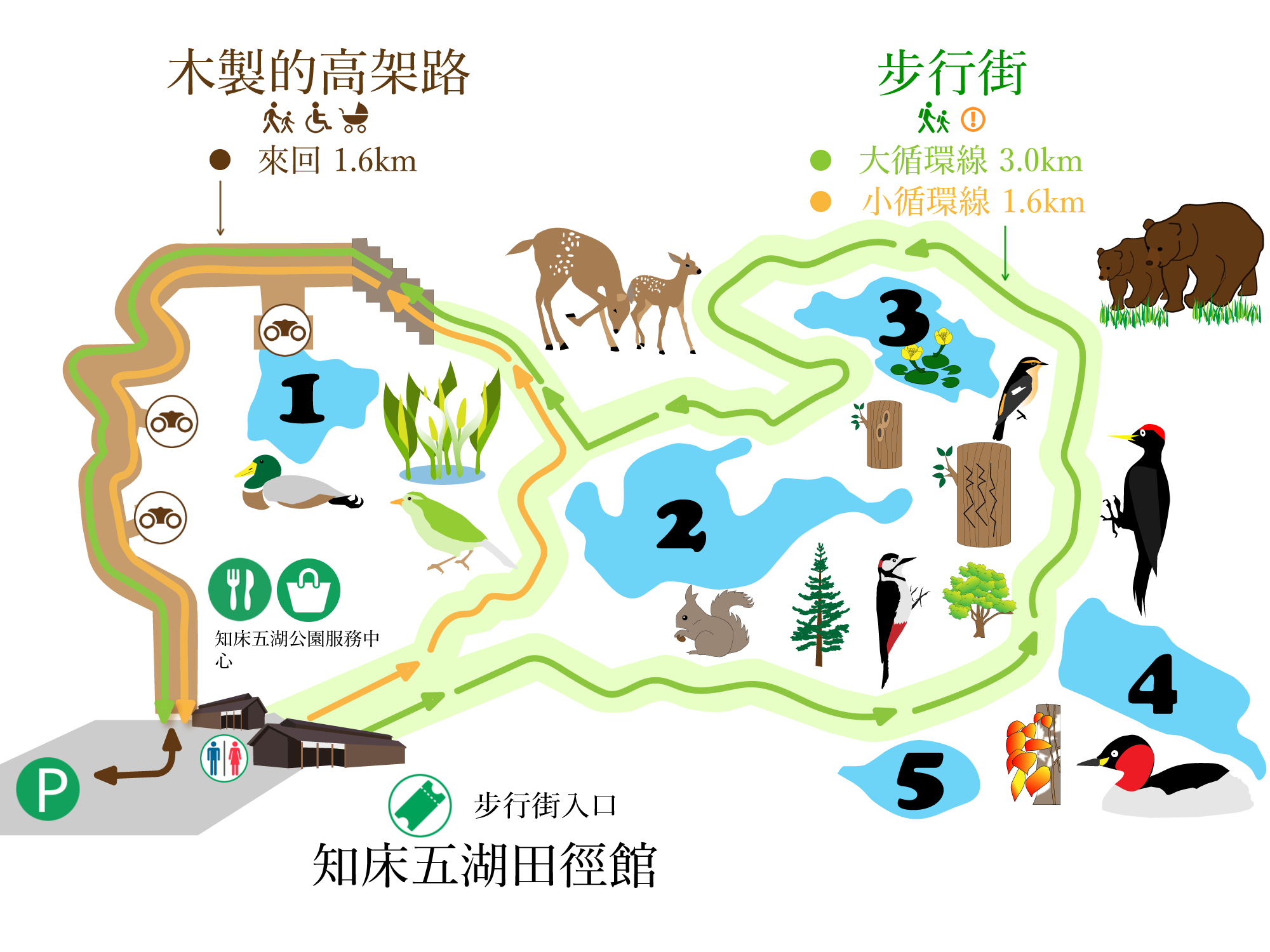 知床八景 北海道 知床 知床五湖 知床半島 地上遊步道 高架木道 北海道景點 北海道自由行 北海道自駕遊 北海道好去處 北海道必去 北海道必看