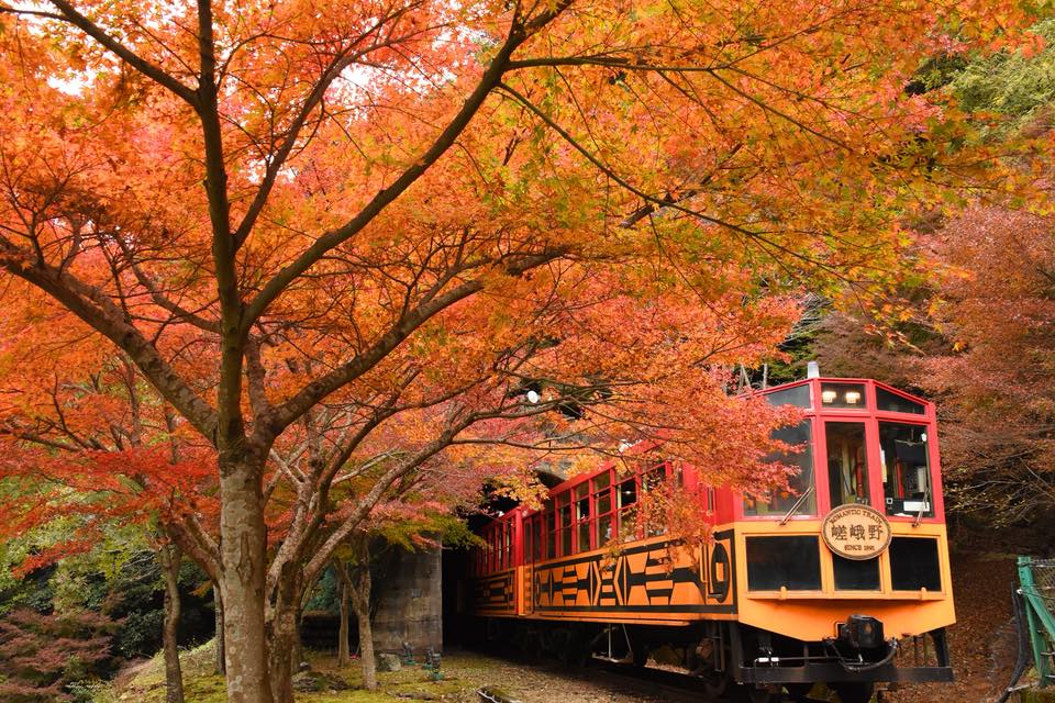 京都自由行！嵐山必去必玩必食清單！﹝嵯峨野小火車懶人包﹞