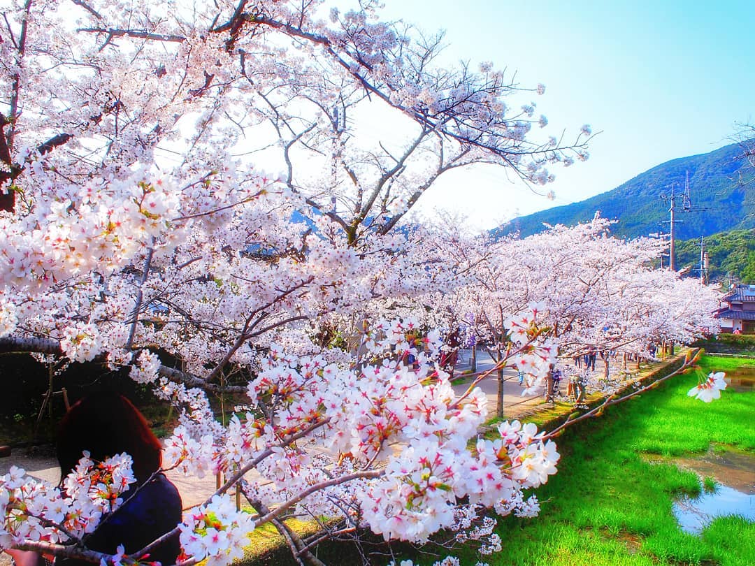 日本 Japan 日本必食 日本必吃 日本必到 日本必去 日本必買 日本必掃 日本自由行 日本行程 日本行程包 日本懶人包 日本好去處 日本景點 日本必到景點 日本美食 日本交通 日本攻略 日本自由行行程 日本自由行行程推薦 日本酒店 日本飯店 日本住宿 日本酒店推薦 日本飯店推薦 日本必住酒店 日本必住飯店 日本必食2019 日本必吃2019 日本必到2019 日本必去2019 日本必買2019 日本必掃2019 日本自由行2019 日本行程2019 日本行程包2019 日本懶人包2019 日本好去處2019 日本景點2019 日本必到景點2019 日本必去景點2019 日本美食2019 日本交通2019 日本攻略2019 日本自由行行程2019 日本自由行行程推薦2019 日本酒店2019 日本飯店2019 日本酒店推薦2019 日本飯店推薦2019 日本必住酒店2019 日本必住飯店2019 日本住宿2019 日本必食2020 日本必吃2020 日本必到2020 日本必去2020 日本必買2020 日本必掃2020 日本自由行2020 日本行程2020 日本行程包2020 日本懶人包2020 日本好去處2020 日本景點2020 日本必到景點2020 日本美食2020 日本交通2020 日本攻略2020 日本自由行行程2020 日本自由行行程推薦2020 日本酒店2020 日本飯店2020 日本住宿2020 日本酒店推薦2020 女飯店推薦2020 日本必住酒店2020 日本必住飯店2020 九州 Kyushu 九州必食 九州必吃 九州必到 九州必去 九州必買 九州必掃 九州自由行 行程 九州行程包 九州懶人包 九州好去處 九州景點 九州必到景點 九州美食 九州交通 九州攻略 九州自由行行程 九州自由行行程推薦 九州酒店 九州飯店 九州住宿 九州酒店推薦 九州飯店推薦 九州必住酒店 九州必住飯店 九州必食2019 九州必吃2019 九州必到2019 九州必去2019 九州必買2019 九州必掃2019 九州自由行2019 九州行程2019 九州行程包2019 九州懶人包2019 九州好去處2019 九州景點2019 九州必到景點2019 九州必去景點2019 九州美食2019 九州交通2019 九州攻略2019 九州自由行行程2019 九州自由行行程推薦2019 九州酒店2019 九州飯店2019 九州酒店推薦2019 九州飯店推薦2019 九州必住酒店2019 九州必住飯店2019 九州住宿2019 九州必食2020 九州必吃2020 九州必到2020 九州必去2020 九州必買2020 九州必掃2020 九州自由行2020 九州行程2020 九州行程包2020 九州懶人包2020 九州好去處2020 九州景點2020 九州必到景點2020 九州美食2020 九州交通2020 九州攻略2020 九州自由行行程2020 九州自由行行程推薦2020 九州酒店2020 九州飯店2020 九州住宿2020 九州酒店推薦2020 九州飯店推薦2020 九州必住酒店2020 九州必住飯店2020 大分 Oita 大分必食 大分必吃 大分必到 大分必去 大分必買 大分必掃 大分自由行 大分行程 大分行程包 大分懶人包 大分好去處 大分景點 大分必到景點 大分美食 大分交通 大分攻略 大分自由行行程 大分自由行行程推薦 大分酒店 大分飯店 大分住宿 大分酒店推薦 大分飯店推薦 大分必住酒店 大分必住飯店 大分必食2019 大分必吃2019 大分必到2019 大分必去2019 大分必買2019 大分必掃2019 大分自由行2019 大分行程2019 大分行程包2019 大分懶人包2019 大分好去處2019 大分景點2019 大分必到景點2019 大分必去景點2019大分 美食2019 大分交通2019 大分攻略2019 大分自由行行程2019 大分自由行行程推薦2019 大分酒店2019大分 飯店2019 大分酒店推薦2019 大分飯店推薦2019 大分必住酒店2019 大分必住飯店2019 大分住宿2019 大分必食2020 大分必吃2020 大分必到2020 大分必去2020 大分必買2020 大分必掃2020 大分自由行2020 大分行程2020 大分行程包2020 大分懶人包2020 大分好去處2020 大分景點2020 大分必到景點2020 大分美食2020 大分交通2020 大分攻略2020 大分自由行行程2020 大分自由行行程推薦2020 大分酒店2020 大分飯店2020 大分住宿2020 大分酒店推薦2020 大分飯店推薦2020 大分必住酒店2020 大分必住飯店2020 鹿兒島 Kagoshima 鹿兒島必食 鹿兒島必吃 鹿兒島必到 鹿兒島必去 鹿兒島必買 鹿兒島必掃 鹿兒島自由行 鹿兒島行程 鹿兒島行程包 鹿兒島懶人包 鹿兒島好去處 鹿兒島景點 鹿兒島必到景點 鹿兒島美食 鹿兒島交通 鹿兒島攻略 鹿兒島自由行行程鹿兒島 自由行行程推薦 鹿兒島酒店 鹿兒島飯店 鹿兒島住宿 鹿兒島酒店推薦 鹿兒島飯店推薦 鹿兒島必住酒店 鹿兒島必住飯店 鹿兒島必食2019 鹿兒島必吃2019 鹿兒島必到2019 鹿兒島必去2019 鹿兒島必買2019 鹿兒島必掃2019 鹿兒島自由行2019 鹿兒島行程2019 鹿兒島行程包2019 鹿兒島懶人包2019 鹿兒島好去處2019 鹿兒島景點2019 鹿兒島必到景點2019 鹿兒島必去景點2019 鹿兒島美食2019 鹿兒島交通2019 鹿兒島攻略2019 鹿兒島自由行行程2019 鹿兒島自由行行程推薦2019 鹿兒島酒店2019 鹿兒島飯店2019 鹿兒島酒店推薦2019 鹿兒島飯店推薦2019 鹿兒島必住酒店2019 鹿兒島必住飯店2019 鹿兒島住宿2019 鹿兒島必食2020 鹿兒島必吃2020 鹿兒島必到2020 鹿兒島必去2020 鹿兒島必買2020 鹿兒島必掃2020 鹿兒島自由行2020 鹿兒島行程2020 鹿兒島行程包2020 鹿兒島懶人包2020 鹿兒島好去處2020 鹿兒島景點2020 鹿兒島必到景點2020 鹿兒島美食2020 鹿兒島交通2020 鹿兒島攻略2020 鹿兒島自由行行程2020 鹿兒島自由行行程推薦2020 鹿兒島酒店2020鹿兒島飯店2020 鹿兒島住宿2020 鹿兒島酒店推薦2020 鹿兒島飯店推薦2020 鹿兒島必住酒店2020 鹿兒島必住飯店2020 長崎 Nagasaki 長崎必食長崎 必吃 長崎必到 長崎必去 長崎必買 長崎必掃 長崎自由行 長崎行程 長崎行程包 長崎懶人包 長崎好去處 長崎景點 長崎必到景點 長崎美食 長崎交通 長崎攻略 長崎自由行行程 長崎自由行行程推薦 長崎酒店 長崎飯店 長崎住宿 長崎酒店推薦 長崎飯店推薦 長崎必住酒店 長崎必住飯店 長崎必食2019 長崎必吃2019 長崎必到2019 長崎必去2019 長崎必買2019 長崎必掃2019 長崎自由行2019 長崎行程2019 長崎行程包2019 長崎懶人包2019 長崎好去處2019 長崎景點2019 長崎必到景點2019 長崎必去景點2019 長崎美食2019 長崎交通2019 長崎攻略2019 長崎自由行行程2019 長崎自由行行程推薦2019 長崎酒店2019 長崎飯店2019 長崎酒店推薦2019 長崎飯店推薦2019 長崎必住酒店2019 長崎必住飯店2019 長崎住宿2019 長崎必食2020 長崎必吃2020 長崎必到2020 長崎必去2020 長崎必買2020 長崎必掃2020 長崎自由行2020 長崎行程2020 長崎行程包2020 長崎懶人包2020 長崎好去處2020 長崎景點2020 長崎必到景點2020 長崎美食2020 長崎交通2020 長崎攻略2020 長崎自由行行程2020 長崎自由行行程推薦2020 長崎酒店2020 長崎飯店2020 長崎住宿2020 長崎酒店推薦2020 長崎飯店推薦2020 長崎必住酒店2020 長崎必住飯店2020 福岡 Hakata 福岡必食 福岡必吃 福岡必到 福岡必去 福岡必買 福岡必掃 福岡自由行 福岡行程 福岡行程包 福岡懶人包 福岡好去處 福岡景點 福岡必到景點 福岡美食 福岡交通 福岡攻略 福岡自由行行程 福岡自由行行程推薦 福岡酒店 福岡飯店 福岡住宿 福岡酒店推薦 福岡飯店推薦 福岡必住酒店 福岡必住飯店 福岡必食2019 福岡必吃2019 福岡必到2019 福岡必去2019 福岡必買2019 福岡必掃2019 福岡自由行2019 福岡行程2019 福岡行程包2019 福岡懶人包2019 福岡好去處2019 福岡景點2019 福岡必到景點2019 福岡必去景點2019 福岡美食2019 福岡交通2019 福岡攻略2019 福岡自由行行程2019 福岡自由行行程推薦2019 福岡酒店2019 福岡飯店2019 福岡酒店推薦2019 福岡飯店推薦2019 福岡必住酒店2019 福岡必住飯店2019 福岡住宿2019 福岡必食2020 福岡必吃2020 福岡必到2020 福岡必去2020 福岡必買2020 福岡必掃2020 福岡自由行2020 福岡行程2020 福岡行程包2020 福岡懶人包2020 福岡好去處2020 福岡景點2020 福岡必到景點2020 福岡美食2020 福岡交通2020 福岡攻略2020 福岡自由行行程2020 福岡自由行行程推薦2020 福岡酒店2020 福岡飯店2020 福岡住宿2020 福岡酒店推薦2020 福岡飯店推薦2020 福岡必住酒店2020 福岡必住飯店2020 熊本 Kumamoto 熊本必食 熊本必吃 熊本必到 熊本必去 熊本必買 熊本必掃 熊本自由行 熊本行程 熊本行程包 熊本懶人包 熊本好去處 熊本景點 熊本必到景點 熊本美食 熊本交通 熊本攻略 熊本自由行行程 熊本自由行行程推薦 熊本酒店 熊本飯店 熊本住宿 熊本酒店推薦 熊本飯店推薦 熊本必住酒店 熊本必住飯店 熊本必食2019 熊本必吃2019 熊本必到2019 熊本必去2019 熊本必買2019 熊本必掃2019 熊本自由行2019 熊本行程2019 熊本行程包2019 熊本懶人包2019 熊本好去處2019 熊本景點2019 熊本必到景點2019 熊本必去景點2019 熊本美食2019 熊本交通2019 熊本攻略2019 熊本自由行行程2019 熊本自由行行程推薦2019 熊本酒店2019 熊本飯店2019 熊本酒店推薦2019 熊本飯店推薦2019 熊本必住酒店2019 熊本必住飯店2019 住宿2019 熊本必食2020 熊本必吃2020 熊本必到2020 熊本必去2020 熊本必買2020 熊本必掃2020 熊本自由行2020 熊本行程2020 熊本行程包2020 熊本懶人包2020 熊本好去處2020 熊本景點2020 熊本必到景點2020 熊本美食2020 熊本交通2020 熊本攻略2020 熊本自由行行程2020 熊本自由行行程推薦2020 熊本酒店2020 熊本飯店2020 熊本住宿2020 熊本酒店推薦2020 熊本飯店推薦2020 熊本必住酒店2020 熊本必住飯店2020 佐賀 Saga 佐賀必食 佐賀必吃 佐賀必到 佐賀必去 佐賀必買 佐賀必掃 佐賀自由行 佐賀行程 佐賀行程包 佐賀懶人包 佐賀好去處 佐賀景點 佐賀必到景點 佐賀美食 佐賀交通 佐賀攻略 佐賀自由行行程 佐賀自由行行程推薦 佐賀酒店 佐賀飯店 佐賀住宿 佐賀酒店推薦 佐賀飯店推薦 佐賀必住酒店 佐賀必住飯店 佐賀必食2019 佐賀必吃2019 佐賀必到2019 佐賀必去2019 佐賀必買2019 佐賀必掃2019 佐賀自由行2019 佐賀行程2019 佐賀行程包2019 佐賀懶人包2019 佐賀好去處2019 佐賀景點2019 佐賀必到景點2019 佐賀必去景點2019 佐賀美食2019 佐賀交通2019 佐賀攻略2019 佐賀自由行行程2019 佐賀自由行行程推薦2019 佐賀酒店2019 佐賀飯店2019 佐賀酒店推薦2019 佐賀飯店推薦2019 佐賀必住酒店2019 佐賀必住飯店2019 佐賀住宿2019 佐賀必食2020 佐賀必吃2020 佐賀必到2020 佐賀必去2020 佐賀必買2020 佐賀必掃2020 佐賀自由行2020 佐賀行程2020 佐賀行程包2020 佐賀懶人包2020 佐賀好去處2020 佐賀景點2020 佐賀必到景點2020 佐賀美食2020 佐賀交通2020 佐賀攻略2020 佐賀自由行行程2020 佐賀自由行行程推薦2020 佐賀酒店2020 佐賀飯店2020 佐賀住宿2020 佐賀酒店推薦2020 佐賀飯店推薦2020 佐賀必住酒店2020 佐賀必住飯店2020 宮崎 Miyazaki 宮崎必食 宮崎必吃 宮崎必到 宮崎必去 宮崎必買 宮崎必掃 宮崎自由行 宮崎行程 宮崎行程包 宮崎懶人包 宮崎好去處 宮崎景點 宮崎必到景點 宮崎美食 宮崎交通 宮崎攻略 宮崎自由行行程 宮崎自由行行程推薦 宮崎酒店 宮崎飯店 宮崎住宿 宮崎酒店推薦 宮崎飯店推薦 宮崎必住酒店 宮崎必住飯店 宮崎必食2019 宮崎必吃2019 宮崎必到2019 宮崎必去2019 宮崎必買2019 宮崎必掃2019 宮崎自由行2019 宮崎行程2019 宮崎行程包2019 宮崎懶人包2019 宮崎好去處2019 宮崎景點2019 宮崎必到景點2019 宮崎必去景點2019 宮崎美食2019 宮崎交通2019 宮崎攻略2019 宮崎自由行行程2019 宮崎自由行行程推薦2019 宮崎酒店2019 宮崎飯店2019 宮崎酒店推薦2019 宮崎飯店推薦2019 宮崎必住酒店2019 宮崎必住飯店2019 宮崎住宿2019 宮崎必食2020 宮崎必吃2020 宮崎必到2020 宮崎必去2020 宮崎必買2020 宮崎必掃2020 宮崎自由行2020 宮崎行程2020 宮崎行程包2020 宮崎懶人包2020 宮崎好去處2020 宮崎景點2020 宮崎必到景點2020 宮崎美食2020 宮崎交通2020 宮崎攻略2020 宮崎自由行行程2020 宮崎自由行行程推薦2020 宮崎酒店2020 宮崎飯店2020 宮崎住宿2020 宮崎酒店推薦2020 宮崎飯店推薦2020 宮崎必住酒店2020 宮崎必住飯店2020 舞鶴公園 西公園 甘木公園 丸山公園 淺井的一本櫻 浅井の一本桜 秋月杉之馬場 秋月杉の馬場 小倉城勝山公園 勝山公園 一心行大櫻 一心行の大桜 水前寺成趣園 仙巖園 仙巌園 御船山樂園 御船山楽園 小城公園 母智丘公園 岡城跡 大村公園 日本櫻花 日本櫻花景點 日本賞櫻 日本櫻花攻略 日本賞櫻攻略 日本櫻花2020 日本櫻花景點2020 日本賞櫻2020 日本櫻花攻略2020 日本賞櫻攻略2020 福岡櫻花 福岡櫻花景點 福岡賞櫻 福岡櫻花攻略 福岡賞櫻攻略 福岡櫻花2020 福岡櫻花景點2020 福岡賞櫻2020 福岡櫻花攻略2020 福岡賞櫻攻略2020 熊本櫻花 熊本櫻花景點 熊本賞櫻 熊本櫻花攻略 熊本賞櫻攻略 熊本櫻花2020 熊本櫻花景點2020 熊本賞櫻2020 熊本櫻花攻略2020 熊本賞櫻攻略2020 鹿兒島櫻花 鹿兒島櫻花景點 鹿兒島賞櫻 鹿兒島櫻花攻略 鹿兒島賞櫻攻略 鹿兒島櫻花2020 鹿兒島櫻花景點2020 鹿兒島賞櫻2020 鹿兒島櫻花攻略2020 鹿兒島賞櫻攻略2020 佐賀櫻花 佐賀櫻花景點 佐賀賞櫻 佐賀櫻花攻略 佐賀賞櫻攻略 佐賀櫻花2020 佐賀櫻花景點2020 佐賀賞櫻2020 佐賀櫻花攻略2020 佐賀賞櫻攻略2020 宮崎櫻花 宮崎櫻花景點 宮崎賞櫻 宮崎櫻花攻略 宮崎賞櫻攻略 宮崎櫻花2020 宮崎櫻花景點2020 宮崎賞櫻2020 宮崎櫻花攻略2020 宮崎賞櫻攻略2020 大分櫻花 大分櫻花景點 大分賞櫻 大分櫻花攻略 大分賞櫻攻略 大分櫻花2020 大分櫻花景點2020 大分賞櫻2020 大分櫻花攻略2020 大分賞櫻攻略2020 長崎櫻花 長崎櫻花景點 長崎賞櫻 長崎櫻花攻略 長崎賞櫻攻略 長崎櫻花2020 長崎櫻花景點2020 長崎賞櫻2020 長崎櫻花攻略2020 長崎賞櫻攻略2020 舞鶴公園2019 舞鶴公園楓葉 舞鶴公園櫻花 舞鶴公園紅葉 舞鶴公園9月 舞鶴公園1月 舞鶴公園夜櫻 舞鶴公園交通 舞鶴公園12月 舞鶴公園英文 西公園櫻花2019 西公園仙台 西公園紅葉 福岡西公園櫻花 舞鶴公園 大濠公園 西公園交通 大濠公園美食 福岡城大濠公園 博多到大濠公園 甘木公園櫻花 甘木公園交通 舞鶴公園 福岡櫻花時間 舞鶴公園櫻花2019 福岡賞櫻時間 甘木觀光巴士 福岡櫻花2020 舞鶴公園夜櫻 福岡賞櫻2019 福岡櫻花時間 福岡櫻花2019 福岡櫻花祭 長崎櫻花2019 岡山櫻花2019 福岡絕景 櫻花季節 輕井澤櫻花 青森櫻花2019 日光櫻花2019 秋月日本 秋月城跡午餐 秋月城舊址 秋月城跡黑門 秋月城舊址交通 朝倉市美食 福岡秋月城跡賞楓 秋月城跡開放時間 秋月城跡楓葉 秋月城跡自駕 勝山公園紅葉 勝山公園楓葉 勝山公園櫻花 勝山公園停車場 小倉城 竉門神社 小倉城晚上 小倉城開放時間 福岡夜楓 一心行大櫻2019 白川水源 南阿蘇景點 白川水源2018 阿蘇景點2018 阿蘇地圖 熊本絕景 阿蘇山9月 阿蘇火山10月 草千里10月 水前寺成趣園紅葉 水前寺成趣園2019 水前寺成趣園必買 水前寺成趣園停留時間 水前寺成趣園冬天 水前寺成趣園停車 水前寺成趣園美食 水前寺成趣園抹茶 水前寺成趣園mapcode 水前寺成趣園楓葉 仙巖園停留時間 仙巖園和服 仙巖園紅葉 仙巖園星巴克 仙巖園貓神社 仙巖園世界遺產 仙巖園茶寮 仙巖園mapcode 仙巖園2018 仙巖園公車 御船山樂園2019 御船山樂園teamlab 御船山樂園值得去嗎 御船山樂園門票 御船山樂園櫻花 御船山樂園teamlab 2019 御船山樂園hotel 御船山樂園紅葉祭2019 佐賀御船山樂園teamlab 御船山樂園酒店blog 佐賀小城 小城景點 舞鶴公園 御船山樂園 佐賀小城景點 母智丘公園交通 岡城跡交通 岡城跡櫻花 岡城跡紅葉 大分縣岡城跡 岡城跡賞楓 岡城跡楓葉 岡城交通 岡城櫻花祭 豐後竹田車站 豐後景點 大村公園櫻花2019 大村公園2019 大村公園巴士 大村公園mapcode omura park大村公園 長崎大村公園櫻花2019 彰化大村公園 九州大村 大村公園玖島城跡 大村市景點