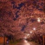 日本 Japan 日本必食 日本必吃 日本必到 日本必去 日本必買 日本必掃 日本自由行 日本行程 日本行程包 日本懶人包 日本好去處 日本景點 日本必到景點 日本美食 日本交通 日本攻略 日本自由行行程 日本自由行行程推薦 日本酒店 日本飯店 日本住宿 日本酒店推薦 日本飯店推薦 日本必住酒店 日本必住飯店 日本必食2019 日本必吃2019 日本必到2019 日本必去2019 日本必買2019 日本必掃2019 日本自由行2019 日本行程2019 日本行程包2019 日本懶人包2019 日本好去處2019 日本景點2019 日本必到景點2019 日本必去景點2019 日本美食2019 日本交通2019 日本攻略2019 日本自由行行程2019 日本自由行行程推薦2019 日本酒店2019 日本飯店2019 日本酒店推薦2019 日本飯店推薦2019 日本必住酒店2019 日本必住飯店2019 日本住宿2019 日本必食2020 日本必吃2020 日本必到2020 日本必去2020 日本必買2020 日本必掃2020 日本自由行2020 日本行程2020 日本行程包2020 日本懶人包2020 日本好去處2020 日本景點2020 日本必到景點2020 日本美食2020 日本交通2020 日本攻略2020 日本自由行行程2020 日本自由行行程推薦2020 日本酒店2020 日本飯店2020 日本住宿2020 日本酒店推薦2020 女飯店推薦2020 日本必住酒店2020 日本必住飯店2020 九州 Kyushu 九州必食 九州必吃 九州必到 九州必去 九州必買 九州必掃 九州自由行 行程 九州行程包 九州懶人包 九州好去處 九州景點 九州必到景點 九州美食 九州交通 九州攻略 九州自由行行程 九州自由行行程推薦 九州酒店 九州飯店 九州住宿 九州酒店推薦 九州飯店推薦 九州必住酒店 九州必住飯店 九州必食2019 九州必吃2019 九州必到2019 九州必去2019 九州必買2019 九州必掃2019 九州自由行2019 九州行程2019 九州行程包2019 九州懶人包2019 九州好去處2019 九州景點2019 九州必到景點2019 九州必去景點2019 九州美食2019 九州交通2019 九州攻略2019 九州自由行行程2019 九州自由行行程推薦2019 九州酒店2019 九州飯店2019 九州酒店推薦2019 九州飯店推薦2019 九州必住酒店2019 九州必住飯店2019 九州住宿2019 九州必食2020 九州必吃2020 九州必到2020 九州必去2020 九州必買2020 九州必掃2020 九州自由行2020 九州行程2020 九州行程包2020 九州懶人包2020 九州好去處2020 九州景點2020 九州必到景點2020 九州美食2020 九州交通2020 九州攻略2020 九州自由行行程2020 九州自由行行程推薦2020 九州酒店2020 九州飯店2020 九州住宿2020 九州酒店推薦2020 九州飯店推薦2020 九州必住酒店2020 九州必住飯店2020 大分 Oita 大分必食 大分必吃 大分必到 大分必去 大分必買 大分必掃 大分自由行 大分行程 大分行程包 大分懶人包 大分好去處 大分景點 大分必到景點 大分美食 大分交通 大分攻略 大分自由行行程 大分自由行行程推薦 大分酒店 大分飯店 大分住宿 大分酒店推薦 大分飯店推薦 大分必住酒店 大分必住飯店 大分必食2019 大分必吃2019 大分必到2019 大分必去2019 大分必買2019 大分必掃2019 大分自由行2019 大分行程2019 大分行程包2019 大分懶人包2019 大分好去處2019 大分景點2019 大分必到景點2019 大分必去景點2019大分 美食2019 大分交通2019 大分攻略2019 大分自由行行程2019 大分自由行行程推薦2019 大分酒店2019大分 飯店2019 大分酒店推薦2019 大分飯店推薦2019 大分必住酒店2019 大分必住飯店2019 大分住宿2019 大分必食2020 大分必吃2020 大分必到2020 大分必去2020 大分必買2020 大分必掃2020 大分自由行2020 大分行程2020 大分行程包2020 大分懶人包2020 大分好去處2020 大分景點2020 大分必到景點2020 大分美食2020 大分交通2020 大分攻略2020 大分自由行行程2020 大分自由行行程推薦2020 大分酒店2020 大分飯店2020 大分住宿2020 大分酒店推薦2020 大分飯店推薦2020 大分必住酒店2020 大分必住飯店2020 鹿兒島 Kagoshima 鹿兒島必食 鹿兒島必吃 鹿兒島必到 鹿兒島必去 鹿兒島必買 鹿兒島必掃 鹿兒島自由行 鹿兒島行程 鹿兒島行程包 鹿兒島懶人包 鹿兒島好去處 鹿兒島景點 鹿兒島必到景點 鹿兒島美食 鹿兒島交通 鹿兒島攻略 鹿兒島自由行行程鹿兒島 自由行行程推薦 鹿兒島酒店 鹿兒島飯店 鹿兒島住宿 鹿兒島酒店推薦 鹿兒島飯店推薦 鹿兒島必住酒店 鹿兒島必住飯店 鹿兒島必食2019 鹿兒島必吃2019 鹿兒島必到2019 鹿兒島必去2019 鹿兒島必買2019 鹿兒島必掃2019 鹿兒島自由行2019 鹿兒島行程2019 鹿兒島行程包2019 鹿兒島懶人包2019 鹿兒島好去處2019 鹿兒島景點2019 鹿兒島必到景點2019 鹿兒島必去景點2019 鹿兒島美食2019 鹿兒島交通2019 鹿兒島攻略2019 鹿兒島自由行行程2019 鹿兒島自由行行程推薦2019 鹿兒島酒店2019 鹿兒島飯店2019 鹿兒島酒店推薦2019 鹿兒島飯店推薦2019 鹿兒島必住酒店2019 鹿兒島必住飯店2019 鹿兒島住宿2019 鹿兒島必食2020 鹿兒島必吃2020 鹿兒島必到2020 鹿兒島必去2020 鹿兒島必買2020 鹿兒島必掃2020 鹿兒島自由行2020 鹿兒島行程2020 鹿兒島行程包2020 鹿兒島懶人包2020 鹿兒島好去處2020 鹿兒島景點2020 鹿兒島必到景點2020 鹿兒島美食2020 鹿兒島交通2020 鹿兒島攻略2020 鹿兒島自由行行程2020 鹿兒島自由行行程推薦2020 鹿兒島酒店2020鹿兒島飯店2020 鹿兒島住宿2020 鹿兒島酒店推薦2020 鹿兒島飯店推薦2020 鹿兒島必住酒店2020 鹿兒島必住飯店2020 長崎 Nagasaki 長崎必食長崎 必吃 長崎必到 長崎必去 長崎必買 長崎必掃 長崎自由行 長崎行程 長崎行程包 長崎懶人包 長崎好去處 長崎景點 長崎必到景點 長崎美食 長崎交通 長崎攻略 長崎自由行行程 長崎自由行行程推薦 長崎酒店 長崎飯店 長崎住宿 長崎酒店推薦 長崎飯店推薦 長崎必住酒店 長崎必住飯店 長崎必食2019 長崎必吃2019 長崎必到2019 長崎必去2019 長崎必買2019 長崎必掃2019 長崎自由行2019 長崎行程2019 長崎行程包2019 長崎懶人包2019 長崎好去處2019 長崎景點2019 長崎必到景點2019 長崎必去景點2019 長崎美食2019 長崎交通2019 長崎攻略2019 長崎自由行行程2019 長崎自由行行程推薦2019 長崎酒店2019 長崎飯店2019 長崎酒店推薦2019 長崎飯店推薦2019 長崎必住酒店2019 長崎必住飯店2019 長崎住宿2019 長崎必食2020 長崎必吃2020 長崎必到2020 長崎必去2020 長崎必買2020 長崎必掃2020 長崎自由行2020 長崎行程2020 長崎行程包2020 長崎懶人包2020 長崎好去處2020 長崎景點2020 長崎必到景點2020 長崎美食2020 長崎交通2020 長崎攻略2020 長崎自由行行程2020 長崎自由行行程推薦2020 長崎酒店2020 長崎飯店2020 長崎住宿2020 長崎酒店推薦2020 長崎飯店推薦2020 長崎必住酒店2020 長崎必住飯店2020 福岡 Hakata 福岡必食 福岡必吃 福岡必到 福岡必去 福岡必買 福岡必掃 福岡自由行 福岡行程 福岡行程包 福岡懶人包 福岡好去處 福岡景點 福岡必到景點 福岡美食 福岡交通 福岡攻略 福岡自由行行程 福岡自由行行程推薦 福岡酒店 福岡飯店 福岡住宿 福岡酒店推薦 福岡飯店推薦 福岡必住酒店 福岡必住飯店 福岡必食2019 福岡必吃2019 福岡必到2019 福岡必去2019 福岡必買2019 福岡必掃2019 福岡自由行2019 福岡行程2019 福岡行程包2019 福岡懶人包2019 福岡好去處2019 福岡景點2019 福岡必到景點2019 福岡必去景點2019 福岡美食2019 福岡交通2019 福岡攻略2019 福岡自由行行程2019 福岡自由行行程推薦2019 福岡酒店2019 福岡飯店2019 福岡酒店推薦2019 福岡飯店推薦2019 福岡必住酒店2019 福岡必住飯店2019 福岡住宿2019 福岡必食2020 福岡必吃2020 福岡必到2020 福岡必去2020 福岡必買2020 福岡必掃2020 福岡自由行2020 福岡行程2020 福岡行程包2020 福岡懶人包2020 福岡好去處2020 福岡景點2020 福岡必到景點2020 福岡美食2020 福岡交通2020 福岡攻略2020 福岡自由行行程2020 福岡自由行行程推薦2020 福岡酒店2020 福岡飯店2020 福岡住宿2020 福岡酒店推薦2020 福岡飯店推薦2020 福岡必住酒店2020 福岡必住飯店2020 熊本 Kumamoto 熊本必食 熊本必吃 熊本必到 熊本必去 熊本必買 熊本必掃 熊本自由行 熊本行程 熊本行程包 熊本懶人包 熊本好去處 熊本景點 熊本必到景點 熊本美食 熊本交通 熊本攻略 熊本自由行行程 熊本自由行行程推薦 熊本酒店 熊本飯店 熊本住宿 熊本酒店推薦 熊本飯店推薦 熊本必住酒店 熊本必住飯店 熊本必食2019 熊本必吃2019 熊本必到2019 熊本必去2019 熊本必買2019 熊本必掃2019 熊本自由行2019 熊本行程2019 熊本行程包2019 熊本懶人包2019 熊本好去處2019 熊本景點2019 熊本必到景點2019 熊本必去景點2019 熊本美食2019 熊本交通2019 熊本攻略2019 熊本自由行行程2019 熊本自由行行程推薦2019 熊本酒店2019 熊本飯店2019 熊本酒店推薦2019 熊本飯店推薦2019 熊本必住酒店2019 熊本必住飯店2019 住宿2019 熊本必食2020 熊本必吃2020 熊本必到2020 熊本必去2020 熊本必買2020 熊本必掃2020 熊本自由行2020 熊本行程2020 熊本行程包2020 熊本懶人包2020 熊本好去處2020 熊本景點2020 熊本必到景點2020 熊本美食2020 熊本交通2020 熊本攻略2020 熊本自由行行程2020 熊本自由行行程推薦2020 熊本酒店2020 熊本飯店2020 熊本住宿2020 熊本酒店推薦2020 熊本飯店推薦2020 熊本必住酒店2020 熊本必住飯店2020 佐賀 Saga 佐賀必食 佐賀必吃 佐賀必到 佐賀必去 佐賀必買 佐賀必掃 佐賀自由行 佐賀行程 佐賀行程包 佐賀懶人包 佐賀好去處 佐賀景點 佐賀必到景點 佐賀美食 佐賀交通 佐賀攻略 佐賀自由行行程 佐賀自由行行程推薦 佐賀酒店 佐賀飯店 佐賀住宿 佐賀酒店推薦 佐賀飯店推薦 佐賀必住酒店 佐賀必住飯店 佐賀必食2019 佐賀必吃2019 佐賀必到2019 佐賀必去2019 佐賀必買2019 佐賀必掃2019 佐賀自由行2019 佐賀行程2019 佐賀行程包2019 佐賀懶人包2019 佐賀好去處2019 佐賀景點2019 佐賀必到景點2019 佐賀必去景點2019 佐賀美食2019 佐賀交通2019 佐賀攻略2019 佐賀自由行行程2019 佐賀自由行行程推薦2019 佐賀酒店2019 佐賀飯店2019 佐賀酒店推薦2019 佐賀飯店推薦2019 佐賀必住酒店2019 佐賀必住飯店2019 佐賀住宿2019 佐賀必食2020 佐賀必吃2020 佐賀必到2020 佐賀必去2020 佐賀必買2020 佐賀必掃2020 佐賀自由行2020 佐賀行程2020 佐賀行程包2020 佐賀懶人包2020 佐賀好去處2020 佐賀景點2020 佐賀必到景點2020 佐賀美食2020 佐賀交通2020 佐賀攻略2020 佐賀自由行行程2020 佐賀自由行行程推薦2020 佐賀酒店2020 佐賀飯店2020 佐賀住宿2020 佐賀酒店推薦2020 佐賀飯店推薦2020 佐賀必住酒店2020 佐賀必住飯店2020 宮崎 Miyazaki 宮崎必食 宮崎必吃 宮崎必到 宮崎必去 宮崎必買 宮崎必掃 宮崎自由行 宮崎行程 宮崎行程包 宮崎懶人包 宮崎好去處 宮崎景點 宮崎必到景點 宮崎美食 宮崎交通 宮崎攻略 宮崎自由行行程 宮崎自由行行程推薦 宮崎酒店 宮崎飯店 宮崎住宿 宮崎酒店推薦 宮崎飯店推薦 宮崎必住酒店 宮崎必住飯店 宮崎必食2019 宮崎必吃2019 宮崎必到2019 宮崎必去2019 宮崎必買2019 宮崎必掃2019 宮崎自由行2019 宮崎行程2019 宮崎行程包2019 宮崎懶人包2019 宮崎好去處2019 宮崎景點2019 宮崎必到景點2019 宮崎必去景點2019 宮崎美食2019 宮崎交通2019 宮崎攻略2019 宮崎自由行行程2019 宮崎自由行行程推薦2019 宮崎酒店2019 宮崎飯店2019 宮崎酒店推薦2019 宮崎飯店推薦2019 宮崎必住酒店2019 宮崎必住飯店2019 宮崎住宿2019 宮崎必食2020 宮崎必吃2020 宮崎必到2020 宮崎必去2020 宮崎必買2020 宮崎必掃2020 宮崎自由行2020 宮崎行程2020 宮崎行程包2020 宮崎懶人包2020 宮崎好去處2020 宮崎景點2020 宮崎必到景點2020 宮崎美食2020 宮崎交通2020 宮崎攻略2020 宮崎自由行行程2020 宮崎自由行行程推薦2020 宮崎酒店2020 宮崎飯店2020 宮崎住宿2020 宮崎酒店推薦2020 宮崎飯店推薦2020 宮崎必住酒店2020 宮崎必住飯店2020 舞鶴公園 西公園 甘木公園 丸山公園 淺井的一本櫻 浅井の一本桜 秋月杉之馬場 秋月杉の馬場 小倉城勝山公園 勝山公園 一心行大櫻 一心行の大桜 水前寺成趣園 仙巖園 仙巌園 御船山樂園 御船山楽園 小城公園 母智丘公園 岡城跡 大村公園 日本櫻花 日本櫻花景點 日本賞櫻 日本櫻花攻略 日本賞櫻攻略 日本櫻花2020 日本櫻花景點2020 日本賞櫻2020 日本櫻花攻略2020 日本賞櫻攻略2020 福岡櫻花 福岡櫻花景點 福岡賞櫻 福岡櫻花攻略 福岡賞櫻攻略 福岡櫻花2020 福岡櫻花景點2020 福岡賞櫻2020 福岡櫻花攻略2020 福岡賞櫻攻略2020 熊本櫻花 熊本櫻花景點 熊本賞櫻 熊本櫻花攻略 熊本賞櫻攻略 熊本櫻花2020 熊本櫻花景點2020 熊本賞櫻2020 熊本櫻花攻略2020 熊本賞櫻攻略2020 鹿兒島櫻花 鹿兒島櫻花景點 鹿兒島賞櫻 鹿兒島櫻花攻略 鹿兒島賞櫻攻略 鹿兒島櫻花2020 鹿兒島櫻花景點2020 鹿兒島賞櫻2020 鹿兒島櫻花攻略2020 鹿兒島賞櫻攻略2020 佐賀櫻花 佐賀櫻花景點 佐賀賞櫻 佐賀櫻花攻略 佐賀賞櫻攻略 佐賀櫻花2020 佐賀櫻花景點2020 佐賀賞櫻2020 佐賀櫻花攻略2020 佐賀賞櫻攻略2020 宮崎櫻花 宮崎櫻花景點 宮崎賞櫻 宮崎櫻花攻略 宮崎賞櫻攻略 宮崎櫻花2020 宮崎櫻花景點2020 宮崎賞櫻2020 宮崎櫻花攻略2020 宮崎賞櫻攻略2020 大分櫻花 大分櫻花景點 大分賞櫻 大分櫻花攻略 大分賞櫻攻略 大分櫻花2020 大分櫻花景點2020 大分賞櫻2020 大分櫻花攻略2020 大分賞櫻攻略2020 長崎櫻花 長崎櫻花景點 長崎賞櫻 長崎櫻花攻略 長崎賞櫻攻略 長崎櫻花2020 長崎櫻花景點2020 長崎賞櫻2020 長崎櫻花攻略2020 長崎賞櫻攻略2020 舞鶴公園2019 舞鶴公園楓葉 舞鶴公園櫻花 舞鶴公園紅葉 舞鶴公園9月 舞鶴公園1月 舞鶴公園夜櫻 舞鶴公園交通 舞鶴公園12月 舞鶴公園英文 西公園櫻花2019 西公園仙台 西公園紅葉 福岡西公園櫻花 舞鶴公園 大濠公園 西公園交通 大濠公園美食 福岡城大濠公園 博多到大濠公園 甘木公園櫻花 甘木公園交通 舞鶴公園 福岡櫻花時間 舞鶴公園櫻花2019 福岡賞櫻時間 甘木觀光巴士 福岡櫻花2020 舞鶴公園夜櫻 福岡賞櫻2019 福岡櫻花時間 福岡櫻花2019 福岡櫻花祭 長崎櫻花2019 岡山櫻花2019 福岡絕景 櫻花季節 輕井澤櫻花 青森櫻花2019 日光櫻花2019 秋月日本 秋月城跡午餐 秋月城舊址 秋月城跡黑門 秋月城舊址交通 朝倉市美食 福岡秋月城跡賞楓 秋月城跡開放時間 秋月城跡楓葉 秋月城跡自駕 勝山公園紅葉 勝山公園楓葉 勝山公園櫻花 勝山公園停車場 小倉城 竉門神社 小倉城晚上 小倉城開放時間 福岡夜楓 一心行大櫻2019 白川水源 南阿蘇景點 白川水源2018 阿蘇景點2018 阿蘇地圖 熊本絕景 阿蘇山9月 阿蘇火山10月 草千里10月 水前寺成趣園紅葉 水前寺成趣園2019 水前寺成趣園必買 水前寺成趣園停留時間 水前寺成趣園冬天 水前寺成趣園停車 水前寺成趣園美食 水前寺成趣園抹茶 水前寺成趣園mapcode 水前寺成趣園楓葉 仙巖園停留時間 仙巖園和服 仙巖園紅葉 仙巖園星巴克 仙巖園貓神社 仙巖園世界遺產 仙巖園茶寮 仙巖園mapcode 仙巖園2018 仙巖園公車 御船山樂園2019 御船山樂園teamlab 御船山樂園值得去嗎 御船山樂園門票 御船山樂園櫻花 御船山樂園teamlab 2019 御船山樂園hotel 御船山樂園紅葉祭2019 佐賀御船山樂園teamlab 御船山樂園酒店blog 佐賀小城 小城景點 舞鶴公園 御船山樂園 佐賀小城景點 母智丘公園交通 岡城跡交通 岡城跡櫻花 岡城跡紅葉 大分縣岡城跡 岡城跡賞楓 岡城跡楓葉 岡城交通 岡城櫻花祭 豐後竹田車站 豐後景點 大村公園櫻花2019 大村公園2019 大村公園巴士 大村公園mapcode omura park大村公園 長崎大村公園櫻花2019 彰化大村公園 九州大村 大村公園玖島城跡 大村市景點