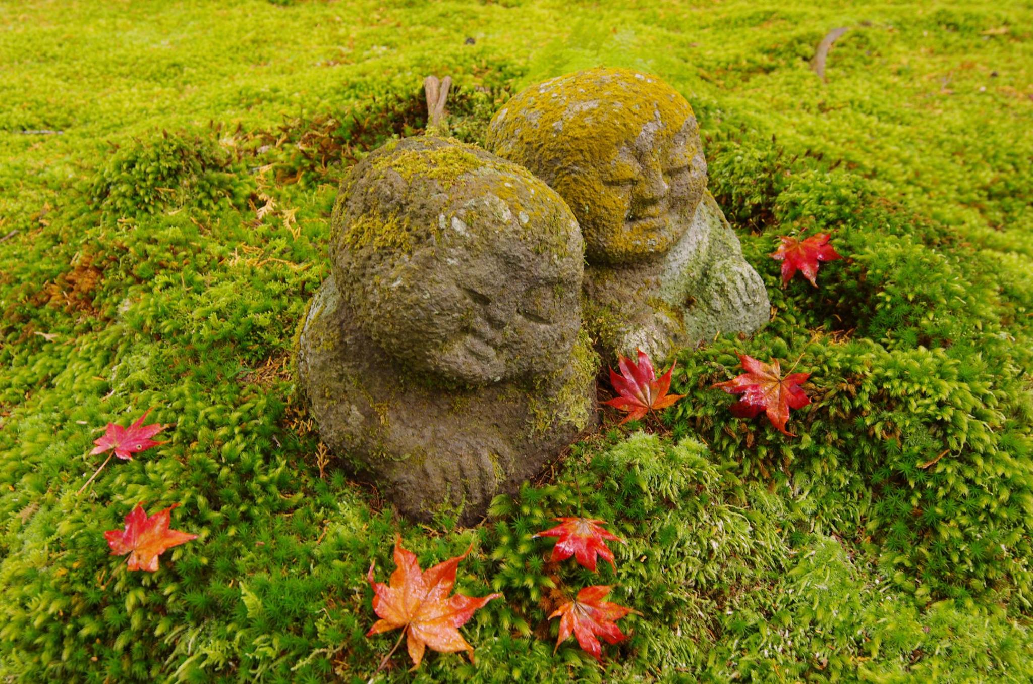 京都大原景點 大原三千院 童地藏