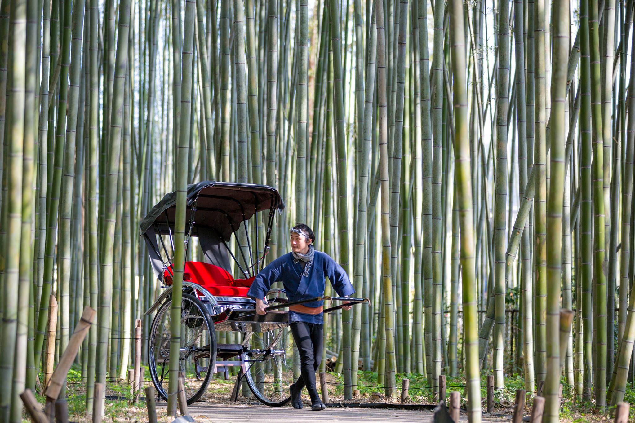 京都一日遊 嵐山 竹林小徑