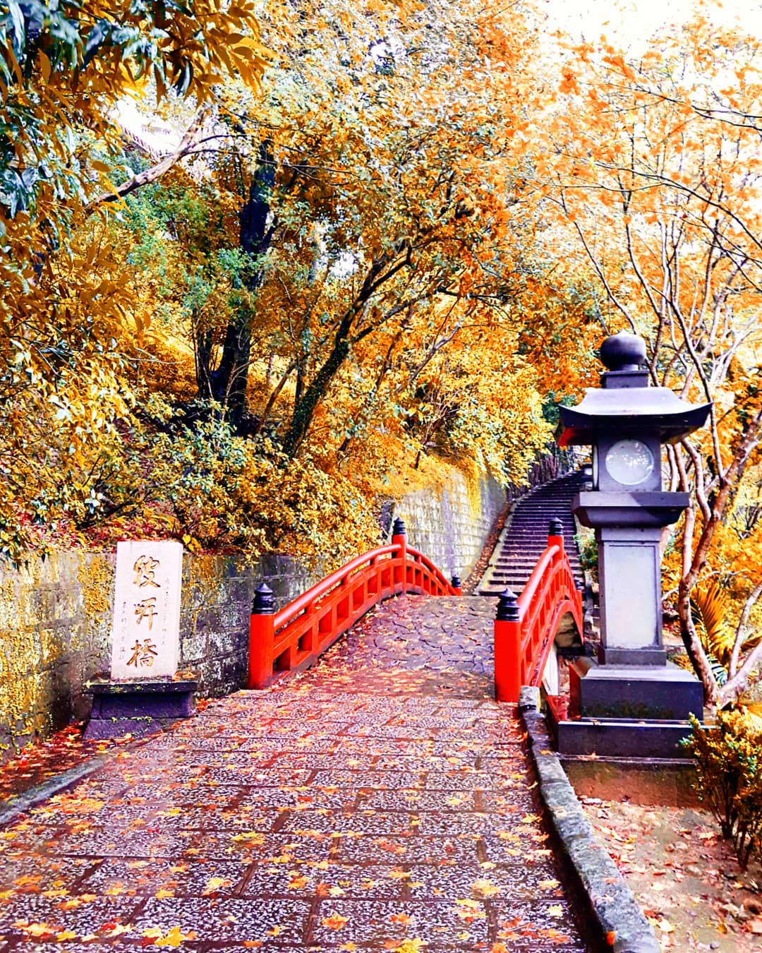 紅葉 楓葉 台灣紅葉 台灣楓葉 台灣賞楓 拱北殿 拱北殿紅葉 拱北殿楓葉 拱北殿賞楓 彼岸橋 台灣賞楓秘境 台灣賞楓 台灣賞楓景點 台灣花季 台灣好去處 台灣必去 踏青好去處 台灣踏青好去處 台灣踏青 南部賞楓景點 北部賞楓景點 中部賞楓景點