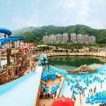 維瓦爾第公園海洋世界　Vivaldi park ocean world　비발디파크 오션월드 韓國水上樂園 門票 優惠 交通 教學 地圖 Korea water park seoul waterpark 韓國必去 韓國景點 韓國必玩