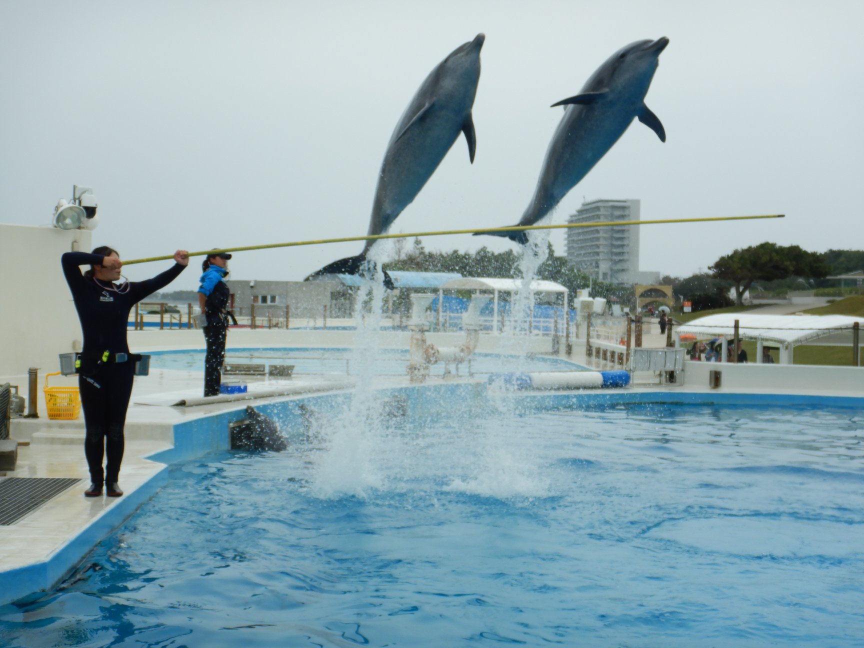 海洋博公園 兒童樂園 沖繩 水族館 沖繩水族館 沖繩美麗海水族館 海豚劇場 沖繩 美麗海水族館 美麗海水族館 沖縄美ら海水族館 Okinawa Churaumi Aquarium 沖繩親子景點 沖繩親子 沖繩親子遊 沖繩 親子 必去 沖繩北部景點 沖繩中部景點 沖繩 Okinawa 沖繩必食 沖繩必吃 沖繩必到 沖繩必去 沖繩必買 沖繩必掃 沖繩自由行 沖繩行程 沖繩行程包 沖繩懶人包 沖繩好去處 沖繩景點 沖繩必到景點 沖繩必去景點 沖繩美食 沖繩交通 沖繩攻略 沖繩自由行行程 沖繩自由行行程推薦 沖繩酒店 沖繩飯店 沖繩酒店推薦 沖繩飯店推薦 沖繩必住酒店 沖繩必住飯店 沖繩必食2019 沖繩必吃2019 沖繩必到2019 沖繩必去2019 沖繩必買2019 沖繩必掃2019 沖繩自由行2019 沖繩行程2019 沖繩行程包2019 沖繩懶人包2019 沖繩好去處2019 沖繩景點2019 沖繩必到景點2019 沖繩必去景點2019 沖繩美食2019 沖繩交通2019 沖繩攻略2019 沖繩自由行行程2019 沖繩自由行行程推薦2019 沖繩酒店2019 沖繩飯店2019 沖繩酒店推薦2019 沖繩飯店推薦2019 沖繩必住酒店2019 沖繩必住飯店2019