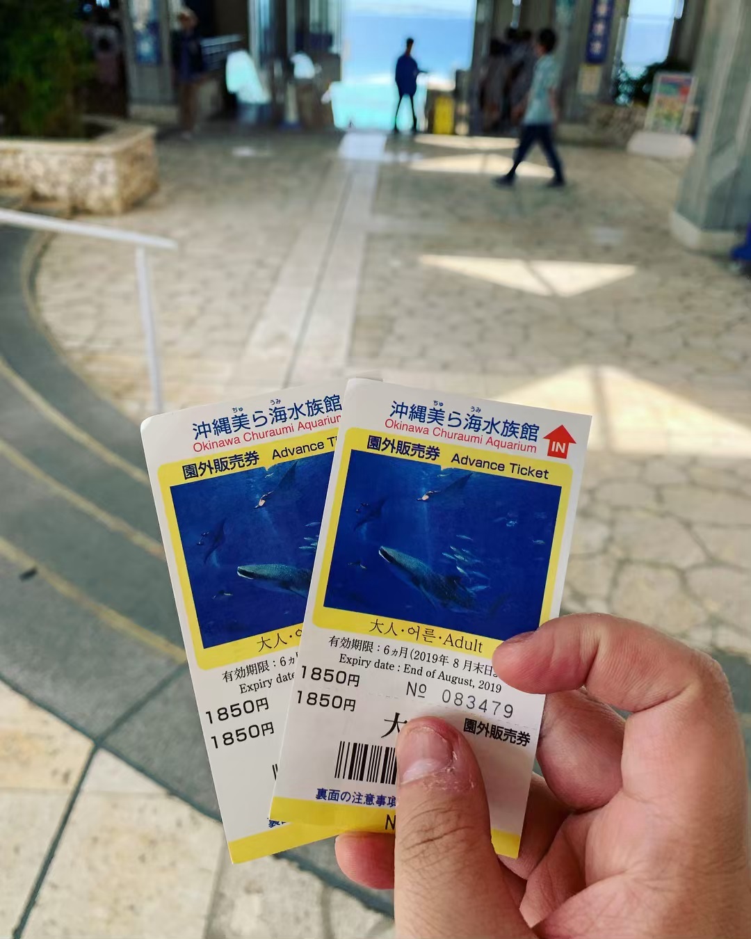 沖繩美麗海水族館 沖縄美ら海水族館 Okinawa Churaumi Aquarium 海洋博公園 門票 海洋博公園門票 沖繩美麗海水族館 門票 沖繩美麗海水族館門票  門票優惠 優惠門票 Okinawa Churaumi Aquarium ticket Ocean Expo Park ticket 沖繩自由行 沖繩自駕遊 沖繩景點 沖繩好去處 沖繩必去