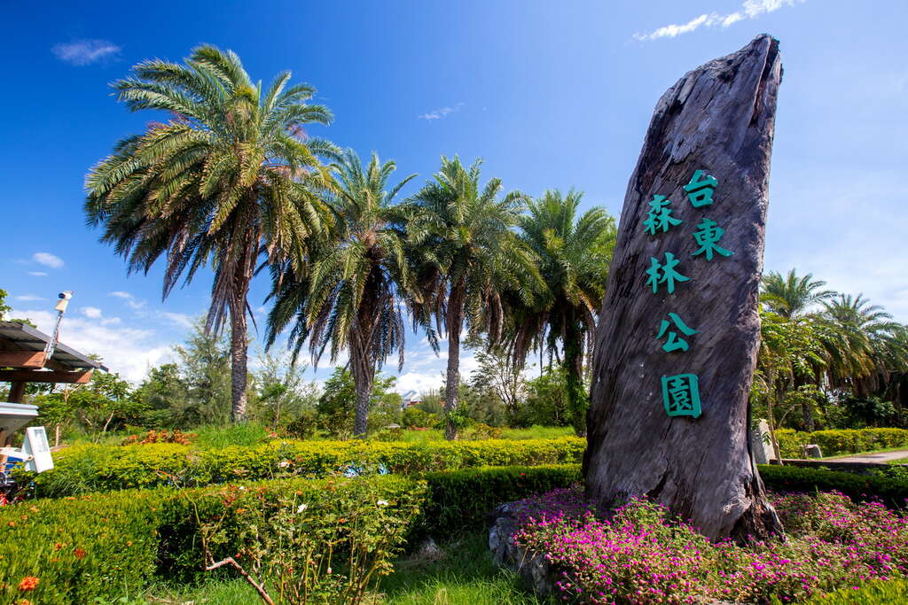 台東森林公園 台東自由行 台東景點 台東行程 台灣熱氣球嘉年華 台灣國際熱氣球嘉年華 台東熱氣球嘉年華 台東鹿野高台