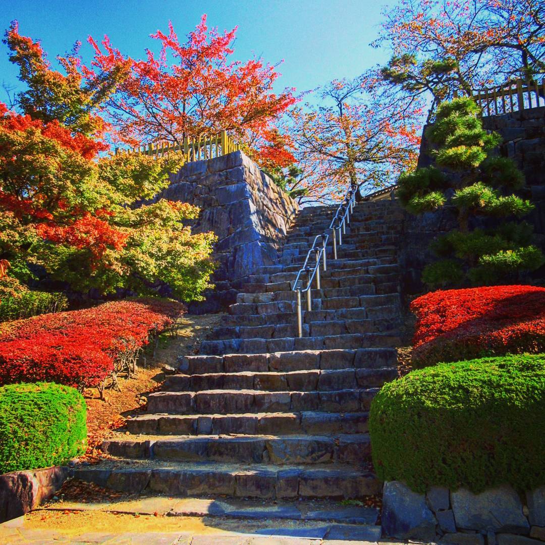 舞鶴城公園の紅葉 舞鶴城公園 舞鶴城公園紅葉 舞鶴城公園 紅葉 熊本 紅葉 景點 2019 熊本紅葉景點 2019 熊本 紅葉景點 2019 熊本紅葉 2019 熊本紅葉2019 熊本 紅葉 熊本紅葉 2019 熊本紅葉2019 熊本賞楓 2019 熊本賞楓2019 熊本賞楓景點 2019 熊本賞楓景點2019 熊本夜楓 2019 熊本夜楓2019 熊本夜楓景點2019 熊本夜楓景點 2019 九州紅葉 2019 九州紅葉2019 九州紅葉 景點 2019 九州紅葉景點 2019 九州紅葉景點2019 九州賞楓 2019 九州賞楓2019 九州賞楓景點 2019 九州賞楓景點2019 九州賞楓 景點 2019 九州夜楓2019 九州夜楓 2019 九州夜楓景點2019 九州夜楓景點 2019 九州夜楓 景點 2019 九州楓葉2019 九州楓葉 2019 九州楓葉景點2019 九州楓葉景點 2019 九州 紅葉祭 2019 九州景點 九州必去 九州必看 九州自由行 九州行程 九州自由行行程推薦 九州自由行行程推介 九州自由行行程