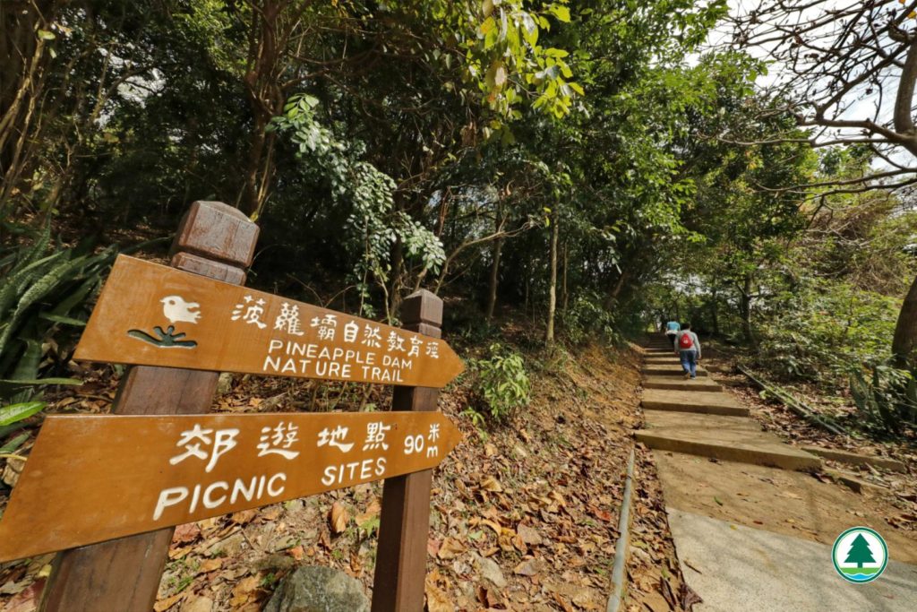 香港好去處 香港行山 行山好去處 行山新手 新手行山路線 香港行山徑 元朗行山 九龍行山 荃灣行山 大埔行山 菠蘿壩自然教育徑