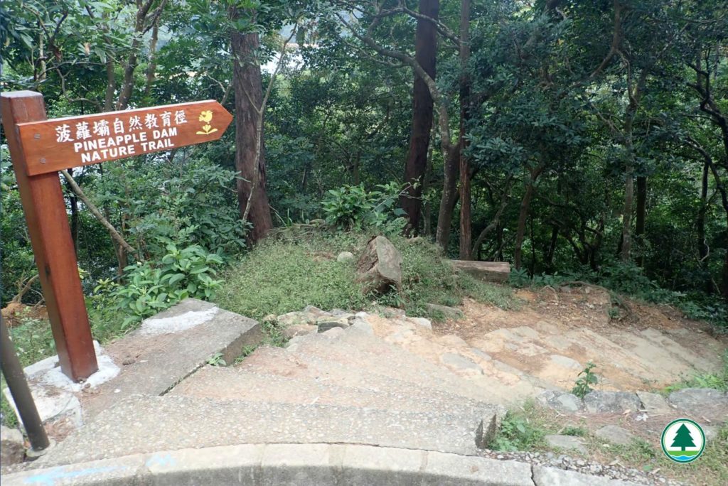 香港好去處 香港行山 行山好去處 行山新手 新手行山路線 香港行山徑 元朗行山 九龍行山 荃灣行山 大埔行山 菠蘿壩自然教育徑