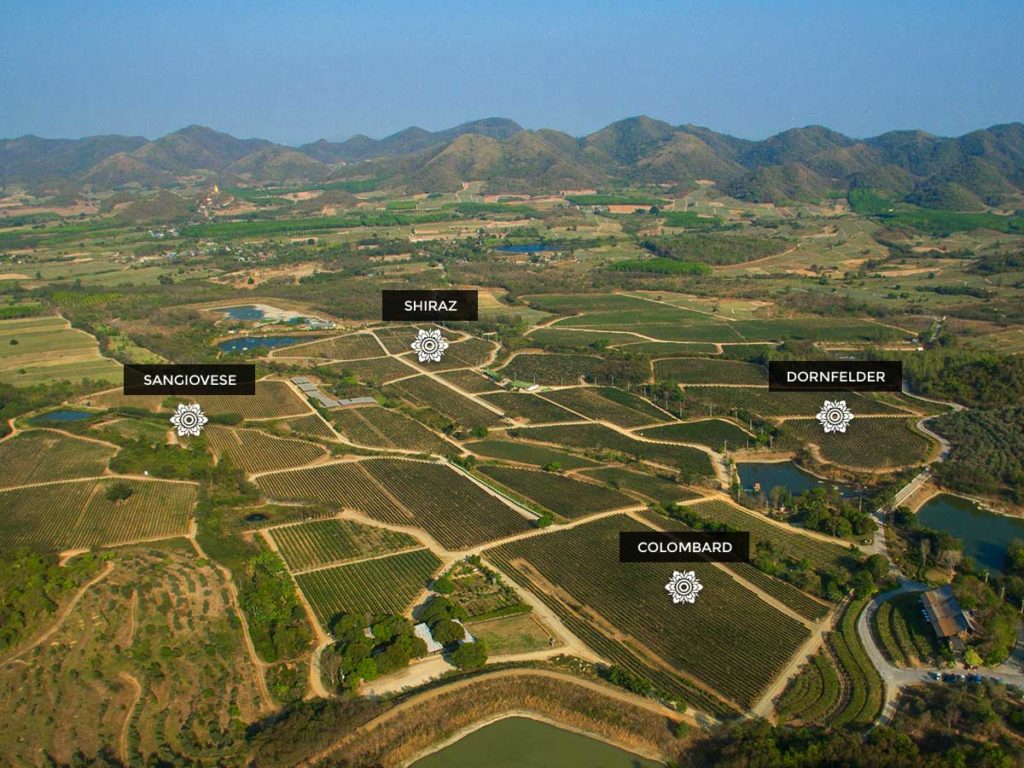 華欣酒莊 華欣葡萄酒莊園 Monsoon Valley Vineyard 華欣景點 華欣新景點