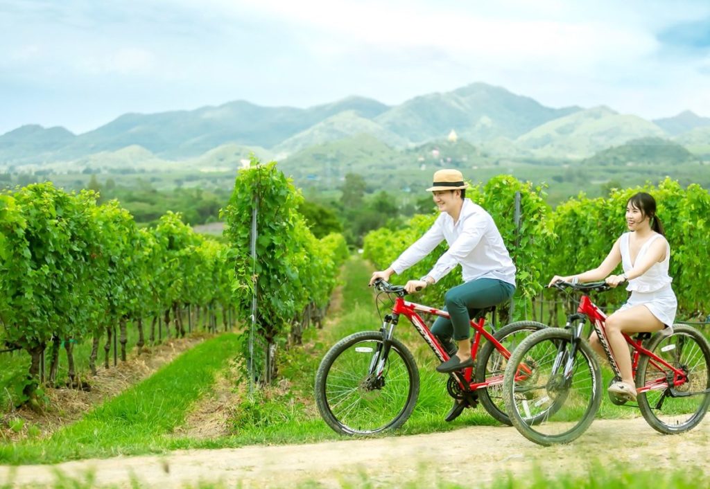 華欣酒莊 華欣葡萄酒莊園 Monsoon Valley Vineyard 華欣景點 華欣新景點