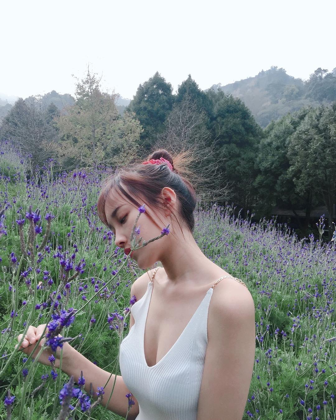 薰衣草森林 薰衣草森林新社店 薰衣草節 台灣薰衣草 薰衣草 台灣賞花秘境 台灣賞花 台灣賞花景點 台灣花季 台灣好去處 台灣必去 踏青好去處 台灣踏青好去處 台灣踏青 南部賞花景點 北部賞花景點 中部賞花景點