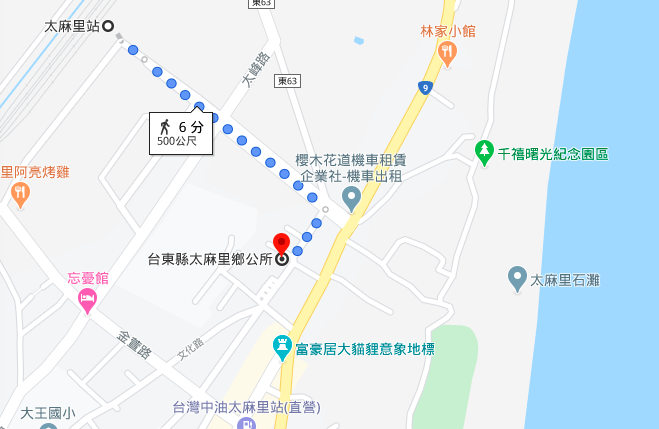 台東景點 太麻里景點 太麻里行程 太麻里必去 太麻里必玩
太麻里金針花 太麻里金針山