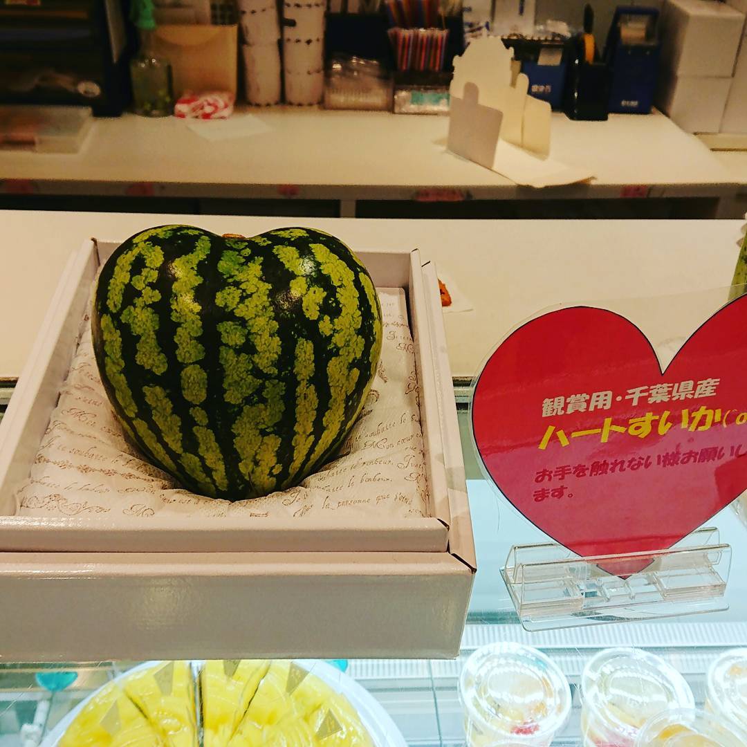 日本西瓜 大玉西瓜 小玉西瓜 千葉縣心形西瓜 心形西瓜 日本水果 日本生果 日本水果季節 日本生果季節 日本水果月份 日本生果月份 日本時令水果 日本時令生果 日本當造水果 日本當造生果 日本必買 日本必食