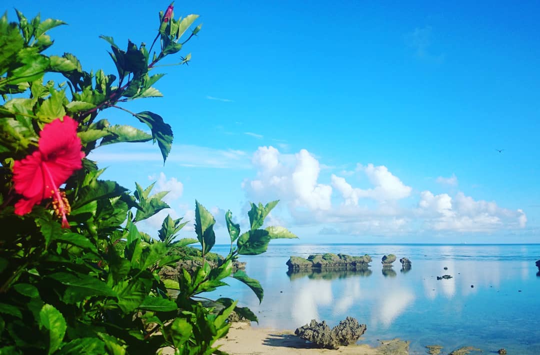 西表島（いりおもてじま｜Iriomote Island）｜西表島攻略 西表島交通 西表島景點 西表島住宿 西表島local tour 西表島租車 西表島星空 西表島船 西表島山貓 西表島英文