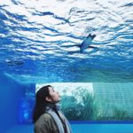 池袋親子景點 池袋景點 陽光水族館 東京 Tokyo 東京必食 東京必吃 東京必到 東京必去 東京必買 東京必掃 東京自由行 東京行程 東京行程包 東京懶人包 東京好去處 東京景點 東京必到景點 東京必去景點 東京美食 東京交通 東京攻略 東京自由行行程 東京自由行行程推薦 東京必食2019 東京必吃2019 東京必到2019 東京必去2019 東京必買2019 東京必掃2019 東京自由行2019 東京行程2019 東京行程包2019 東京懶人包2019 東京好去處2019 東京景點2019 東京必到景點2019 東京必去景點2019 東京美食2019 東京交通2019 東京攻略2019 東京自由行行程2019 東京自由行行程推薦2019 日本 Japan 日本必食 日本必吃 日本必到 日本必去 日本必買 日本必掃 日本自由行 日本行程 日本行程包 日本懶人包 日本好去處 日本景點 日本必到景點 日本必去景點 日本美食 日本交通 日本攻略 日本自由行行程 日本自由行行程推薦 日本必食2019 日本必吃2019 日本必到2019 日本必去2019 日本必買2019 日本必掃2019 日本自由行2019 日本行程2019 日本行程包2019 日本懶人包2019 日本好去處2019 日本景點2019 日本必到景點2019 日本必去景點2019 日本美食2019 日本交通2019 日本攻略2019 日本自由行行程2019 日本自由行行程推薦2019