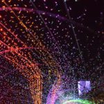 讀賣寶石點燈祭(R)〜珠寶奧林匹克〜|日本 Japan 日本必食 日本必吃 日本必到 日本必去 日本必買 日本必掃 日本自由行 日本行程 日本行程包 日本懶人包 日本好去處 日本景點 日本必到景點 日本必去景點 日本美食 日本交通 日本攻略 日本自由行行程 日本自由行行程推薦 日本酒店 日本飯店 日本酒店推薦 日本飯店推薦 日本必住酒店 日本必住飯店 日本必食2019 日本必吃2019 日本必到2019 日本必去2019 日本必買2019 日本必掃2019 日本自由行2019 日本行程2019 日本行程包2019 日本懶人包2019 日本好去處2019 日本景點2019 日本必到景點2019 日本必去景點2019 日本美食2019 日本交通2019 日本攻略2019 日本自由行行程2019 日本自由行行程推薦2019 日本酒店2019 日本飯店2019 日本酒店推薦2019 日本飯店推薦2019 日本必住酒店2019 日本必住飯店2019 東京 Tokyo 東京必食 東京必吃 東京必到 東京必去 東京必買 東京必掃 東京自由行 東京行程 東京行程包 東京懶人包 東京好去處 東京景點 東京必到景點 東京必去景點 東京美食 東京交通 東京攻略 東京自由行行程 東京自由行行程推薦 東京酒店 東京飯店 東京酒店推薦 東京飯店推薦 東京必住酒店 東京必住飯店 東京必食2019 東京必吃2019 東京必到2019 東京必去2019 東京必買2019 東京必掃2019 東京自由行2019 東京行程2019 東京行程包2019 東京懶人包2019 東京好去處2019 東京景點2019 東京必到景點2019 東京必去景點2019 東京美食2019 東京交通2019 東京攻略2019 東京自由行行程2019 東京自由行行程推薦2019 東京酒店2019 東京飯店2019 東京酒店推薦2019 東京飯店推薦2019 東京必住酒店2019 東京必住飯店2019 東京聖誕 東京聖誕2019 東京聖誕燈飾 東京聖誕燈飾2019 東京聖誕2020 東京聖誕燈飾2020 日本聖誕 日本聖誕2019 日本聖誕燈飾 日本聖誕燈飾2019 日本聖誕2020 日本聖誕燈飾2020 關東聖誕 關東聖誕2019 關東聖誕燈飾 關東聖誕燈飾2019 關東聖誕2020 關東聖誕燈飾2020 讀賣樂園 讀賣樂園聖誕 讀賣樂園聖誕2019 讀賣樂園聖誕燈飾 讀賣樂園聖誕燈飾2019 讀賣樂園聖誕2020 讀賣樂園聖誕燈飾2020 讀賣寶石點燈祭(R)~珠寶奧林匹克~ 丸之內仲通 丸之內仲通聖誕 丸之內仲通聖誕2019 丸之內仲通聖誕燈飾 丸之內仲通聖誕燈飾2019 丸之內仲通聖誕2020 丸之內仲通聖誕燈飾2020 丸之內 Illumination 2019 新宿南口 新宿南口聖誕 新宿南口聖誕2019 新宿南口聖誕燈飾 新宿南口聖誕燈飾2019 新宿南口聖誕2020 新宿南口聖誕燈飾2020 新宿南口地區光之祭典 惠比壽花園廣場 惠比壽花園廣場聖誕 惠比壽花園廣場聖誕2019 惠比壽花園廣場聖誕燈飾 惠比壽花園廣場聖誕燈飾2019 惠比壽花園廣場聖誕2020 惠比壽花園廣場聖誕燈飾2020 惠比壽花園廣場聖誕燈飾 MIDTOWN MIDTOWN聖誕 MIDTOWN聖誕2019 MIDTOWN聖誕燈飾 MIDTOWN聖誕燈飾2019 MIDTOWN聖誕2020 MIDTOWN聖誕燈飾2020 MIDTOWN CHRISTMAS 2019 Caretta聖誕 Caretta聖誕2019 Caretta聖誕燈飾 Caretta聖誕燈飾2019 Caretta聖誕2020 Caretta聖誕燈飾2020 Caretta Illumination~阿拉伯之夜 橫濱紅磚倉庫 橫濱紅磚倉庫聖誕 橫濱紅磚倉庫聖誕2019 橫濱紅磚倉庫聖誕燈飾 橫濱紅磚倉庫聖誕燈飾2019 橫濱紅磚倉庫聖誕2020 橫濱紅磚倉庫聖誕燈飾2020 聖誕市集 in 橫濱紅磚倉庫 相模湖 相模湖聖誕 相模湖聖誕2019 相模湖聖誕燈飾 相模湖聖誕燈飾2019 相模湖聖誕2020 相模湖聖誕燈飾2020 相模湖燈祭 東京巨蛋 東京巨蛋聖誕 東京巨蛋聖誕2019 東京巨蛋聖誕燈飾 東京巨蛋聖誕燈飾2019 東京巨蛋聖誕2020 東京巨蛋聖誕燈飾2020 TOKYO Dome City Winter Illumination 大井競馬場聖誕 大井競馬場聖誕2019 大井競馬場聖誕燈飾 大井競馬場聖誕燈飾2019 大井競馬場聖誕2020 大井競馬場聖誕燈飾2020 東京光之大祭典 TOKYO MEGA ILLUMINATION 讀賣樂園 讀賣樂園2019 讀賣樂園點燈2019 讀賣樂園住宿 讀賣樂園夏天 讀賣樂園套票 讀賣樂園親子 讀賣樂園燈飾2019
