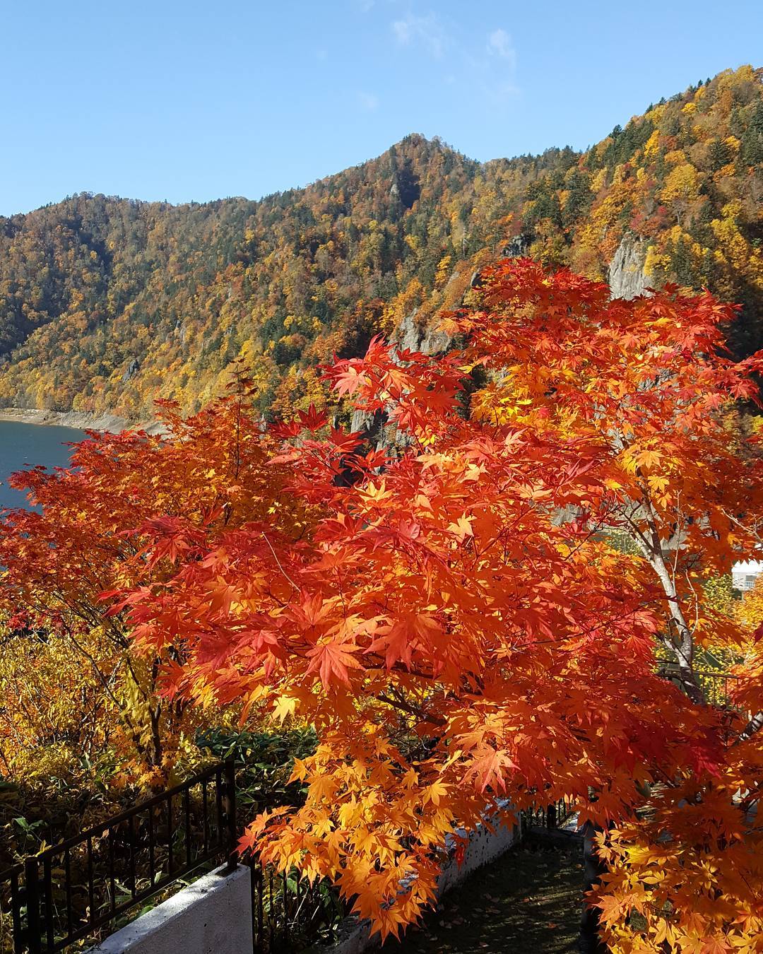 豐平峽|日本 Japan 日本必食 日本必吃 日本必到 日本必去 日本必買 日本必掃 日本自由行 日本行程 日本行程包 日本懶人包 日本好去處 日本景點 日本必到景點 日本必去景點 日本美食 日本交通 日本攻略 日本自由行行程 日本自由行行程推薦 日本酒店 日本飯店 日本酒店推薦 日本飯店推薦 日本必住酒店 日本必住飯店 日本必食2019 日本必吃2019 日本必到2019 日本必去2019 日本必買2019 日本必掃2019 日本自由行2019 日本行程2019 日本行程包2019 日本懶人包2019 日本好去處2019 日本景點2019 日本必到景點2019 日本必去景點2019 日本美食2019 日本交通2019 日本攻略2019 日本自由行行程2019 日本自由行行程推薦2019 日本酒店2019 日本飯店2019 日本酒店推薦2019 日本飯店推薦2019 日本必住酒店2019 日本必住飯店2019 北海道 Hokkaido 北海道必食 北海道必吃 北海道必到 北海道必去 北海道必買 北海道北海道必掃 北海道自由行 北海道行程 北海道行程包 北海道懶人包 北海道好去處 北海道景點 北海道必到景點 北海道必去景點 北海道美食 北海道交通 北海道攻略 北海道自由行行程 北海道自由行行程推薦 北海道酒店 北海道飯店 北海道酒店推薦 北海道飯店推薦 北海道必住酒店 北海道必住飯店 北海道必吃2019 北海道必到2019 北海道必去2019 北海道必買2019 北海道必掃2019 北海道自由行2019 北海道行程2019 北海道行程包2019 北海道懶人包2019 北海道好去處2019 北海道景點2019 北海道必到景點2019 北海道必去景點2019 北海道美食2019 北海道交通2019 北海道攻略2019 北海道自由行行程2019 北海道自由行行程推薦2019 北海道酒店2019 北海道飯店2019 北海道酒店推薦2019 北海道飯店推薦2019 北海道必住酒店2019 北海道必住飯店2019 北海道紅葉預測 北海道楓葉預測 見晴公園 香雪園 函館 五稜郭 大沼國定公園 大沼 大湯沼 登別 豐平峽 札幌 藻岩山 札幌 北海道大學 青池 美瑛 大雪山國立公園 上川 知床五湖 知床半島 豐平峽水庫楓葉 豐平峽紅葉時間 豐平峽夏天 豐平峽洩洪 豐平峽天氣 豐平峽2018 豐平峽定山溪一日遊 豐平峽谷 定山溪豐平峽紅葉 定山溪地圖